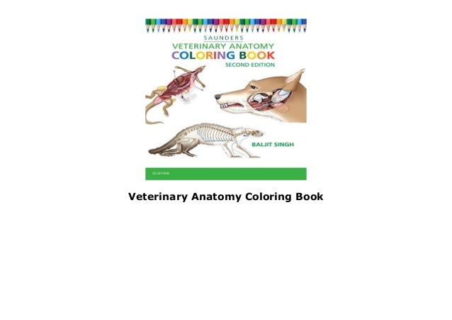 Veterinary Anatomy Coloring Book Veterinary Anatomy Coloring Book
