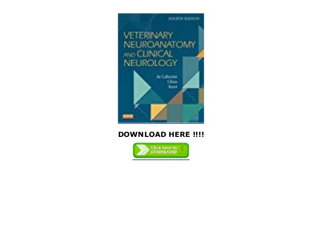 News Veterinary Neuroanatomy And Clinical Neurology By Alexander