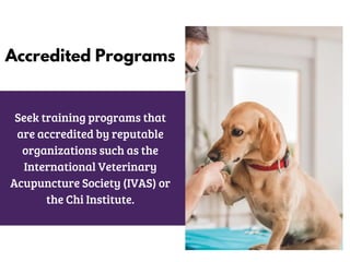 Veterinary Acupuncture Training Guidelines | PDF