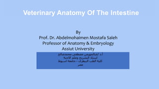 Veterinary Anatomy Of The Intestine
By
Prof. Dr. Abdelmohaimen Mostafa Saleh
Professor of Anatomy & Embryology
Assiut University
 
