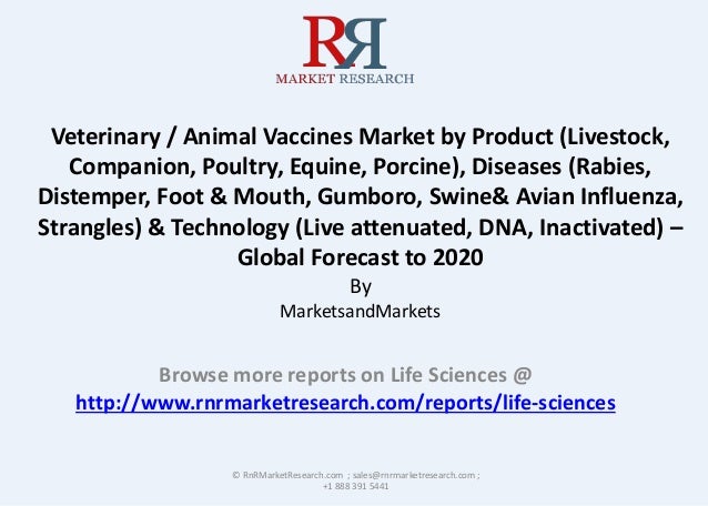 5.5% CAGR for Veterinary Vaccines Market – Statistics and Forecast to…