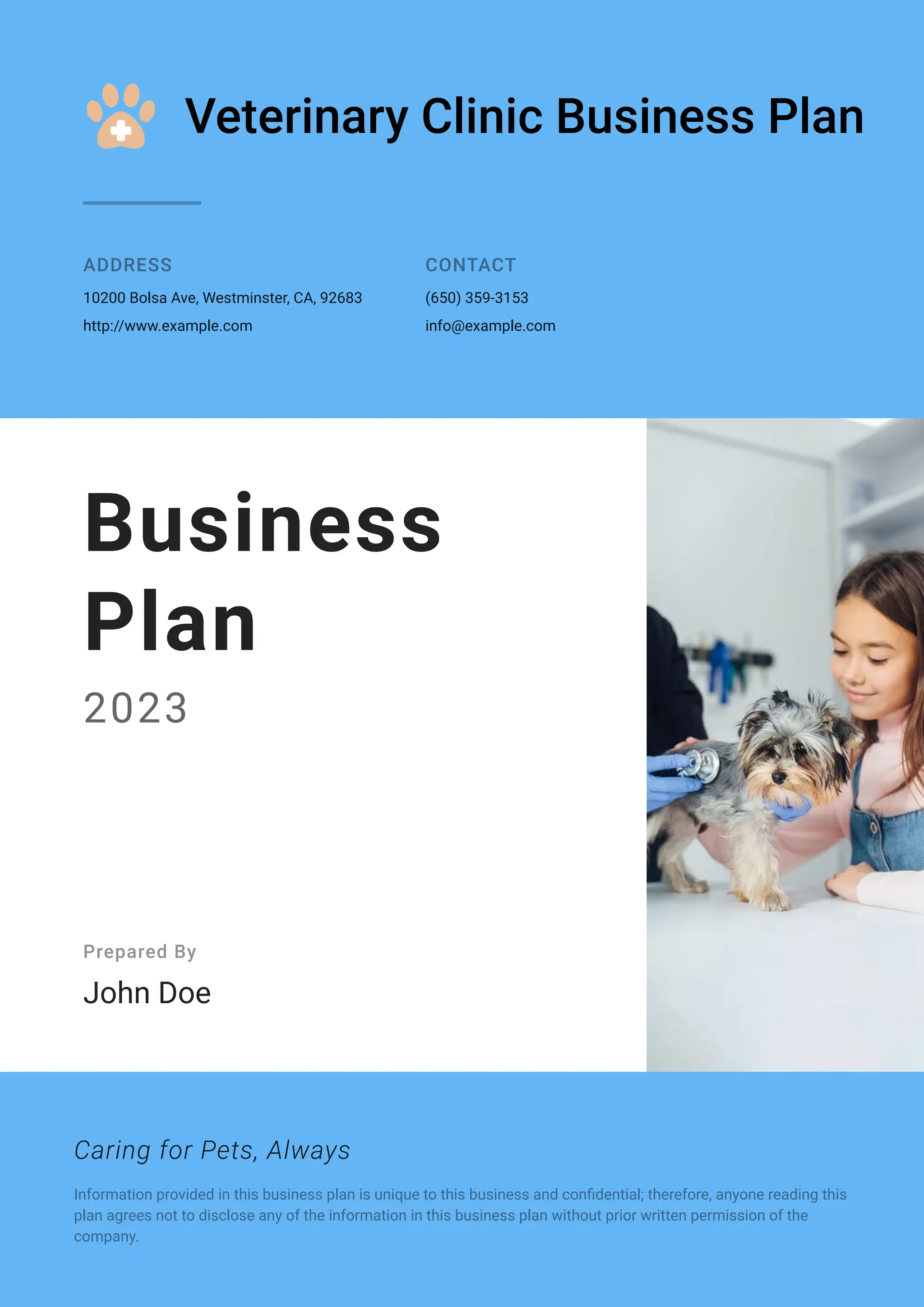 Veterinary Clinic Business Plan Examples PDF