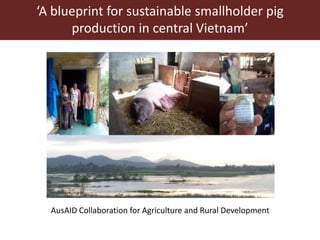 Veterinary communication for development