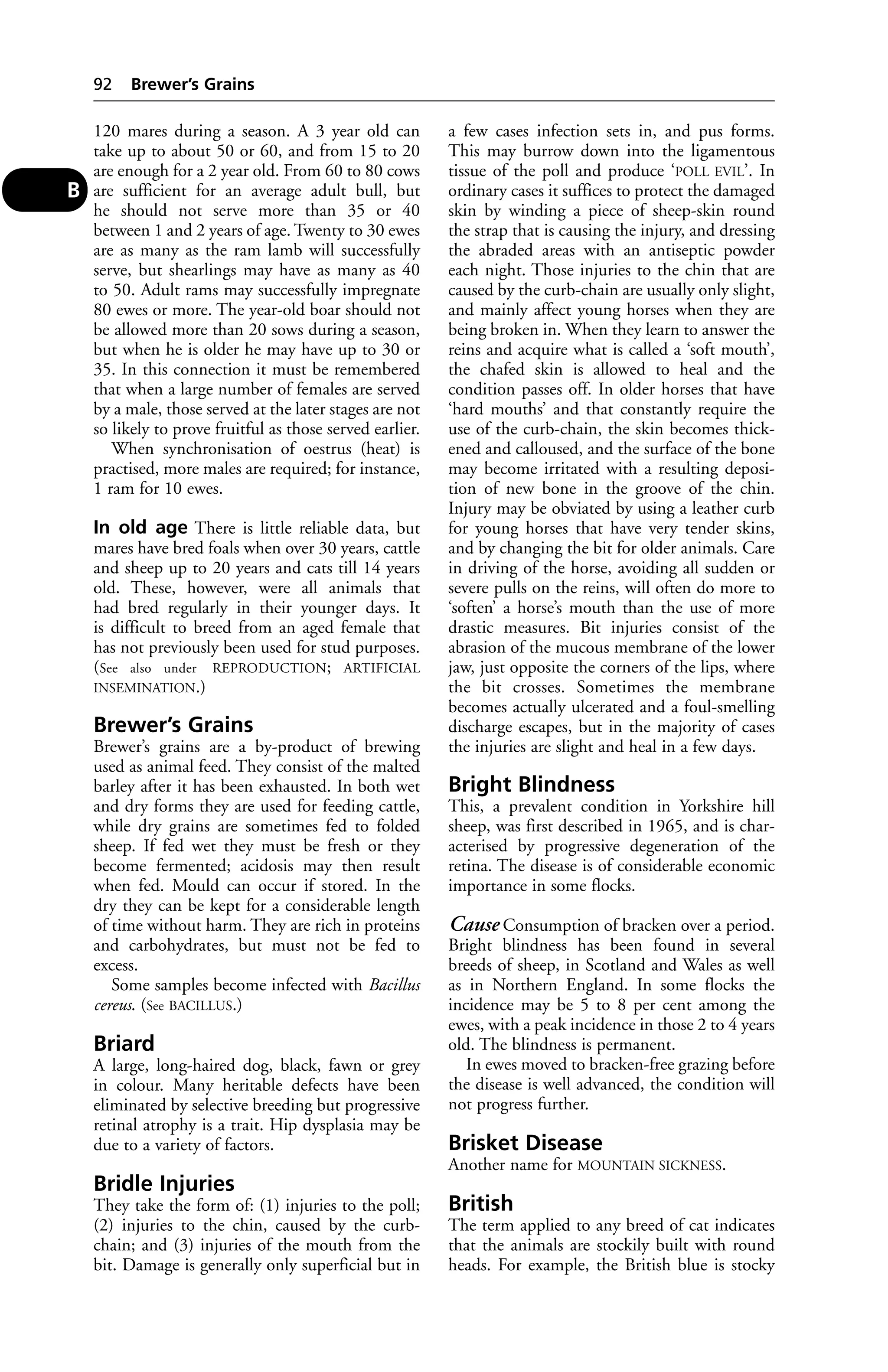 120 mares during a season. A 3 year old can 
take up to about 50 or 60, and from 15 to 20 
are enough for a 2 year old. From 60 to 80 cows 
are sufficient for an average adult bull, but 
he should not serve more than 35 or 40 
between 1 and 2 years of age. Twenty to 30 ewes 
are as many as the ram lamb will successfully 
serve, but shearlings may have as many as 40 
to 50. Adult rams may successfully impregnate 
80 ewes or more. The year-old boar should not 
be allowed more than 20 sows during a season, 
but when he is older he may have up to 30 or 
35. In this connection it must be remembered 
that when a large number of females are served 
by a male, those served at the later stages are not 
so likely to prove fruitful as those served earlier. 
When synchronisation of oestrus (heat) is 
practised, more males are required; for instance, 
1 ram for 10 ewes. 
In old age There is little reliable data, but 
mares have bred foals when over 30 years, cattle 
and sheep up to 20 years and cats till 14 years 
old. These, however, were all animals that 
had bred regularly in their younger days. It 
is difficult to breed from an aged female that 
has not previously been used for stud purposes. 
(See also under REPRODUCTION; ARTIFICIAL 
INSEMINATION.) 
Brewer’s Grains 
Brewer’s grains are a by-product of brewing 
used as animal feed. They consist of the malted 
barley after it has been exhausted. In both wet 
and dry forms they are used for feeding cattle, 
while dry grains are sometimes fed to folded 
sheep. If fed wet they must be fresh or they 
become fermented; acidosis may then result 
when fed. Mould can occur if stored. In the 
dry they can be kept for a considerable length 
of time without harm. They are rich in proteins 
and carbohydrates, but must not be fed to 
excess. 
Some samples become infected with Bacillus 
cereus. (See BACILLUS.) 
Briard 
A large, long-haired dog, black, fawn or grey 
in colour. Many heritable defects have been 
eliminated by selective breeding but progressive 
retinal atrophy is a trait. Hip dysplasia may be 
due to a variety of factors. 
Bridle Injuries 
They take the form of: (1) injuries to the poll; 
(2) injuries to the chin, caused by the curb-chain; 
and (3) injuries of the mouth from the 
bit. Damage is generally only superficial but in 
a few cases infection sets in, and pus forms. 
This may burrow down into the ligamentous 
tissue of the poll and produce ‘POLL EVIL’. In 
ordinary cases it suffices to protect the damaged 
skin by winding a piece of sheep-skin round 
the strap that is causing the injury, and dressing 
the abraded areas with an antiseptic powder 
each night. Those injuries to the chin that are 
caused by the curb-chain are usually only slight, 
and mainly affect young horses when they are 
being broken in. When they learn to answer the 
reins and acquire what is called a ‘soft mouth’, 
the chafed skin is allowed to heal and the 
condition passes off. In older horses that have 
‘hard mouths’ and that constantly require the 
use of the curb-chain, the skin becomes thick-ened 
and calloused, and the surface of the bone 
may become irritated with a resulting deposi-tion 
of new bone in the groove of the chin. 
Injury may be obviated by using a leather curb 
for young horses that have very tender skins, 
and by changing the bit for older animals. Care 
in driving of the horse, avoiding all sudden or 
severe pulls on the reins, will often do more to 
‘soften’ a horse’s mouth than the use of more 
drastic measures. Bit injuries consist of the 
abrasion of the mucous membrane of the lower 
jaw, just opposite the corners of the lips, where 
the bit crosses. Sometimes the membrane 
becomes actually ulcerated and a foul-smelling 
discharge escapes, but in the majority of cases 
the injuries are slight and heal in a few days. 
Bright Blindness 
This, a prevalent condition in Yorkshire hill 
sheep, was first described in 1965, and is char-acterised 
by progressive degeneration of the 
retina. The disease is of considerable economic 
importance in some flocks. 
Cause Consumption of bracken over a period. 
Bright blindness has been found in several 
breeds of sheep, in Scotland and Wales as well 
as in Northern England. In some flocks the 
incidence may be 5 to 8 per cent among the 
ewes, with a peak incidence in those 2 to 4 years 
old. The blindness is permanent. 
In ewes moved to bracken-free grazing before 
the disease is well advanced, the condition will 
not progress further. 
Brisket Disease 
Another name for MOUNTAIN SICKNESS. 
British 
The term applied to any breed of cat indicates 
that the animals are stockily built with round 
heads. For example, the British blue is stocky 
92 Brewer’s Grains 
B 
 