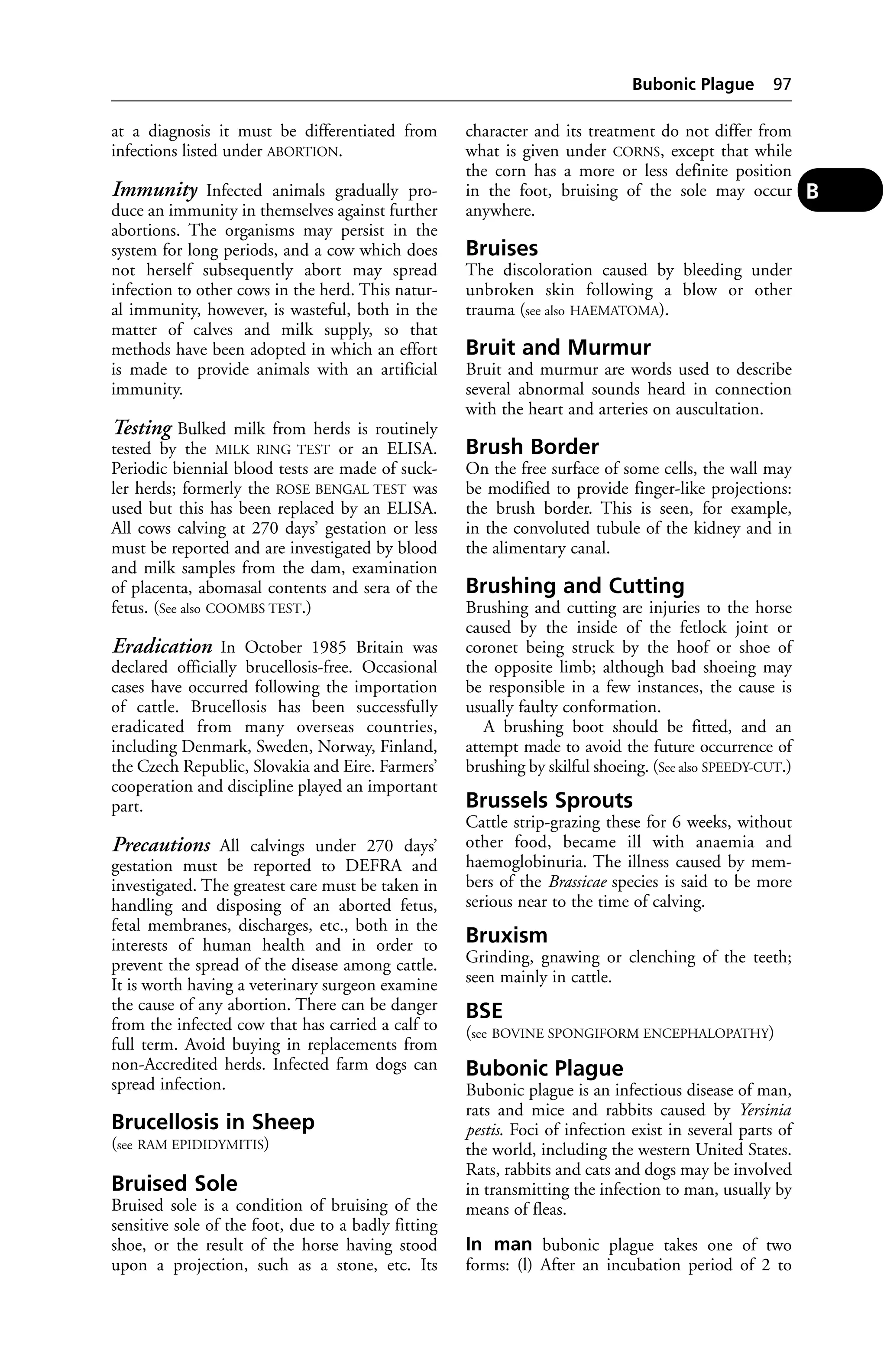 at a diagnosis it must be differentiated from 
infections listed under ABORTION. 
Immunity Infected animals gradually pro-duce 
an immunity in themselves against further 
abortions. The organisms may persist in the 
system for long periods, and a cow which does 
not herself subsequently abort may spread 
infection to other cows in the herd. This natur-al 
immunity, however, is wasteful, both in the 
matter of calves and milk supply, so that 
methods have been adopted in which an effort 
is made to provide animals with an artificial 
immunity. 
Testing Bulked milk from herds is routinely 
tested by the MILK RING TEST or an ELISA. 
Periodic biennial blood tests are made of suck-ler 
herds; formerly the ROSE BENGAL TEST was 
used but this has been replaced by an ELISA. 
All cows calving at 270 days’ gestation or less 
must be reported and are investigated by blood 
and milk samples from the dam, examination 
of placenta, abomasal contents and sera of the 
fetus. (See also COOMBS TEST.) 
Eradication In October 1985 Britain was 
declared officially brucellosis-free. Occasional 
cases have occurred following the importation 
of cattle. Brucellosis has been successfully 
eradicated from many overseas countries, 
including Denmark, Sweden, Norway, Finland, 
the Czech Republic, Slovakia and Eire. Farmers’ 
cooperation and discipline played an important 
part. 
Precautions All calvings under 270 days’ 
gestation must be reported to DEFRA and 
investigated. The greatest care must be taken in 
handling and disposing of an aborted fetus, 
fetal membranes, discharges, etc., both in the 
interests of human health and in order to 
prevent the spread of the disease among cattle. 
It is worth having a veterinary surgeon examine 
the cause of any abortion. There can be danger 
from the infected cow that has carried a calf to 
full term. Avoid buying in replacements from 
non-Accredited herds. Infected farm dogs can 
spread infection. 
Brucellosis in Sheep 
(see RAM EPIDIDYMITIS) 
Bruised Sole 
Bruised sole is a condition of bruising of the 
sensitive sole of the foot, due to a badly fitting 
shoe, or the result of the horse having stood 
upon a projection, such as a stone, etc. Its 
Bubonic Plague 97 
character and its treatment do not differ from 
what is given under CORNS, except that while 
the corn has a more or less definite position 
in the foot, bruising of the sole may occur 
anywhere. 
Bruises 
The discoloration caused by bleeding under 
unbroken skin following a blow or other 
trauma (see also HAEMATOMA). 
Bruit and Murmur 
Bruit and murmur are words used to describe 
several abnormal sounds heard in connection 
with the heart and arteries on auscultation. 
Brush Border 
On the free surface of some cells, the wall may 
be modified to provide finger-like projections: 
the brush border. This is seen, for example, 
in the convoluted tubule of the kidney and in 
the alimentary canal. 
Brushing and Cutting 
Brushing and cutting are injuries to the horse 
caused by the inside of the fetlock joint or 
coronet being struck by the hoof or shoe of 
the opposite limb; although bad shoeing may 
be responsible in a few instances, the cause is 
usually faulty conformation. 
A brushing boot should be fitted, and an 
attempt made to avoid the future occurrence of 
brushing by skilful shoeing. (See also SPEEDY-CUT.) 
Brussels Sprouts 
Cattle strip-grazing these for 6 weeks, without 
other food, became ill with anaemia and 
haemoglobinuria. The illness caused by mem-bers 
of the Brassicae species is said to be more 
serious near to the time of calving. 
Bruxism 
Grinding, gnawing or clenching of the teeth; 
seen mainly in cattle. 
BSE 
(see BOVINE SPONGIFORM ENCEPHALOPATHY) 
Bubonic Plague 
Bubonic plague is an infectious disease of man, 
rats and mice and rabbits caused by Yersinia 
pestis. Foci of infection exist in several parts of 
the world, including the western United States. 
Rats, rabbits and cats and dogs may be involved 
in transmitting the infection to man, usually by 
means of fleas. 
In man bubonic plague takes one of two 
forms: (l) After an incubation period of 2 to 
B 
 