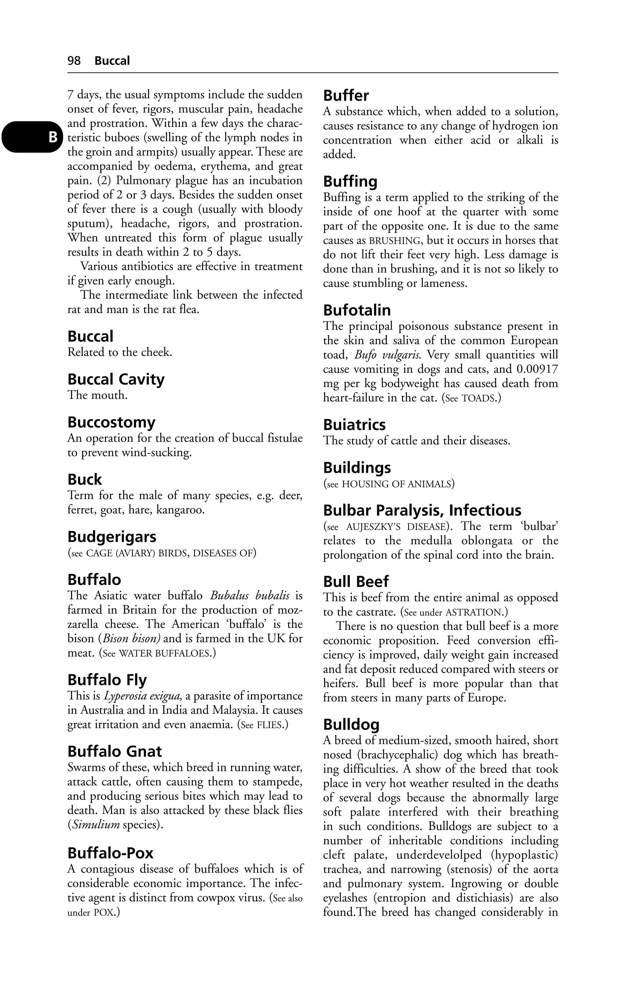7 days, the usual symptoms include the sudden 
onset of fever, rigors, muscular pain, headache 
and prostration. Within a few days the charac-teristic 
buboes (swelling of the lymph nodes in 
the groin and armpits) usually appear. These are 
accompanied by oedema, erythema, and great 
pain. (2) Pulmonary plague has an incubation 
period of 2 or 3 days. Besides the sudden onset 
of fever there is a cough (usually with bloody 
sputum), headache, rigors, and prostration. 
When untreated this form of plague usually 
results in death within 2 to 5 days. 
Various antibiotics are effective in treatment 
if given early enough. 
The intermediate link between the infected 
rat and man is the rat flea. 
Buccal 
Related to the cheek. 
Buccal Cavity 
The mouth. 
Buccostomy 
An operation for the creation of buccal fistulae 
to prevent wind-sucking. 
Buck 
Term for the male of many species, e.g. deer, 
ferret, goat, hare, kangaroo. 
Budgerigars 
(see CAGE (AVIARY) BIRDS, DISEASES OF) 
Buffalo 
The Asiatic water buffalo Bubalus bubalis is 
farmed in Britain for the production of moz-zarella 
cheese. The American ‘buffalo’ is the 
bison (Bison bison) and is farmed in the UK for 
meat. (See WATER BUFFALOES.) 
Buffalo Fly 
This is Lyperosia exigua, a parasite of importance 
in Australia and in India and Malaysia. It causes 
great irritation and even anaemia. (See FLIES.) 
Buffalo Gnat 
Swarms of these, which breed in running water, 
attack cattle, often causing them to stampede, 
and producing serious bites which may lead to 
death. Man is also attacked by these black flies 
(Simulium species). 
Buffalo-Pox 
A contagious disease of buffaloes which is of 
considerable economic importance. The infec-tive 
agent is distinct from cowpox virus. (See also 
under POX.) 
Buffer 
A substance which, when added to a solution, 
causes resistance to any change of hydrogen ion 
concentration when either acid or alkali is 
added. 
Buffing 
Buffing is a term applied to the striking of the 
inside of one hoof at the quarter with some 
part of the opposite one. It is due to the same 
causes as BRUSHING, but it occurs in horses that 
do not lift their feet very high. Less damage is 
done than in brushing, and it is not so likely to 
cause stumbling or lameness. 
Bufotalin 
The principal poisonous substance present in 
the skin and saliva of the common European 
toad, Bufo vulgaris. Very small quantities will 
cause vomiting in dogs and cats, and 0.00917 
mg per kg bodyweight has caused death from 
heart-failure in the cat. (See TOADS.) 
Buiatrics 
The study of cattle and their diseases. 
Buildings 
(see HOUSING OF ANIMALS) 
Bulbar Paralysis, Infectious 
(see AUJESZKY’S DISEASE). The term ‘bulbar’ 
relates to the medulla oblongata or the 
prolongation of the spinal cord into the brain. 
Bull Beef 
This is beef from the entire animal as opposed 
to the castrate. (See under ASTRATION.) 
There is no question that bull beef is a more 
economic proposition. Feed conversion effi-ciency 
is improved, daily weight gain increased 
and fat deposit reduced compared with steers or 
heifers. Bull beef is more popular than that 
from steers in many parts of Europe. 
Bulldog 
A breed of medium-sized, smooth haired, short 
nosed (brachycephalic) dog which has breath-ing 
difficulties. A show of the breed that took 
place in very hot weather resulted in the deaths 
of several dogs because the abnormally large 
soft palate interfered with their breathing 
in such conditions. Bulldogs are subject to a 
number of inheritable conditions including 
cleft palate, underdevelolped (hypoplastic) 
trachea, and narrowing (stenosis) of the aorta 
and pulmonary system. Ingrowing or double 
eyelashes (entropion and distichiasis) are also 
found.The breed has changed considerably in 
98 Buccal 
B 
 