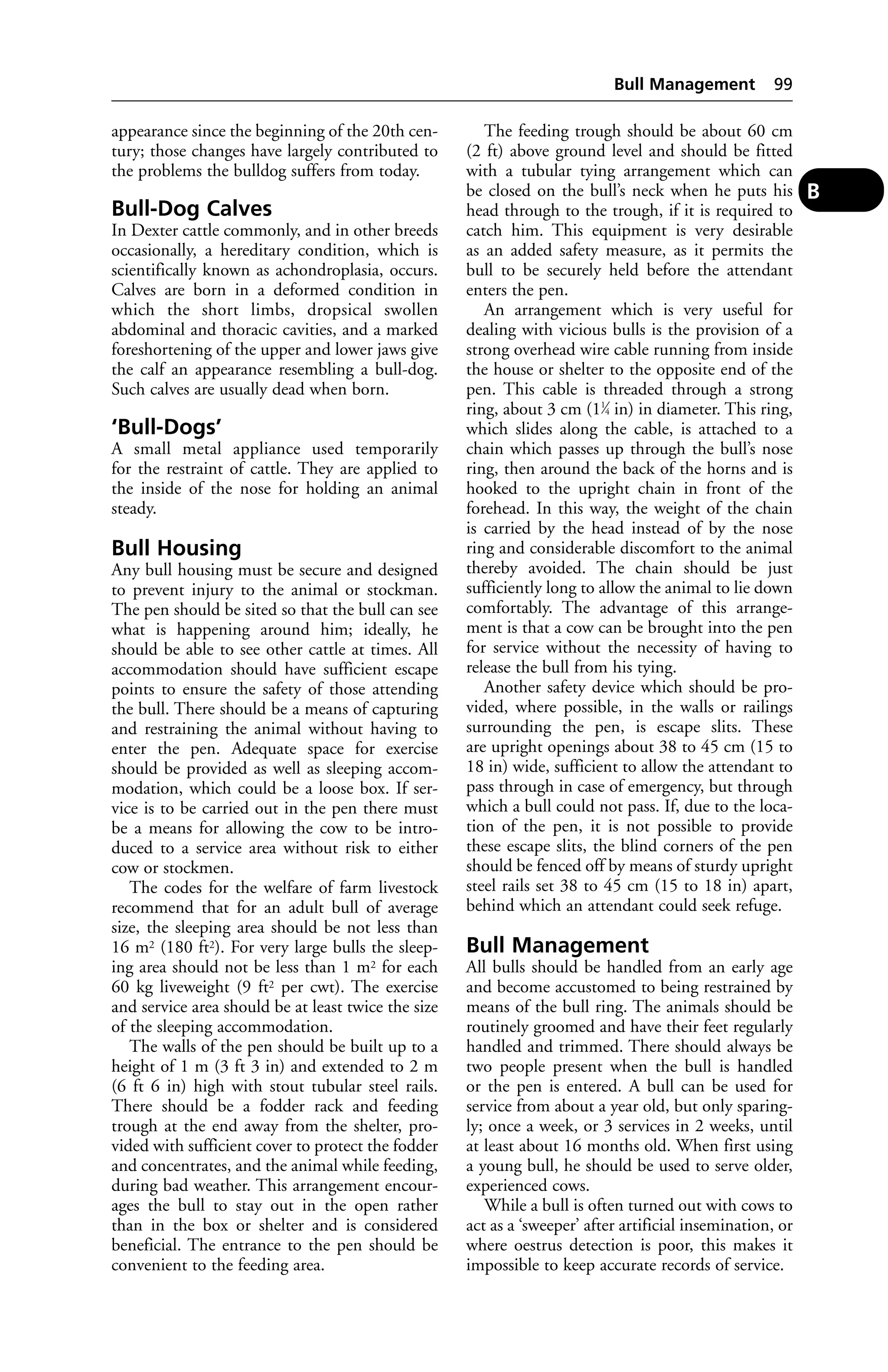 appearance since the beginning of the 20th cen-tury; 
those changes have largely contributed to 
the problems the bulldog suffers from today. 
Bull-Dog Calves 
In Dexter cattle commonly, and in other breeds 
occasionally, a hereditary condition, which is 
scientifically known as achondroplasia, occurs. 
Calves are born in a deformed condition in 
which the short limbs, dropsical swollen 
abdominal and thoracic cavities, and a marked 
foreshortening of the upper and lower jaws give 
the calf an appearance resembling a bull-dog. 
Such calves are usually dead when born. 
‘Bull-Dogs’ 
A small metal appliance used temporarily 
for the restraint of cattle. They are applied to 
the inside of the nose for holding an animal 
steady. 
Bull Housing 
Any bull housing must be secure and designed 
to prevent injury to the animal or stockman. 
The pen should be sited so that the bull can see 
what is happening around him; ideally, he 
should be able to see other cattle at times. All 
accommodation should have sufficient escape 
points to ensure the safety of those attending 
the bull. There should be a means of capturing 
and restraining the animal without having to 
enter the pen. Adequate space for exercise 
should be provided as well as sleeping accom-modation, 
which could be a loose box. If ser-vice 
is to be carried out in the pen there must 
be a means for allowing the cow to be intro-duced 
to a service area without risk to either 
cow or stockmen. 
The codes for the welfare of farm livestock 
recommend that for an adult bull of average 
size, the sleeping area should be not less than 
16 m2 (180 ft2). For very large bulls the sleep-ing 
area should not be less than 1 m2 for each 
60 kg liveweight (9 ft2 per cwt). The exercise 
and service area should be at least twice the size 
of the sleeping accommodation. 
The walls of the pen should be built up to a 
height of 1 m (3 ft 3 in) and extended to 2 m 
(6 ft 6 in) high with stout tubular steel rails. 
There should be a fodder rack and feeding 
trough at the end away from the shelter, pro-vided 
with sufficient cover to protect the fodder 
and concentrates, and the animal while feeding, 
during bad weather. This arrangement encour-ages 
the bull to stay out in the open rather 
than in the box or shelter and is considered 
beneficial. The entrance to the pen should be 
convenient to the feeding area. 
Bull Management 99 
The feeding trough should be about 60 cm 
(2 ft) above ground level and should be fitted 
with a tubular tying arrangement which can 
be closed on the bull’s neck when he puts his 
head through to the trough, if it is required to 
catch him. This equipment is very desirable 
as an added safety measure, as it permits the 
bull to be securely held before the attendant 
enters the pen. 
An arrangement which is very useful for 
dealing with vicious bulls is the provision of a 
strong overhead wire cable running from inside 
the house or shelter to the opposite end of the 
pen. This cable is threaded through a strong 
ring, about 3 cm (11⁄4 in) in diameter. This ring, 
which slides along the cable, is attached to a 
chain which passes up through the bull’s nose 
ring, then around the back of the horns and is 
hooked to the upright chain in front of the 
forehead. In this way, the weight of the chain 
is carried by the head instead of by the nose 
ring and considerable discomfort to the animal 
thereby avoided. The chain should be just 
sufficiently long to allow the animal to lie down 
comfortably. The advantage of this arrange-ment 
is that a cow can be brought into the pen 
for service without the necessity of having to 
release the bull from his tying. 
Another safety device which should be pro-vided, 
where possible, in the walls or railings 
surrounding the pen, is escape slits. These 
are upright openings about 38 to 45 cm (15 to 
18 in) wide, sufficient to allow the attendant to 
pass through in case of emergency, but through 
which a bull could not pass. If, due to the loca-tion 
of the pen, it is not possible to provide 
these escape slits, the blind corners of the pen 
should be fenced off by means of sturdy upright 
steel rails set 38 to 45 cm (15 to 18 in) apart, 
behind which an attendant could seek refuge. 
Bull Management 
All bulls should be handled from an early age 
and become accustomed to being restrained by 
means of the bull ring. The animals should be 
routinely groomed and have their feet regularly 
handled and trimmed. There should always be 
two people present when the bull is handled 
or the pen is entered. A bull can be used for 
service from about a year old, but only sparing-ly; 
once a week, or 3 services in 2 weeks, until 
at least about 16 months old. When first using 
a young bull, he should be used to serve older, 
experienced cows. 
While a bull is often turned out with cows to 
act as a ‘sweeper’ after artificial insemination, or 
where oestrus detection is poor, this makes it 
impossible to keep accurate records of service. 
B 
 