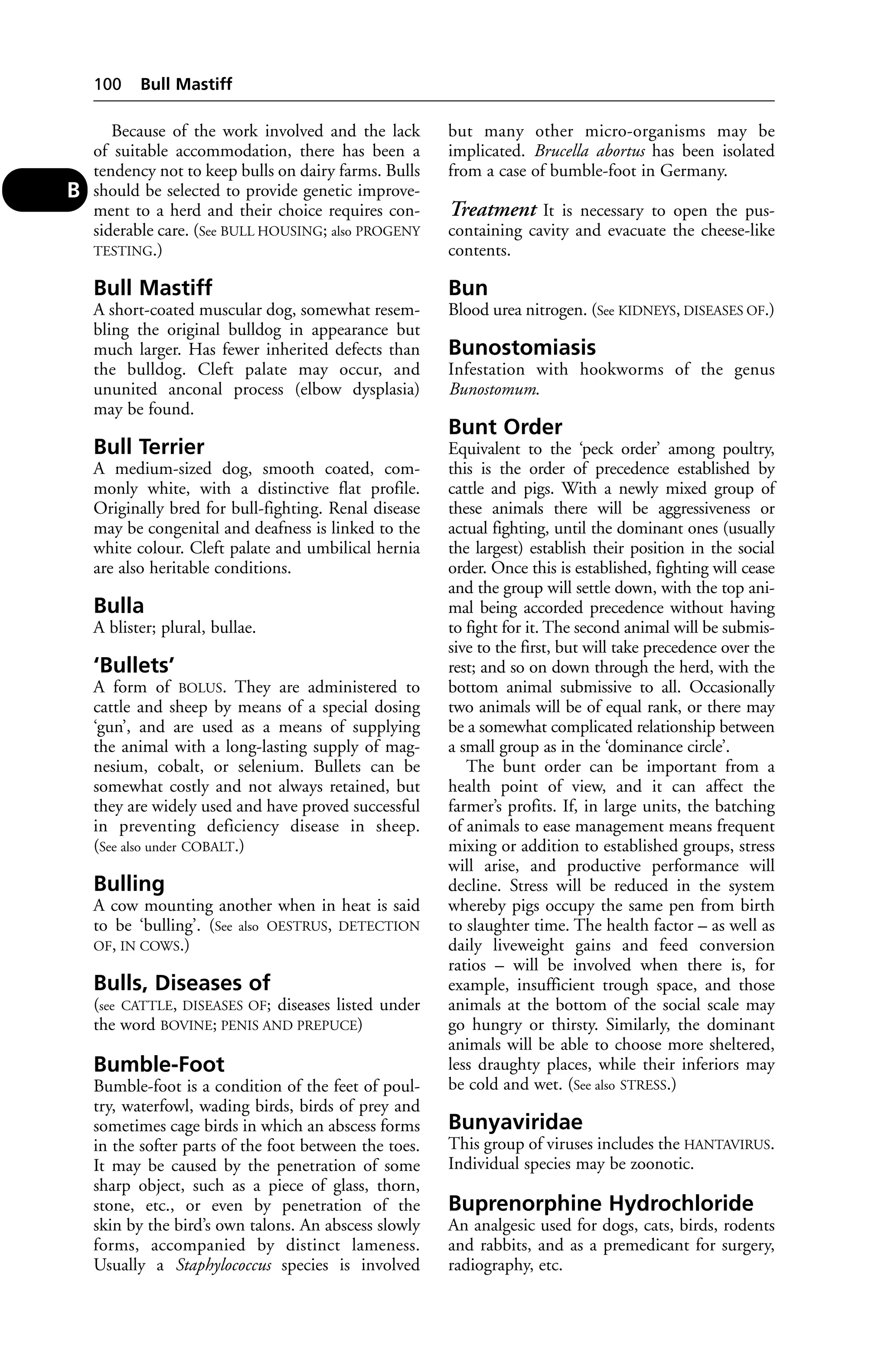 Because of the work involved and the lack 
of suitable accommodation, there has been a 
tendency not to keep bulls on dairy farms. Bulls 
should be selected to provide genetic improve-ment 
to a herd and their choice requires con-siderable 
care. (See BULL HOUSING; also PROGENY 
TESTING.) 
Bull Mastiff 
A short-coated muscular dog, somewhat resem-bling 
the original bulldog in appearance but 
much larger. Has fewer inherited defects than 
the bulldog. Cleft palate may occur, and 
ununited anconal process (elbow dysplasia) 
may be found. 
Bull Terrier 
A medium-sized dog, smooth coated, com-monly 
white, with a distinctive flat profile. 
Originally bred for bull-fighting. Renal disease 
may be congenital and deafness is linked to the 
white colour. Cleft palate and umbilical hernia 
are also heritable conditions. 
Bulla 
A blister; plural, bullae. 
‘Bullets’ 
A form of BOLUS. They are administered to 
cattle and sheep by means of a special dosing 
‘gun’, and are used as a means of supplying 
the animal with a long-lasting supply of mag-nesium, 
cobalt, or selenium. Bullets can be 
somewhat costly and not always retained, but 
they are widely used and have proved successful 
in preventing deficiency disease in sheep. 
(See also under COBALT.) 
Bulling 
A cow mounting another when in heat is said 
to be ‘bulling’. (See also OESTRUS, DETECTION 
OF, IN COWS.) 
Bulls, Diseases of 
(see CATTLE, DISEASES OF; diseases listed under 
the word BOVINE; PENIS AND PREPUCE) 
Bumble-Foot 
Bumble-foot is a condition of the feet of poul-try, 
waterfowl, wading birds, birds of prey and 
sometimes cage birds in which an abscess forms 
in the softer parts of the foot between the toes. 
It may be caused by the penetration of some 
sharp object, such as a piece of glass, thorn, 
stone, etc., or even by penetration of the 
skin by the bird’s own talons. An abscess slowly 
forms, accompanied by distinct lameness. 
Usually a Staphylococcus species is involved 
but many other micro-organisms may be 
implicated. Brucella abortus has been isolated 
from a case of bumble-foot in Germany. 
Treatment It is necessary to open the pus-containing 
cavity and evacuate the cheese-like 
contents. 
Bun 
Blood urea nitrogen. (See KIDNEYS, DISEASES OF.) 
Bunostomiasis 
Infestation with hookworms of the genus 
Bunostomum. 
Bunt Order 
Equivalent to the ‘peck order’ among poultry, 
this is the order of precedence established by 
cattle and pigs. With a newly mixed group of 
these animals there will be aggressiveness or 
actual fighting, until the dominant ones (usually 
the largest) establish their position in the social 
order. Once this is established, fighting will cease 
and the group will settle down, with the top ani-mal 
being accorded precedence without having 
to fight for it. The second animal will be submis-sive 
to the first, but will take precedence over the 
rest; and so on down through the herd, with the 
bottom animal submissive to all. Occasionally 
two animals will be of equal rank, or there may 
be a somewhat complicated relationship between 
a small group as in the ‘dominance circle’. 
The bunt order can be important from a 
health point of view, and it can affect the 
farmer’s profits. If, in large units, the batching 
of animals to ease management means frequent 
mixing or addition to established groups, stress 
will arise, and productive performance will 
decline. Stress will be reduced in the system 
whereby pigs occupy the same pen from birth 
to slaughter time. The health factor – as well as 
daily liveweight gains and feed conversion 
ratios – will be involved when there is, for 
example, insufficient trough space, and those 
animals at the bottom of the social scale may 
go hungry or thirsty. Similarly, the dominant 
animals will be able to choose more sheltered, 
less draughty places, while their inferiors may 
be cold and wet. (See also STRESS.) 
Bunyaviridae 
This group of viruses includes the HANTAVIRUS. 
Individual species may be zoonotic. 
Buprenorphine Hydrochloride 
An analgesic used for dogs, cats, birds, rodents 
and rabbits, and as a premedicant for surgery, 
radiography, etc. 
100 Bull Mastiff 
B 
 