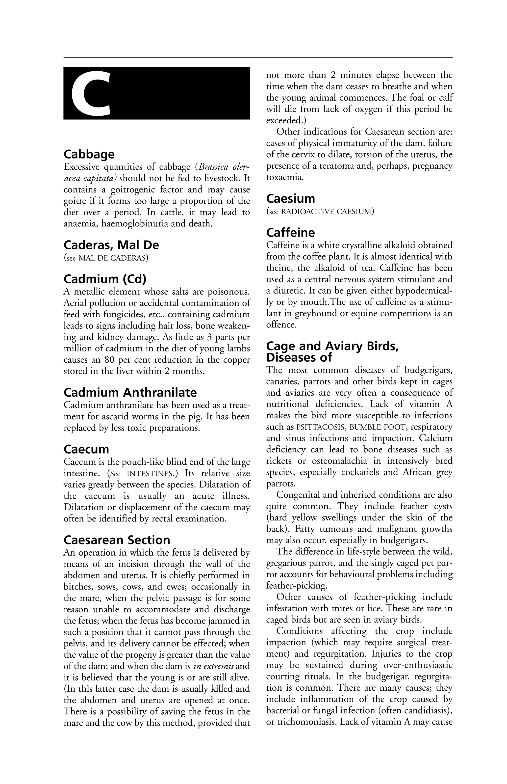 Cabbage 
Excessive quantities of cabbage (Brassica oler-acea 
capitata) should not be fed to livestock. It 
contains a goitrogenic factor and may cause 
goitre if it forms too large a proportion of the 
diet over a period. In cattle, it may lead to 
anaemia, haemoglobinuria and death. 
Caderas, Mal De 
(see MAL DE CADERAS) 
Cadmium (Cd) 
A metallic element whose salts are poisonous. 
Aerial pollution or accidental contamination of 
feed with fungicides, etc., containing cadmium 
leads to signs including hair loss, bone weaken-ing 
and kidney damage. As little as 3 parts per 
million of cadmium in the diet of young lambs 
causes an 80 per cent reduction in the copper 
stored in the liver within 2 months. 
Cadmium Anthranilate 
Cadmium anthranilate has been used as a treat-ment 
for ascarid worms in the pig. It has been 
replaced by less toxic preparations. 
Caecum 
Caecum is the pouch-like blind end of the large 
intestine. (See INTESTINES.) Its relative size 
varies greatly between the species. Dilatation of 
the caecum is usually an acute illness. 
Dilatation or displacement of the caecum may 
often be identified by rectal examination. 
Caesarean Section 
An operation in which the fetus is delivered by 
means of an incision through the wall of the 
abdomen and uterus. It is chiefly performed in 
bitches, sows, cows, and ewes; occasionally in 
the mare, when the pelvic passage is for some 
reason unable to accommodate and discharge 
the fetus; when the fetus has become jammed in 
such a position that it cannot pass through the 
pelvis, and its delivery cannot be effected; when 
the value of the progeny is greater than the value 
of the dam; and when the dam is in extremis and 
it is believed that the young is or are still alive. 
(In this latter case the dam is usually killed and 
the abdomen and uterus are opened at once. 
There is a possibility of saving the fetus in the 
mare and the cow by this method, provided that 
not more than 2 minutes elapse between the 
time when the dam ceases to breathe and when 
the young animal commences. The foal or calf 
will die from lack of oxygen if this period be 
exceeded.) 
Other indications for Caesarean section are: 
cases of physical immaturity of the dam, failure 
of the cervix to dilate, torsion of the uterus, the 
presence of a teratoma and, perhaps, pregnancy 
toxaemia. 
Caesium 
(see RADIOACTIVE CAESIUM) 
Caffeine 
Caffeine is a white crystalline alkaloid obtained 
from the coffee plant. It is almost identical with 
theine, the alkaloid of tea. Caffeine has been 
used as a central nervous system stimulant and 
a diuretic. It can be given either hypodermical-ly 
or by mouth.The use of caffeine as a stimu-lant 
in greyhound or equine competitions is an 
offence. 
Cage and Aviary Birds, 
Diseases of 
The most common diseases of budgerigars, 
canaries, parrots and other birds kept in cages 
and aviaries are very often a consequence of 
nutritional deficiencies. Lack of vitamin A 
makes the bird more susceptible to infections 
such as PSITTACOSIS, BUMBLE-FOOT, respiratory 
and sinus infections and impaction. Calcium 
deficiency can lead to bone diseases such as 
rickets or osteomalachia in intensively bred 
species, especially cockatiels and African grey 
parrots. 
Congenital and inherited conditions are also 
quite common. They include feather cysts 
(hard yellow swellings under the skin of the 
back). Fatty tumours and malignant growths 
may also occur, especially in budgerigars. 
The difference in life-style between the wild, 
gregarious parrot, and the singly caged pet par-rot 
accounts for behavioural problems including 
feather-picking. 
Other causes of feather-picking include 
infestation with mites or lice. These are rare in 
caged birds but are seen in aviary birds. 
Conditions affecting the crop include 
impaction (which may require surgical treat-ment) 
and regurgitation. Injuries to the crop 
may be sustained during over-enthusiastic 
courting rituals. In the budgerigar, regurgita-tion 
is common. There are many causes; they 
include inflammation of the crop caused by 
bacterial or fungal infection (often candidiasis), 
or trichomoniasis. Lack of vitamin A may cause 
C 
 