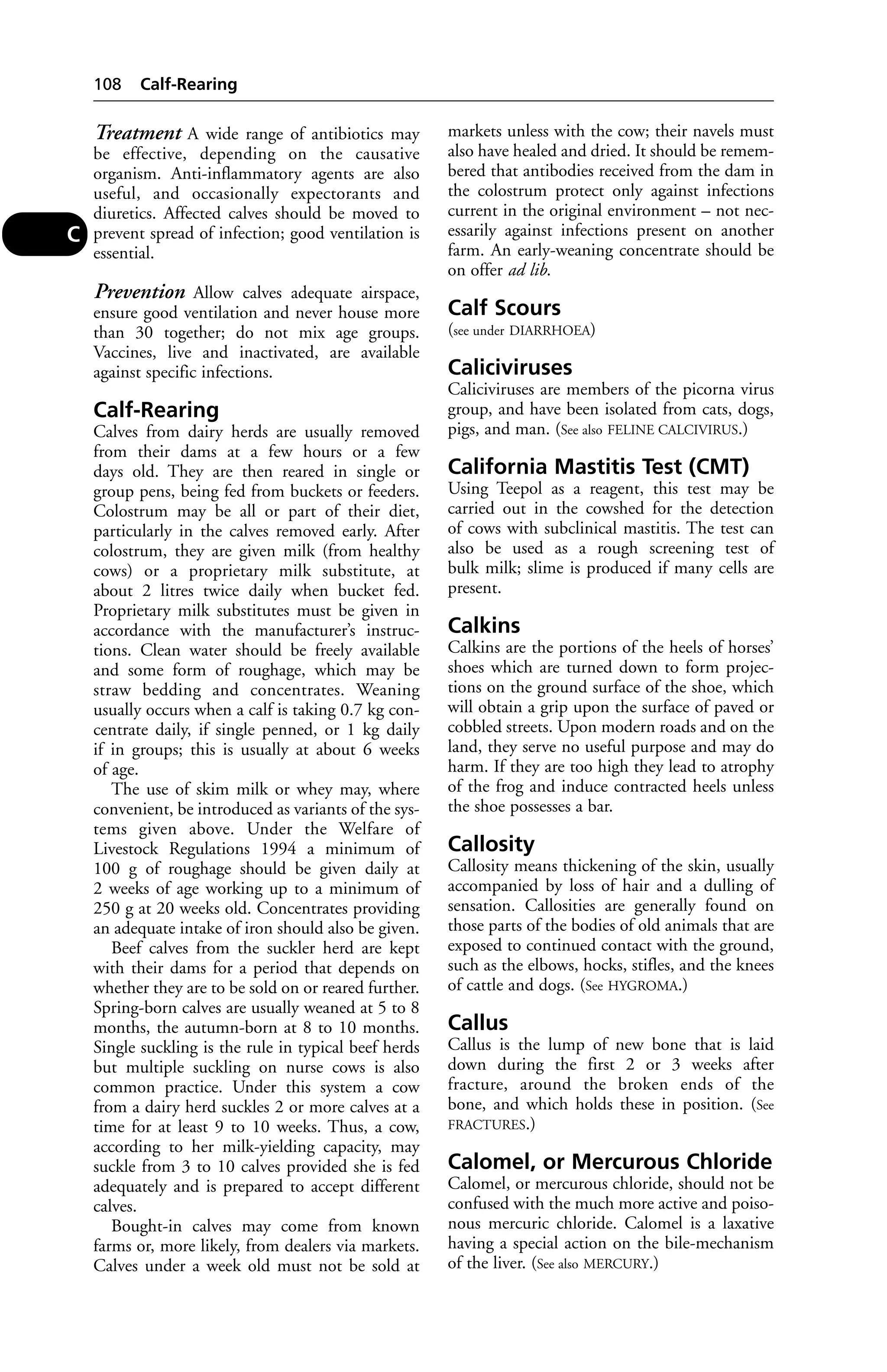 Treatment A wide range of antibiotics may 
be effective, depending on the causative 
organism. Anti-inflammatory agents are also 
useful, and occasionally expectorants and 
diuretics. Affected calves should be moved to 
prevent spread of infection; good ventilation is 
essential. 
Prevention Allow calves adequate airspace, 
ensure good ventilation and never house more 
than 30 together; do not mix age groups. 
Vaccines, live and inactivated, are available 
against specific infections. 
Calf-Rearing 
Calves from dairy herds are usually removed 
from their dams at a few hours or a few 
days old. They are then reared in single or 
group pens, being fed from buckets or feeders. 
Colostrum may be all or part of their diet, 
particularly in the calves removed early. After 
colostrum, they are given milk (from healthy 
cows) or a proprietary milk substitute, at 
about 2 litres twice daily when bucket fed. 
Proprietary milk substitutes must be given in 
accordance with the manufacturer’s instruc-tions. 
Clean water should be freely available 
and some form of roughage, which may be 
straw bedding and concentrates. Weaning 
usually occurs when a calf is taking 0.7 kg con-centrate 
daily, if single penned, or 1 kg daily 
if in groups; this is usually at about 6 weeks 
of age. 
The use of skim milk or whey may, where 
convenient, be introduced as variants of the sys-tems 
given above. Under the Welfare of 
Livestock Regulations 1994 a minimum of 
100 g of roughage should be given daily at 
2 weeks of age working up to a minimum of 
250 g at 20 weeks old. Concentrates providing 
an adequate intake of iron should also be given. 
Beef calves from the suckler herd are kept 
with their dams for a period that depends on 
whether they are to be sold on or reared further. 
Spring-born calves are usually weaned at 5 to 8 
months, the autumn-born at 8 to 10 months. 
Single suckling is the rule in typical beef herds 
but multiple suckling on nurse cows is also 
common practice. Under this system a cow 
from a dairy herd suckles 2 or more calves at a 
time for at least 9 to 10 weeks. Thus, a cow, 
according to her milk-yielding capacity, may 
suckle from 3 to 10 calves provided she is fed 
adequately and is prepared to accept different 
calves. 
Bought-in calves may come from known 
farms or, more likely, from dealers via markets. 
Calves under a week old must not be sold at 
markets unless with the cow; their navels must 
also have healed and dried. It should be remem-bered 
that antibodies received from the dam in 
the colostrum protect only against infections 
current in the original environment – not nec-essarily 
against infections present on another 
farm. An early-weaning concentrate should be 
on offer ad lib. 
Calf Scours 
(see under DIARRHOEA) 
Caliciviruses 
Caliciviruses are members of the picorna virus 
group, and have been isolated from cats, dogs, 
pigs, and man. (See also FELINE CALCIVIRUS.) 
California Mastitis Test (CMT) 
Using Teepol as a reagent, this test may be 
carried out in the cowshed for the detection 
of cows with subclinical mastitis. The test can 
also be used as a rough screening test of 
bulk milk; slime is produced if many cells are 
present. 
Calkins 
Calkins are the portions of the heels of horses’ 
shoes which are turned down to form projec-tions 
on the ground surface of the shoe, which 
will obtain a grip upon the surface of paved or 
cobbled streets. Upon modern roads and on the 
land, they serve no useful purpose and may do 
harm. If they are too high they lead to atrophy 
of the frog and induce contracted heels unless 
the shoe possesses a bar. 
Callosity 
Callosity means thickening of the skin, usually 
accompanied by loss of hair and a dulling of 
sensation. Callosities are generally found on 
those parts of the bodies of old animals that are 
exposed to continued contact with the ground, 
such as the elbows, hocks, stifles, and the knees 
of cattle and dogs. (See HYGROMA.) 
Callus 
Callus is the lump of new bone that is laid 
down during the first 2 or 3 weeks after 
fracture, around the broken ends of the 
bone, and which holds these in position. (See 
FRACTURES.) 
Calomel, or Mercurous Chloride 
Calomel, or mercurous chloride, should not be 
confused with the much more active and poiso-nous 
mercuric chloride. Calomel is a laxative 
having a special action on the bile-mechanism 
of the liver. (See also MERCURY.) 
108 Calf-Rearing 
C 
 
