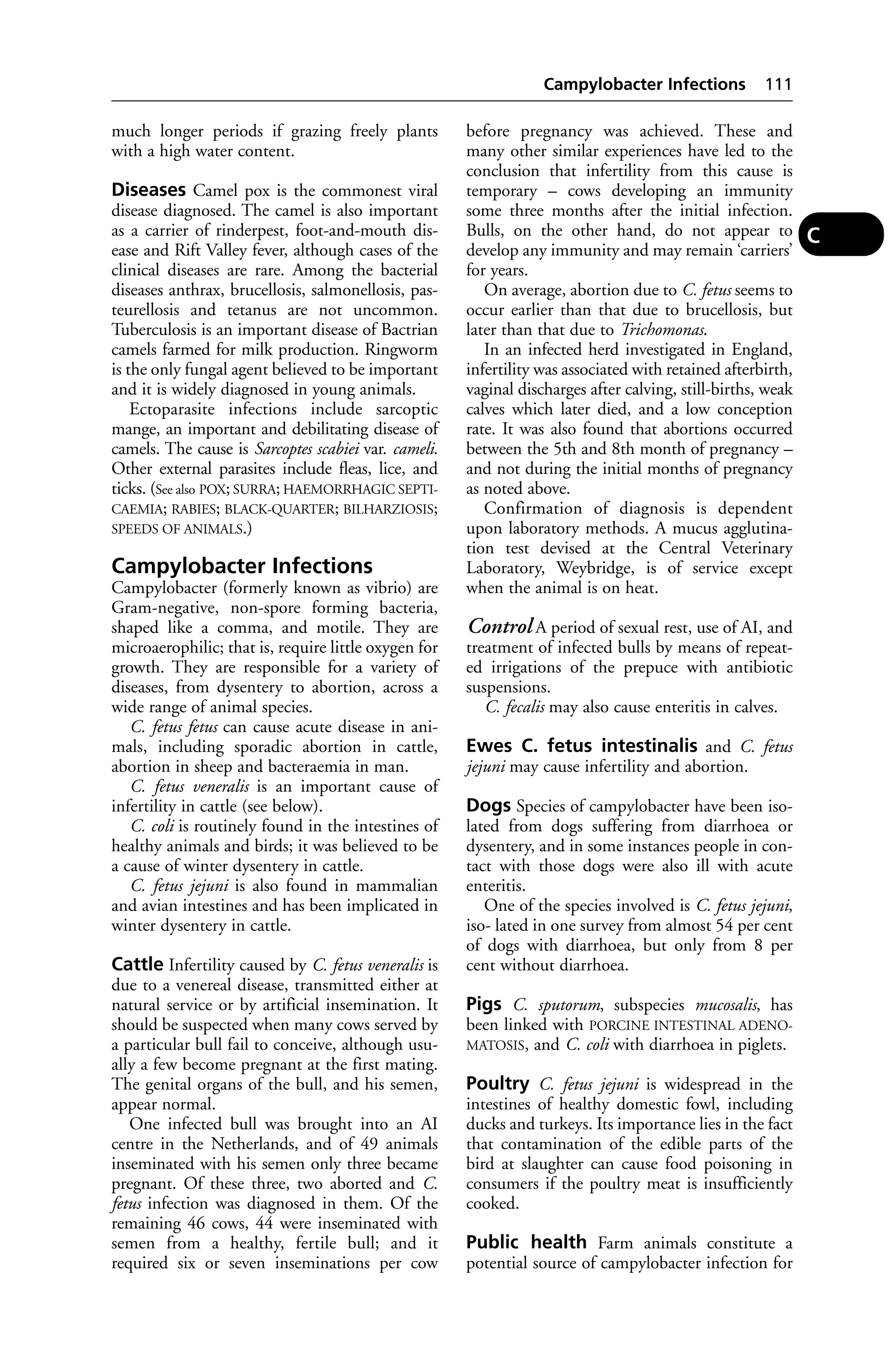 much longer periods if grazing freely plants 
with a high water content. 
Diseases Camel pox is the commonest viral 
disease diagnosed. The camel is also important 
as a carrier of rinderpest, foot-and-mouth dis-ease 
and Rift Valley fever, although cases of the 
clinical diseases are rare. Among the bacterial 
diseases anthrax, brucellosis, salmonellosis, pas-teurellosis 
and tetanus are not uncommon. 
Tuberculosis is an important disease of Bactrian 
camels farmed for milk production. Ringworm 
is the only fungal agent believed to be important 
and it is widely diagnosed in young animals. 
Ectoparasite infections include sarcoptic 
mange, an important and debilitating disease of 
camels. The cause is Sarcoptes scabiei var. cameli. 
Other external parasites include fleas, lice, and 
ticks. (See also POX; SURRA; HAEMORRHAGIC SEPTI-CAEMIA; 
RABIES; BLACK-QUARTER; BILHARZIOSIS; 
SPEEDS OF ANIMALS.) 
Campylobacter Infections 
Campylobacter (formerly known as vibrio) are 
Gram-negative, non-spore forming bacteria, 
shaped like a comma, and motile. They are 
microaerophilic; that is, require little oxygen for 
growth. They are responsible for a variety of 
diseases, from dysentery to abortion, across a 
wide range of animal species. 
C. fetus fetus can cause acute disease in ani-mals, 
including sporadic abortion in cattle, 
abortion in sheep and bacteraemia in man. 
C. fetus veneralis is an important cause of 
infertility in cattle (see below). 
C. coli is routinely found in the intestines of 
healthy animals and birds; it was believed to be 
a cause of winter dysentery in cattle. 
C. fetus jejuni is also found in mammalian 
and avian intestines and has been implicated in 
winter dysentery in cattle. 
Cattle Infertility caused by C. fetus veneralis is 
due to a venereal disease, transmitted either at 
natural service or by artificial insemination. It 
should be suspected when many cows served by 
a particular bull fail to conceive, although usu-ally 
a few become pregnant at the first mating. 
The genital organs of the bull, and his semen, 
appear normal. 
One infected bull was brought into an AI 
centre in the Netherlands, and of 49 animals 
inseminated with his semen only three became 
pregnant. Of these three, two aborted and C. 
fetus infection was diagnosed in them. Of the 
remaining 46 cows, 44 were inseminated with 
semen from a healthy, fertile bull; and it 
required six or seven inseminations per cow 
Campylobacter Infections 111 
before pregnancy was achieved. These and 
many other similar experiences have led to the 
conclusion that infertility from this cause is 
temporary – cows developing an immunity 
some three months after the initial infection. 
Bulls, on the other hand, do not appear to 
develop any immunity and may remain ‘carriers’ 
for years. 
On average, abortion due to C. fetus seems to 
occur earlier than that due to brucellosis, but 
later than that due to Trichomonas. 
In an infected herd investigated in England, 
infertility was associated with retained afterbirth, 
vaginal discharges after calving, still-births, weak 
calves which later died, and a low conception 
rate. It was also found that abortions occurred 
between the 5th and 8th month of pregnancy – 
and not during the initial months of pregnancy 
as noted above. 
Confirmation of diagnosis is dependent 
upon laboratory methods. A mucus agglutina-tion 
test devised at the Central Veterinary 
Laboratory, Weybridge, is of service except 
when the animal is on heat. 
Control A period of sexual rest, use of AI, and 
treatment of infected bulls by means of repeat-ed 
irrigations of the prepuce with antibiotic 
suspensions. 
C. fecalis may also cause enteritis in calves. 
Ewes C. fetus intestinalis and C. fetus 
jejuni may cause infertility and abortion. 
Dogs Species of campylobacter have been iso-lated 
from dogs suffering from diarrhoea or 
dysentery, and in some instances people in con-tact 
with those dogs were also ill with acute 
enteritis. 
One of the species involved is C. fetus jejuni, 
iso- lated in one survey from almost 54 per cent 
of dogs with diarrhoea, but only from 8 per 
cent without diarrhoea. 
Pigs C. sputorum, subspecies mucosalis, has 
been linked with PORCINE INTESTINAL ADENO-MATOSIS, 
and C. coli with diarrhoea in piglets. 
Poultry C. fetus jejuni is widespread in the 
intestines of healthy domestic fowl, including 
ducks and turkeys. Its importance lies in the fact 
that contamination of the edible parts of the 
bird at slaughter can cause food poisoning in 
consumers if the poultry meat is insufficiently 
cooked. 
Public health Farm animals constitute a 
potential source of campylobacter infection for 
C 
 