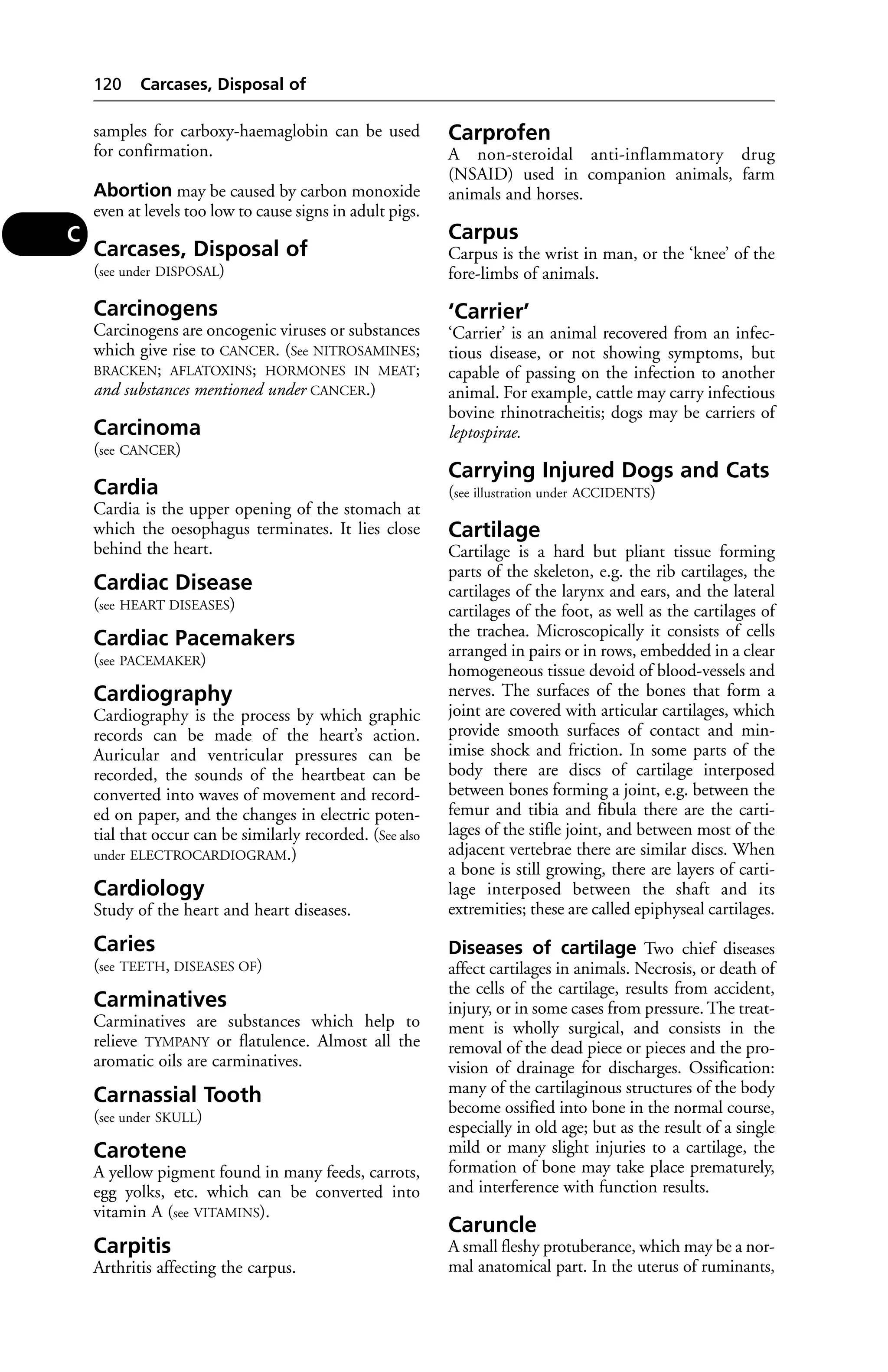 samples for carboxy-haemaglobin can be used 
for confirmation. 
Abortion may be caused by carbon monoxide 
even at levels too low to cause signs in adult pigs. 
Carcases, Disposal of 
(see under DISPOSAL) 
Carcinogens 
Carcinogens are oncogenic viruses or substances 
which give rise to CANCER. (See NITROSAMINES; 
BRACKEN; AFLATOXINS; HORMONES IN MEAT; 
and substances mentioned under CANCER.) 
Carcinoma 
(see CANCER) 
Cardia 
Cardia is the upper opening of the stomach at 
which the oesophagus terminates. It lies close 
behind the heart. 
Cardiac Disease 
(see HEART DISEASES) 
Cardiac Pacemakers 
(see PACEMAKER) 
Cardiography 
Cardiography is the process by which graphic 
records can be made of the heart’s action. 
Auricular and ventricular pressures can be 
recorded, the sounds of the heartbeat can be 
converted into waves of movement and record-ed 
on paper, and the changes in electric poten-tial 
that occur can be similarly recorded. (See also 
under ELECTROCARDIOGRAM.) 
Cardiology 
Study of the heart and heart diseases. 
Caries 
(see TEETH, DISEASES OF) 
Carminatives 
Carminatives are substances which help to 
relieve TYMPANY or flatulence. Almost all the 
aromatic oils are carminatives. 
Carnassial Tooth 
(see under SKULL) 
Carotene 
A yellow pigment found in many feeds, carrots, 
egg yolks, etc. which can be converted into 
vitamin A (see VITAMINS). 
Carpitis 
Arthritis affecting the carpus. 
Carprofen 
A non-steroidal anti-inflammatory drug 
(NSAID) used in companion animals, farm 
animals and horses. 
Carpus 
Carpus is the wrist in man, or the ‘knee’ of the 
fore-limbs of animals. 
‘Carrier’ 
‘Carrier’ is an animal recovered from an infec-tious 
disease, or not showing symptoms, but 
capable of passing on the infection to another 
animal. For example, cattle may carry infectious 
bovine rhinotracheitis; dogs may be carriers of 
leptospirae. 
Carrying Injured Dogs and Cats 
(see illustration under ACCIDENTS) 
Cartilage 
Cartilage is a hard but pliant tissue forming 
parts of the skeleton, e.g. the rib cartilages, the 
cartilages of the larynx and ears, and the lateral 
cartilages of the foot, as well as the cartilages of 
the trachea. Microscopically it consists of cells 
arranged in pairs or in rows, embedded in a clear 
homogeneous tissue devoid of blood-vessels and 
nerves. The surfaces of the bones that form a 
joint are covered with articular cartilages, which 
provide smooth surfaces of contact and min-imise 
shock and friction. In some parts of the 
body there are discs of cartilage interposed 
between bones forming a joint, e.g. between the 
femur and tibia and fibula there are the carti-lages 
of the stifle joint, and between most of the 
adjacent vertebrae there are similar discs. When 
a bone is still growing, there are layers of carti-lage 
interposed between the shaft and its 
extremities; these are called epiphyseal cartilages. 
Diseases of cartilage Two chief diseases 
affect cartilages in animals. Necrosis, or death of 
the cells of the cartilage, results from accident, 
injury, or in some cases from pressure. The treat-ment 
is wholly surgical, and consists in the 
removal of the dead piece or pieces and the pro-vision 
of drainage for discharges. Ossification: 
many of the cartilaginous structures of the body 
become ossified into bone in the normal course, 
especially in old age; but as the result of a single 
mild or many slight injuries to a cartilage, the 
formation of bone may take place prematurely, 
and interference with function results. 
Caruncle 
A small fleshy protuberance, which may be a nor-mal 
anatomical part. In the uterus of ruminants, 
120 Carcases, Disposal of 
C 
 