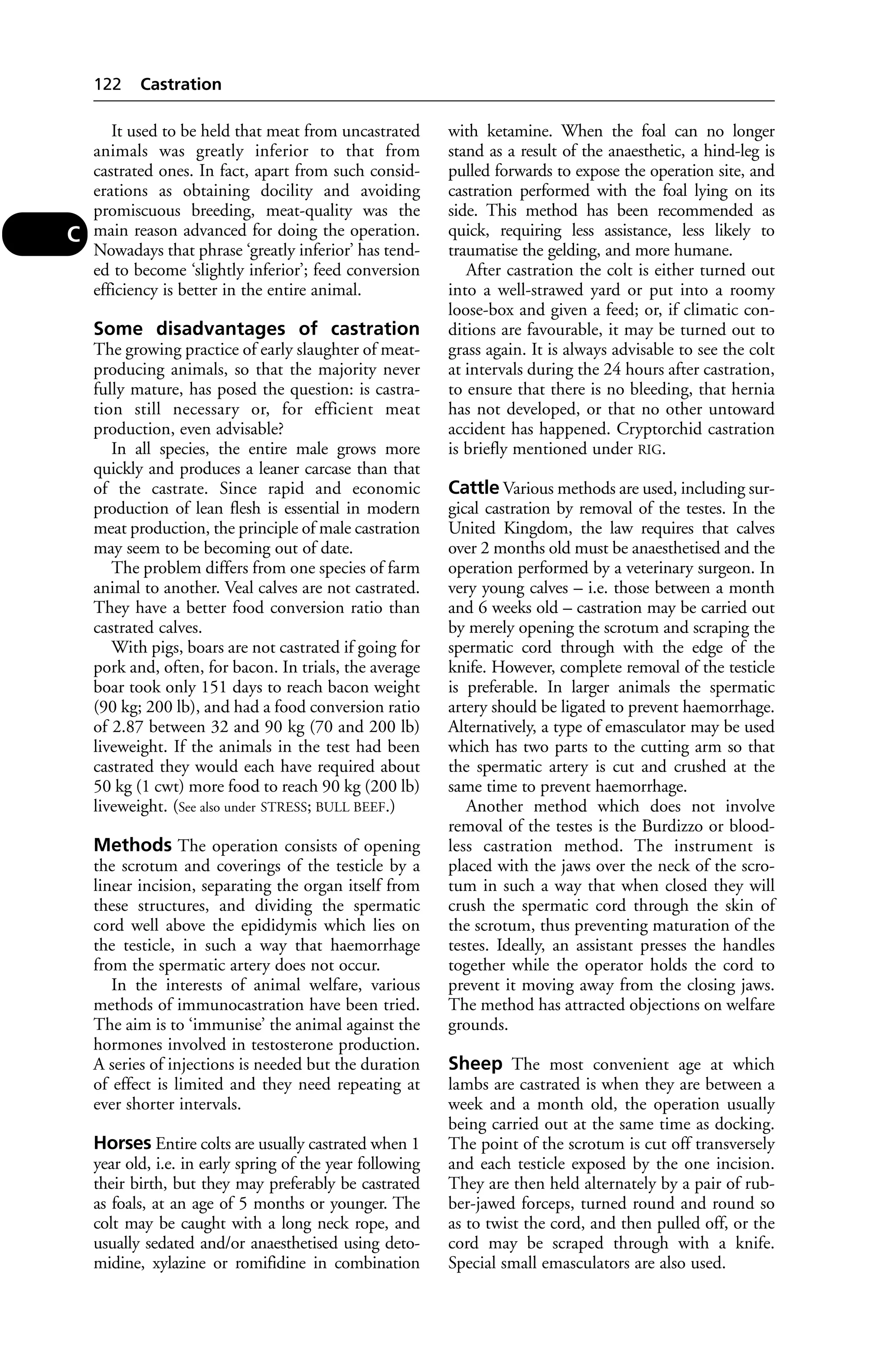 It used to be held that meat from uncastrated 
animals was greatly inferior to that from 
castrated ones. In fact, apart from such consid-erations 
as obtaining docility and avoiding 
promiscuous breeding, meat-quality was the 
main reason advanced for doing the operation. 
Nowadays that phrase ‘greatly inferior’ has tend-ed 
to become ‘slightly inferior’; feed conversion 
efficiency is better in the entire animal. 
Some disadvantages of castration 
The growing practice of early slaughter of meat-producing 
animals, so that the majority never 
fully mature, has posed the question: is castra-tion 
still necessary or, for efficient meat 
production, even advisable? 
In all species, the entire male grows more 
quickly and produces a leaner carcase than that 
of the castrate. Since rapid and economic 
production of lean flesh is essential in modern 
meat production, the principle of male castration 
may seem to be becoming out of date. 
The problem differs from one species of farm 
animal to another. Veal calves are not castrated. 
They have a better food conversion ratio than 
castrated calves. 
With pigs, boars are not castrated if going for 
pork and, often, for bacon. In trials, the average 
boar took only 151 days to reach bacon weight 
(90 kg; 200 lb), and had a food conversion ratio 
of 2.87 between 32 and 90 kg (70 and 200 lb) 
liveweight. If the animals in the test had been 
castrated they would each have required about 
50 kg (1 cwt) more food to reach 90 kg (200 lb) 
liveweight. (See also under STRESS; BULL BEEF.) 
Methods The operation consists of opening 
the scrotum and coverings of the testicle by a 
linear incision, separating the organ itself from 
these structures, and dividing the spermatic 
cord well above the epididymis which lies on 
the testicle, in such a way that haemorrhage 
from the spermatic artery does not occur. 
In the interests of animal welfare, various 
methods of immunocastration have been tried. 
The aim is to ‘immunise’ the animal against the 
hormones involved in testosterone production. 
A series of injections is needed but the duration 
of effect is limited and they need repeating at 
ever shorter intervals. 
Horses Entire colts are usually castrated when 1 
year old, i.e. in early spring of the year following 
their birth, but they may preferably be castrated 
as foals, at an age of 5 months or younger. The 
colt may be caught with a long neck rope, and 
usually sedated and/or anaesthetised using deto-midine, 
xylazine or romifidine in combination 
with ketamine. When the foal can no longer 
stand as a result of the anaesthetic, a hind-leg is 
pulled forwards to expose the operation site, and 
castration performed with the foal lying on its 
side. This method has been recommended as 
quick, requiring less assistance, less likely to 
traumatise the gelding, and more humane. 
After castration the colt is either turned out 
into a well-strawed yard or put into a roomy 
loose-box and given a feed; or, if climatic con-ditions 
are favourable, it may be turned out to 
grass again. It is always advisable to see the colt 
at intervals during the 24 hours after castration, 
to ensure that there is no bleeding, that hernia 
has not developed, or that no other untoward 
accident has happened. Cryptorchid castration 
is briefly mentioned under RIG. 
Cattle Various methods are used, including sur-gical 
castration by removal of the testes. In the 
United Kingdom, the law requires that calves 
over 2 months old must be anaesthetised and the 
operation performed by a veterinary surgeon. In 
very young calves – i.e. those between a month 
and 6 weeks old – castration may be carried out 
by merely opening the scrotum and scraping the 
spermatic cord through with the edge of the 
knife. However, complete removal of the testicle 
is preferable. In larger animals the spermatic 
artery should be ligated to prevent haemorrhage. 
Alternatively, a type of emasculator may be used 
which has two parts to the cutting arm so that 
the spermatic artery is cut and crushed at the 
same time to prevent haemorrhage. 
Another method which does not involve 
removal of the testes is the Burdizzo or blood-less 
castration method. The instrument is 
placed with the jaws over the neck of the scro-tum 
in such a way that when closed they will 
crush the spermatic cord through the skin of 
the scrotum, thus preventing maturation of the 
testes. Ideally, an assistant presses the handles 
together while the operator holds the cord to 
prevent it moving away from the closing jaws. 
The method has attracted objections on welfare 
grounds. 
Sheep The most convenient age at which 
lambs are castrated is when they are between a 
week and a month old, the operation usually 
being carried out at the same time as docking. 
The point of the scrotum is cut off transversely 
and each testicle exposed by the one incision. 
They are then held alternately by a pair of rub-ber- 
jawed forceps, turned round and round so 
as to twist the cord, and then pulled off, or the 
cord may be scraped through with a knife. 
Special small emasculators are also used. 
122 Castration 
C 
 