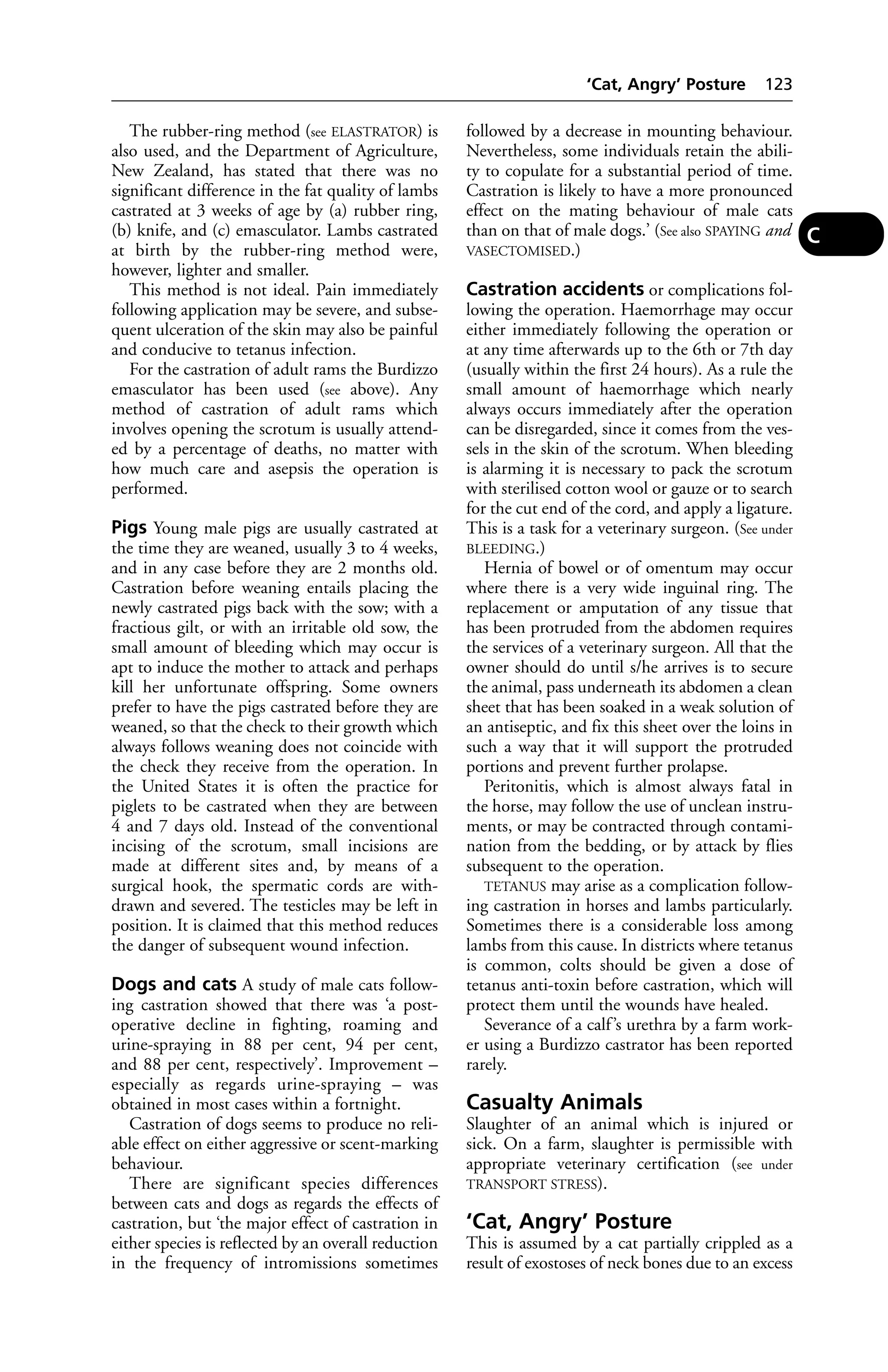 The rubber-ring method (see ELASTRATOR) is 
also used, and the Department of Agriculture, 
New Zealand, has stated that there was no 
significant difference in the fat quality of lambs 
castrated at 3 weeks of age by (a) rubber ring, 
(b) knife, and (c) emasculator. Lambs castrated 
at birth by the rubber-ring method were, 
however, lighter and smaller. 
This method is not ideal. Pain immediately 
following application may be severe, and subse-quent 
ulceration of the skin may also be painful 
and conducive to tetanus infection. 
For the castration of adult rams the Burdizzo 
emasculator has been used (see above). Any 
method of castration of adult rams which 
involves opening the scrotum is usually attend-ed 
by a percentage of deaths, no matter with 
how much care and asepsis the operation is 
performed. 
Pigs Young male pigs are usually castrated at 
the time they are weaned, usually 3 to 4 weeks, 
and in any case before they are 2 months old. 
Castration before weaning entails placing the 
newly castrated pigs back with the sow; with a 
fractious gilt, or with an irritable old sow, the 
small amount of bleeding which may occur is 
apt to induce the mother to attack and perhaps 
kill her unfortunate offspring. Some owners 
prefer to have the pigs castrated before they are 
weaned, so that the check to their growth which 
always follows weaning does not coincide with 
the check they receive from the operation. In 
the United States it is often the practice for 
piglets to be castrated when they are between 
4 and 7 days old. Instead of the conventional 
incising of the scrotum, small incisions are 
made at different sites and, by means of a 
surgical hook, the spermatic cords are with-drawn 
and severed. The testicles may be left in 
position. It is claimed that this method reduces 
the danger of subsequent wound infection. 
Dogs and cats A study of male cats follow-ing 
castration showed that there was ‘a post-operative 
decline in fighting, roaming and 
urine-spraying in 88 per cent, 94 per cent, 
and 88 per cent, respectively’. Improvement – 
especially as regards urine-spraying – was 
obtained in most cases within a fortnight. 
Castration of dogs seems to produce no reli-able 
effect on either aggressive or scent-marking 
behaviour. 
There are significant species differences 
between cats and dogs as regards the effects of 
castration, but ‘the major effect of castration in 
either species is reflected by an overall reduction 
in the frequency of intromissions sometimes 
‘Cat, Angry’ Posture 123 
followed by a decrease in mounting behaviour. 
Nevertheless, some individuals retain the abili-ty 
to copulate for a substantial period of time. 
Castration is likely to have a more pronounced 
effect on the mating behaviour of male cats 
than on that of male dogs.’ (See also SPAYING and 
VASECTOMISED.) 
Castration accidents or complications fol-lowing 
the operation. Haemorrhage may occur 
either immediately following the operation or 
at any time afterwards up to the 6th or 7th day 
(usually within the first 24 hours). As a rule the 
small amount of haemorrhage which nearly 
always occurs immediately after the operation 
can be disregarded, since it comes from the ves-sels 
in the skin of the scrotum. When bleeding 
is alarming it is necessary to pack the scrotum 
with sterilised cotton wool or gauze or to search 
for the cut end of the cord, and apply a ligature. 
This is a task for a veterinary surgeon. (See under 
BLEEDING.) 
Hernia of bowel or of omentum may occur 
where there is a very wide inguinal ring. The 
replacement or amputation of any tissue that 
has been protruded from the abdomen requires 
the services of a veterinary surgeon. All that the 
owner should do until s/he arrives is to secure 
the animal, pass underneath its abdomen a clean 
sheet that has been soaked in a weak solution of 
an antiseptic, and fix this sheet over the loins in 
such a way that it will support the protruded 
portions and prevent further prolapse. 
Peritonitis, which is almost always fatal in 
the horse, may follow the use of unclean instru-ments, 
or may be contracted through contami-nation 
from the bedding, or by attack by flies 
subsequent to the operation. 
TETANUS may arise as a complication follow-ing 
castration in horses and lambs particularly. 
Sometimes there is a considerable loss among 
lambs from this cause. In districts where tetanus 
is common, colts should be given a dose of 
tetanus anti-toxin before castration, which will 
protect them until the wounds have healed. 
Severance of a calf ’s urethra by a farm work-er 
using a Burdizzo castrator has been reported 
rarely. 
Casualty Animals 
Slaughter of an animal which is injured or 
sick. On a farm, slaughter is permissible with 
appropriate veterinary certification (see under 
TRANSPORT STRESS). 
‘Cat, Angry’ Posture 
This is assumed by a cat partially crippled as a 
result of exostoses of neck bones due to an excess 
C 
 