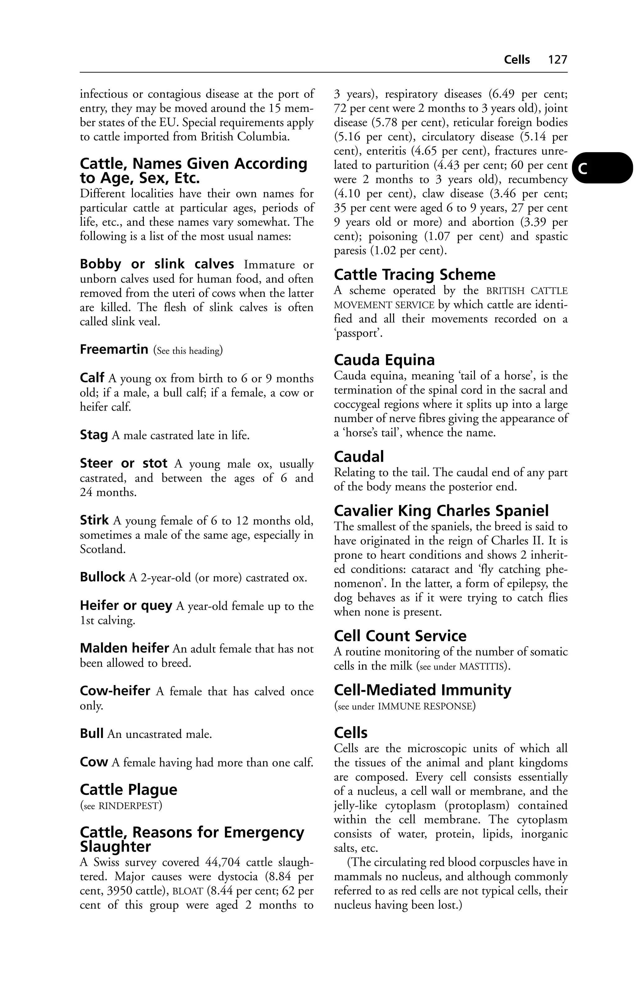 infectious or contagious disease at the port of 
entry, they may be moved around the 15 mem-ber 
states of the EU. Special requirements apply 
to cattle imported from British Columbia. 
Cattle, Names Given According 
to Age, Sex, Etc. 
Different localities have their own names for 
particular cattle at particular ages, periods of 
life, etc., and these names vary somewhat. The 
following is a list of the most usual names: 
Bobby or slink calves Immature or 
unborn calves used for human food, and often 
removed from the uteri of cows when the latter 
are killed. The flesh of slink calves is often 
called slink veal. 
Freemartin (See this heading) 
Calf A young ox from birth to 6 or 9 months 
old; if a male, a bull calf; if a female, a cow or 
heifer calf. 
Stag A male castrated late in life. 
Steer or stot A young male ox, usually 
castrated, and between the ages of 6 and 
24 months. 
Stirk A young female of 6 to 12 months old, 
sometimes a male of the same age, especially in 
Scotland. 
Bullock A 2-year-old (or more) castrated ox. 
Heifer or quey A year-old female up to the 
1st calving. 
Malden heifer An adult female that has not 
been allowed to breed. 
Cow-heifer A female that has calved once 
only. 
Bull An uncastrated male. 
Cow A female having had more than one calf. 
Cattle Plague 
(see RINDERPEST) 
Cattle, Reasons for Emergency 
Slaughter 
A Swiss survey covered 44,704 cattle slaugh-tered. 
Major causes were dystocia (8.84 per 
cent, 3950 cattle), BLOAT (8.44 per cent; 62 per 
cent of this group were aged 2 months to 
Cells 127 
3 years), respiratory diseases (6.49 per cent; 
72 per cent were 2 months to 3 years old), joint 
disease (5.78 per cent), reticular foreign bodies 
(5.16 per cent), circulatory disease (5.14 per 
cent), enteritis (4.65 per cent), fractures unre-lated 
to parturition (4.43 per cent; 60 per cent 
were 2 months to 3 years old), recumbency 
(4.10 per cent), claw disease (3.46 per cent; 
35 per cent were aged 6 to 9 years, 27 per cent 
9 years old or more) and abortion (3.39 per 
cent); poisoning (1.07 per cent) and spastic 
paresis (1.02 per cent). 
Cattle Tracing Scheme 
A scheme operated by the BRITISH CATTLE 
MOVEMENT SERVICE by which cattle are identi-fied 
and all their movements recorded on a 
‘passport’. 
Cauda Equina 
Cauda equina, meaning ‘tail of a horse’, is the 
termination of the spinal cord in the sacral and 
coccygeal regions where it splits up into a large 
number of nerve fibres giving the appearance of 
a ‘horse’s tail’, whence the name. 
Caudal 
Relating to the tail. The caudal end of any part 
of the body means the posterior end. 
Cavalier King Charles Spaniel 
The smallest of the spaniels, the breed is said to 
have originated in the reign of Charles II. It is 
prone to heart conditions and shows 2 inherit-ed 
conditions: cataract and ‘fly catching phe-nomenon’. 
In the latter, a form of epilepsy, the 
dog behaves as if it were trying to catch flies 
when none is present. 
Cell Count Service 
A routine monitoring of the number of somatic 
cells in the milk (see under MASTITIS). 
Cell-Mediated Immunity 
(see under IMMUNE RESPONSE) 
Cells 
Cells are the microscopic units of which all 
the tissues of the animal and plant kingdoms 
are composed. Every cell consists essentially 
of a nucleus, a cell wall or membrane, and the 
jelly-like cytoplasm (protoplasm) contained 
within the cell membrane. The cytoplasm 
consists of water, protein, lipids, inorganic 
salts, etc. 
(The circulating red blood corpuscles have in 
mammals no nucleus, and although commonly 
referred to as red cells are not typical cells, their 
nucleus having been lost.) 
C 
 