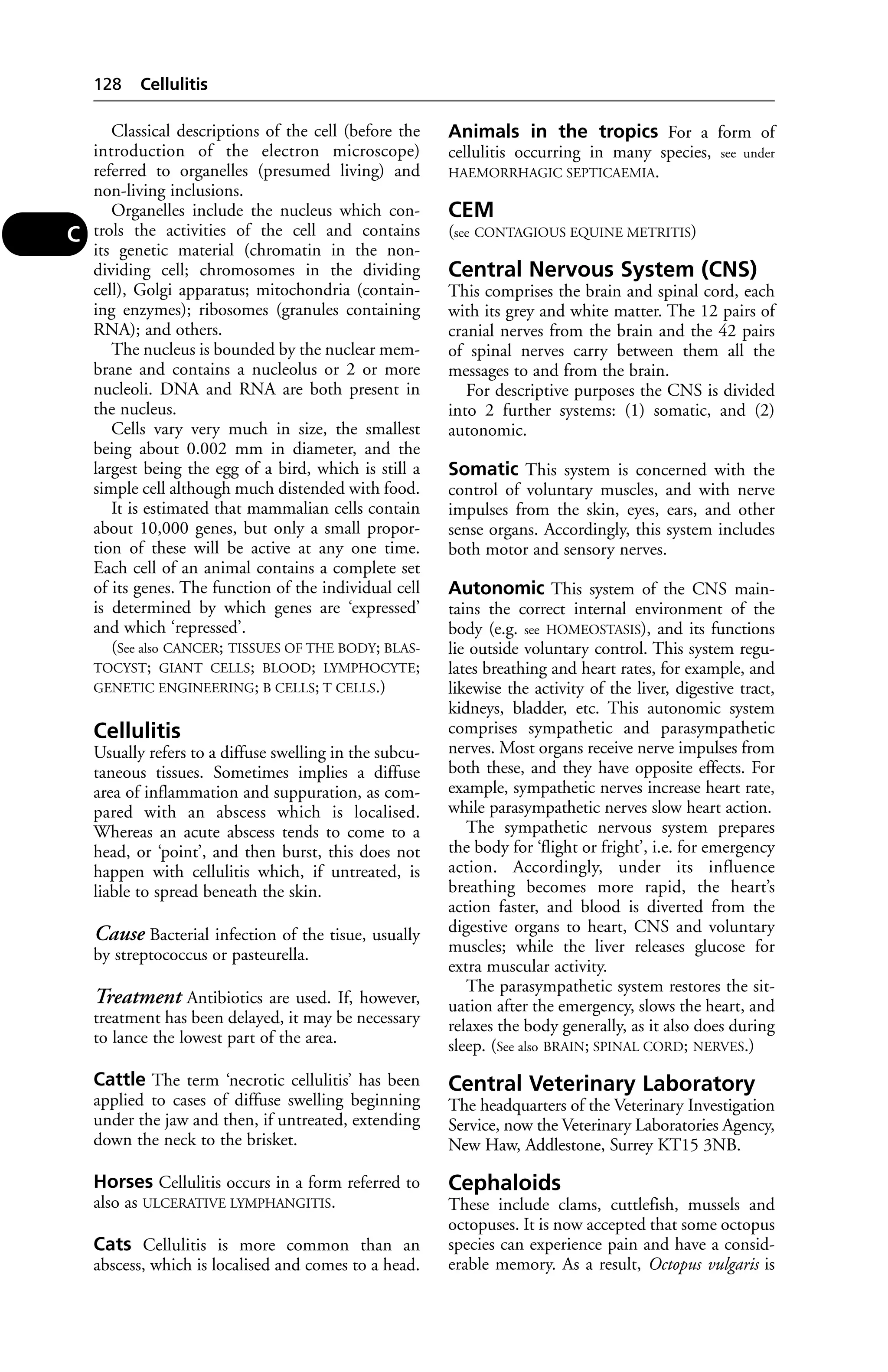 Classical descriptions of the cell (before the 
introduction of the electron microscope) 
referred to organelles (presumed living) and 
non-living inclusions. 
Organelles include the nucleus which con-trols 
the activities of the cell and contains 
its genetic material (chromatin in the non-dividing 
cell; chromosomes in the dividing 
cell), Golgi apparatus; mitochondria (contain-ing 
enzymes); ribosomes (granules containing 
RNA); and others. 
The nucleus is bounded by the nuclear mem-brane 
and contains a nucleolus or 2 or more 
nucleoli. DNA and RNA are both present in 
the nucleus. 
Cells vary very much in size, the smallest 
being about 0.002 mm in diameter, and the 
largest being the egg of a bird, which is still a 
simple cell although much distended with food. 
It is estimated that mammalian cells contain 
about 10,000 genes, but only a small propor-tion 
of these will be active at any one time. 
Each cell of an animal contains a complete set 
of its genes. The function of the individual cell 
is determined by which genes are ‘expressed’ 
and which ‘repressed’. 
(See also CANCER; TISSUES OF THE BODY; BLAS-TOCYST; 
GIANT CELLS; BLOOD; LYMPHOCYTE; 
GENETIC ENGINEERING; B CELLS; T CELLS.) 
Cellulitis 
Usually refers to a diffuse swelling in the subcu-taneous 
tissues. Sometimes implies a diffuse 
area of inflammation and suppuration, as com-pared 
with an abscess which is localised. 
Whereas an acute abscess tends to come to a 
head, or ‘point’, and then burst, this does not 
happen with cellulitis which, if untreated, is 
liable to spread beneath the skin. 
Cause Bacterial infection of the tisue, usually 
by streptococcus or pasteurella. 
Treatment Antibiotics are used. If, however, 
treatment has been delayed, it may be necessary 
to lance the lowest part of the area. 
Cattle The term ‘necrotic cellulitis’ has been 
applied to cases of diffuse swelling beginning 
under the jaw and then, if untreated, extending 
down the neck to the brisket. 
Horses Cellulitis occurs in a form referred to 
also as ULCERATIVE LYMPHANGITIS. 
Cats Cellulitis is more common than an 
abscess, which is localised and comes to a head. 
Animals in the tropics For a form of 
cellulitis occurring in many species, see under 
HAEMORRHAGIC SEPTICAEMIA. 
CEM 
(see CONTAGIOUS EQUINE METRITIS) 
Central Nervous System (CNS) 
This comprises the brain and spinal cord, each 
with its grey and white matter. The 12 pairs of 
cranial nerves from the brain and the 42 pairs 
of spinal nerves carry between them all the 
messages to and from the brain. 
For descriptive purposes the CNS is divided 
into 2 further systems: (1) somatic, and (2) 
autonomic. 
Somatic This system is concerned with the 
control of voluntary muscles, and with nerve 
impulses from the skin, eyes, ears, and other 
sense organs. Accordingly, this system includes 
both motor and sensory nerves. 
Autonomic This system of the CNS main-tains 
the correct internal environment of the 
body (e.g. see HOMEOSTASIS), and its functions 
lie outside voluntary control. This system regu-lates 
breathing and heart rates, for example, and 
likewise the activity of the liver, digestive tract, 
kidneys, bladder, etc. This autonomic system 
comprises sympathetic and parasympathetic 
nerves. Most organs receive nerve impulses from 
both these, and they have opposite effects. For 
example, sympathetic nerves increase heart rate, 
while parasympathetic nerves slow heart action. 
The sympathetic nervous system prepares 
the body for ‘flight or fright’, i.e. for emergency 
action. Accordingly, under its influence 
breathing becomes more rapid, the heart’s 
action faster, and blood is diverted from the 
digestive organs to heart, CNS and voluntary 
muscles; while the liver releases glucose for 
extra muscular activity. 
The parasympathetic system restores the sit-uation 
after the emergency, slows the heart, and 
relaxes the body generally, as it also does during 
sleep. (See also BRAIN; SPINAL CORD; NERVES.) 
Central Veterinary Laboratory 
The headquarters of the Veterinary Investigation 
Service, now the Veterinary Laboratories Agency, 
New Haw, Addlestone, Surrey KT15 3NB. 
Cephaloids 
These include clams, cuttlefish, mussels and 
octopuses. It is now accepted that some octopus 
species can experience pain and have a consid-erable 
memory. As a result, Octopus vulgaris is 
128 Cellulitis 
C 
 