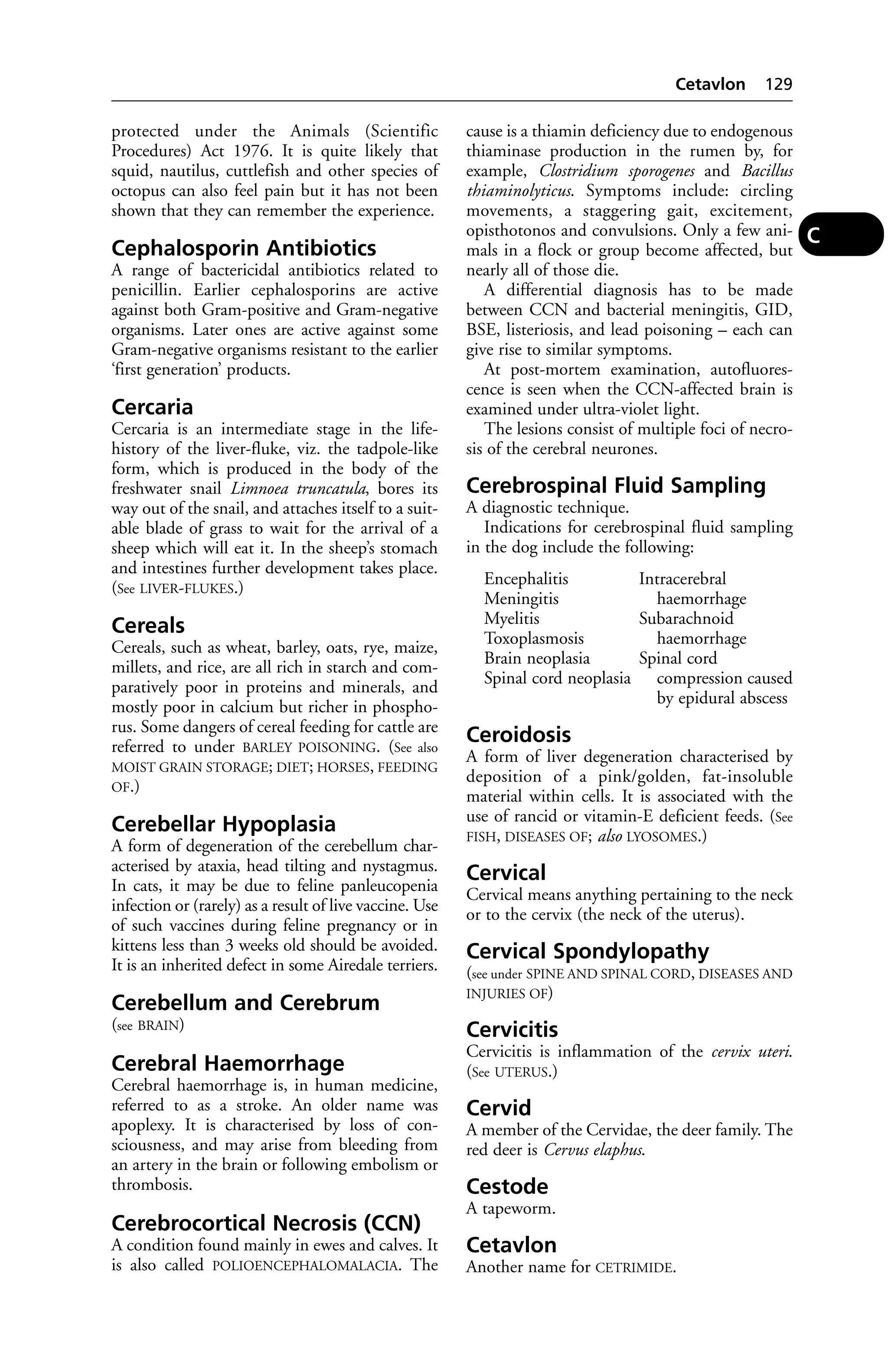 protected under the Animals (Scientific 
Procedures) Act 1976. It is quite likely that 
squid, nautilus, cuttlefish and other species of 
octopus can also feel pain but it has not been 
shown that they can remember the experience. 
Cephalosporin Antibiotics 
A range of bactericidal antibiotics related to 
penicillin. Earlier cephalosporins are active 
against both Gram-positive and Gram-negative 
organisms. Later ones are active against some 
Gram-negative organisms resistant to the earlier 
‘first generation’ products. 
Cercaria 
Cercaria is an intermediate stage in the life-history 
of the liver-fluke, viz. the tadpole-like 
form, which is produced in the body of the 
freshwater snail Limnoea truncatula, bores its 
way out of the snail, and attaches itself to a suit-able 
blade of grass to wait for the arrival of a 
sheep which will eat it. In the sheep’s stomach 
and intestines further development takes place. 
(See LIVER-FLUKES.) 
Cereals 
Cereals, such as wheat, barley, oats, rye, maize, 
millets, and rice, are all rich in starch and com-paratively 
poor in proteins and minerals, and 
mostly poor in calcium but richer in phospho-rus. 
Some dangers of cereal feeding for cattle are 
referred to under BARLEY POISONING. (See also 
MOIST GRAIN STORAGE; DIET; HORSES, FEEDING 
OF.) 
Cerebellar Hypoplasia 
A form of degeneration of the cerebellum char-acterised 
by ataxia, head tilting and nystagmus. 
In cats, it may be due to feline panleucopenia 
infection or (rarely) as a result of live vaccine. Use 
of such vaccines during feline pregnancy or in 
kittens less than 3 weeks old should be avoided. 
It is an inherited defect in some Airedale terriers. 
Cerebellum and Cerebrum 
(see BRAIN) 
Cerebral Haemorrhage 
Cerebral haemorrhage is, in human medicine, 
referred to as a stroke. An older name was 
apoplexy. It is characterised by loss of con-sciousness, 
and may arise from bleeding from 
an artery in the brain or following embolism or 
thrombosis. 
Cerebrocortical Necrosis (CCN) 
A condition found mainly in ewes and calves. It 
is also called POLIOENCEPHALOMALACIA. The 
Cetavlon 129 
cause is a thiamin deficiency due to endogenous 
thiaminase production in the rumen by, for 
example, Clostridium sporogenes and Bacillus 
thiaminolyticus. Symptoms include: circling 
movements, a staggering gait, excitement, 
opisthotonos and convulsions. Only a few ani-mals 
in a flock or group become affected, but 
nearly all of those die. 
A differential diagnosis has to be made 
between CCN and bacterial meningitis, GID, 
BSE, listeriosis, and lead poisoning – each can 
give rise to similar symptoms. 
At post-mortem examination, autofluores-cence 
is seen when the CCN-affected brain is 
examined under ultra-violet light. 
The lesions consist of multiple foci of necro-sis 
of the cerebral neurones. 
Cerebrospinal Fluid Sampling 
A diagnostic technique. 
Indications for cerebrospinal fluid sampling 
in the dog include the following: 
Encephalitis Intracerebral 
Meningitis haemorrhage 
Myelitis Subarachnoid 
Toxoplasmosis haemorrhage 
Brain neoplasia Spinal cord 
Spinal cord neoplasia compression caused 
by epidural abscess 
Ceroidosis 
A form of liver degeneration characterised by 
deposition of a pink/golden, fat-insoluble 
material within cells. It is associated with the 
use of rancid or vitamin-E deficient feeds. (See 
FISH, DISEASES OF; also LYOSOMES.) 
Cervical 
Cervical means anything pertaining to the neck 
or to the cervix (the neck of the uterus). 
Cervical Spondylopathy 
(see under SPINE AND SPINAL CORD, DISEASES AND 
INJURIES OF) 
Cervicitis 
Cervicitis is inflammation of the cervix uteri. 
(See UTERUS.) 
Cervid 
A member of the Cervidae, the deer family. The 
red deer is Cervus elaphus. 
Cestode 
A tapeworm. 
Cetavlon 
Another name for CETRIMIDE. 
C 
 