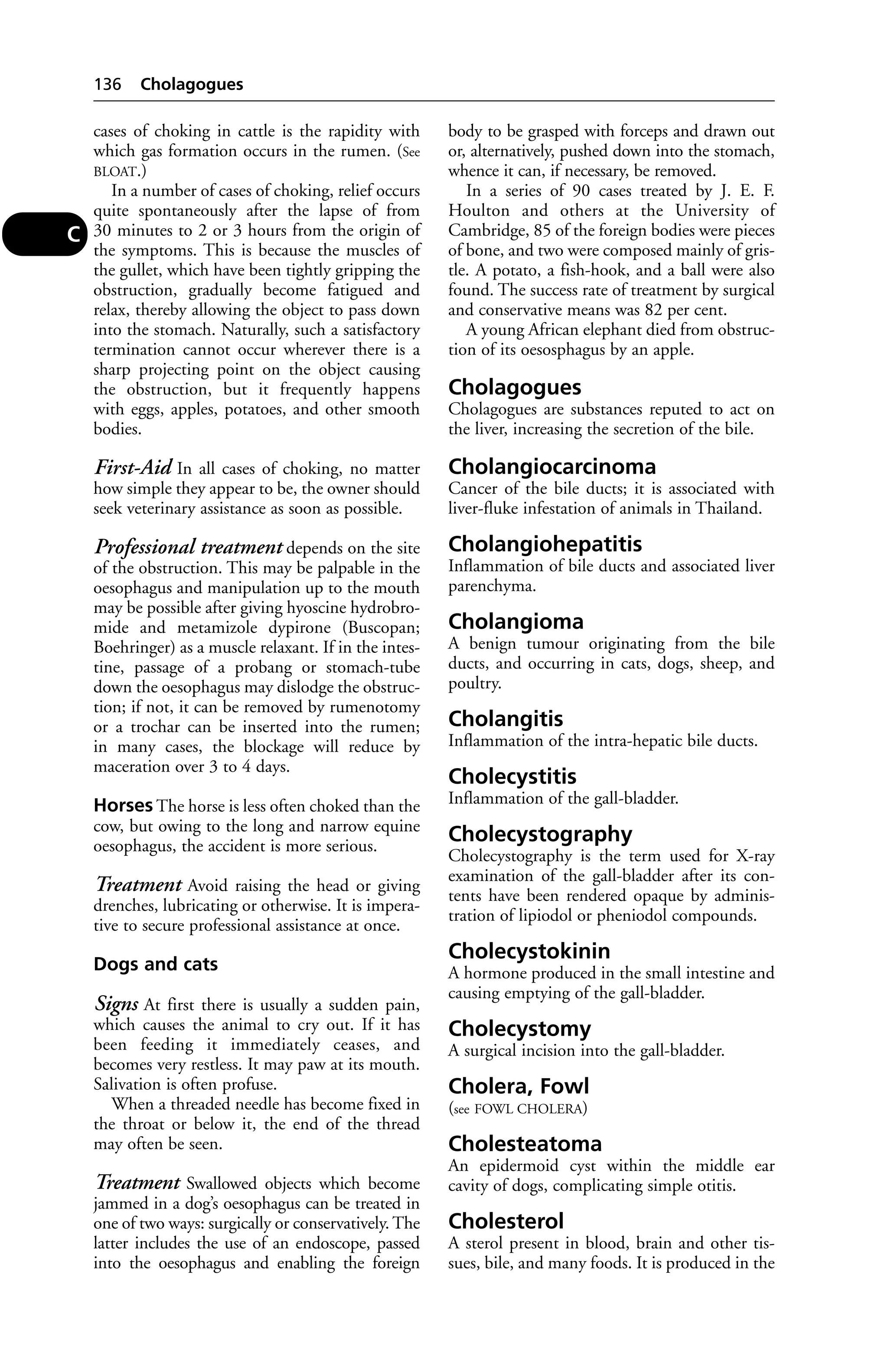 cases of choking in cattle is the rapidity with 
which gas formation occurs in the rumen. (See 
BLOAT.) 
In a number of cases of choking, relief occurs 
quite spontaneously after the lapse of from 
30 minutes to 2 or 3 hours from the origin of 
the symptoms. This is because the muscles of 
the gullet, which have been tightly gripping the 
obstruction, gradually become fatigued and 
relax, thereby allowing the object to pass down 
into the stomach. Naturally, such a satisfactory 
termination cannot occur wherever there is a 
sharp projecting point on the object causing 
the obstruction, but it frequently happens 
with eggs, apples, potatoes, and other smooth 
bodies. 
First-Aid In all cases of choking, no matter 
how simple they appear to be, the owner should 
seek veterinary assistance as soon as possible. 
Professional treatment depends on the site 
of the obstruction. This may be palpable in the 
oesophagus and manipulation up to the mouth 
may be possible after giving hyoscine hydrobro-mide 
and metamizole dypirone (Buscopan; 
Boehringer) as a muscle relaxant. If in the intes-tine, 
passage of a probang or stomach-tube 
down the oesophagus may dislodge the obstruc-tion; 
if not, it can be removed by rumenotomy 
or a trochar can be inserted into the rumen; 
in many cases, the blockage will reduce by 
maceration over 3 to 4 days. 
Horses The horse is less often choked than the 
cow, but owing to the long and narrow equine 
oesophagus, the accident is more serious. 
Treatment Avoid raising the head or giving 
drenches, lubricating or otherwise. It is impera-tive 
to secure professional assistance at once. 
Dogs and cats 
Signs At first there is usually a sudden pain, 
which causes the animal to cry out. If it has 
been feeding it immediately ceases, and 
becomes very restless. It may paw at its mouth. 
Salivation is often profuse. 
When a threaded needle has become fixed in 
the throat or below it, the end of the thread 
may often be seen. 
Treatment Swallowed objects which become 
jammed in a dog’s oesophagus can be treated in 
one of two ways: surgically or conservatively. The 
latter includes the use of an endoscope, passed 
into the oesophagus and enabling the foreign 
body to be grasped with forceps and drawn out 
or, alternatively, pushed down into the stomach, 
whence it can, if necessary, be removed. 
In a series of 90 cases treated by J. E. F. 
Houlton and others at the University of 
Cambridge, 85 of the foreign bodies were pieces 
of bone, and two were composed mainly of gris-tle. 
A potato, a fish-hook, and a ball were also 
found. The success rate of treatment by surgical 
and conservative means was 82 per cent. 
A young African elephant died from obstruc-tion 
of its oesosphagus by an apple. 
Cholagogues 
Cholagogues are substances reputed to act on 
the liver, increasing the secretion of the bile. 
Cholangiocarcinoma 
Cancer of the bile ducts; it is associated with 
liver-fluke infestation of animals in Thailand. 
Cholangiohepatitis 
Inflammation of bile ducts and associated liver 
parenchyma. 
Cholangioma 
A benign tumour originating from the bile 
ducts, and occurring in cats, dogs, sheep, and 
poultry. 
Cholangitis 
Inflammation of the intra-hepatic bile ducts. 
Cholecystitis 
Inflammation of the gall-bladder. 
Cholecystography 
Cholecystography is the term used for X-ray 
examination of the gall-bladder after its con-tents 
have been rendered opaque by adminis-tration 
of lipiodol or pheniodol compounds. 
Cholecystokinin 
A hormone produced in the small intestine and 
causing emptying of the gall-bladder. 
Cholecystomy 
A surgical incision into the gall-bladder. 
Cholera, Fowl 
(see FOWL CHOLERA) 
Cholesteatoma 
An epidermoid cyst within the middle ear 
cavity of dogs, complicating simple otitis. 
Cholesterol 
A sterol present in blood, brain and other tis-sues, 
bile, and many foods. It is produced in the 
136 Cholagogues 
C 
 