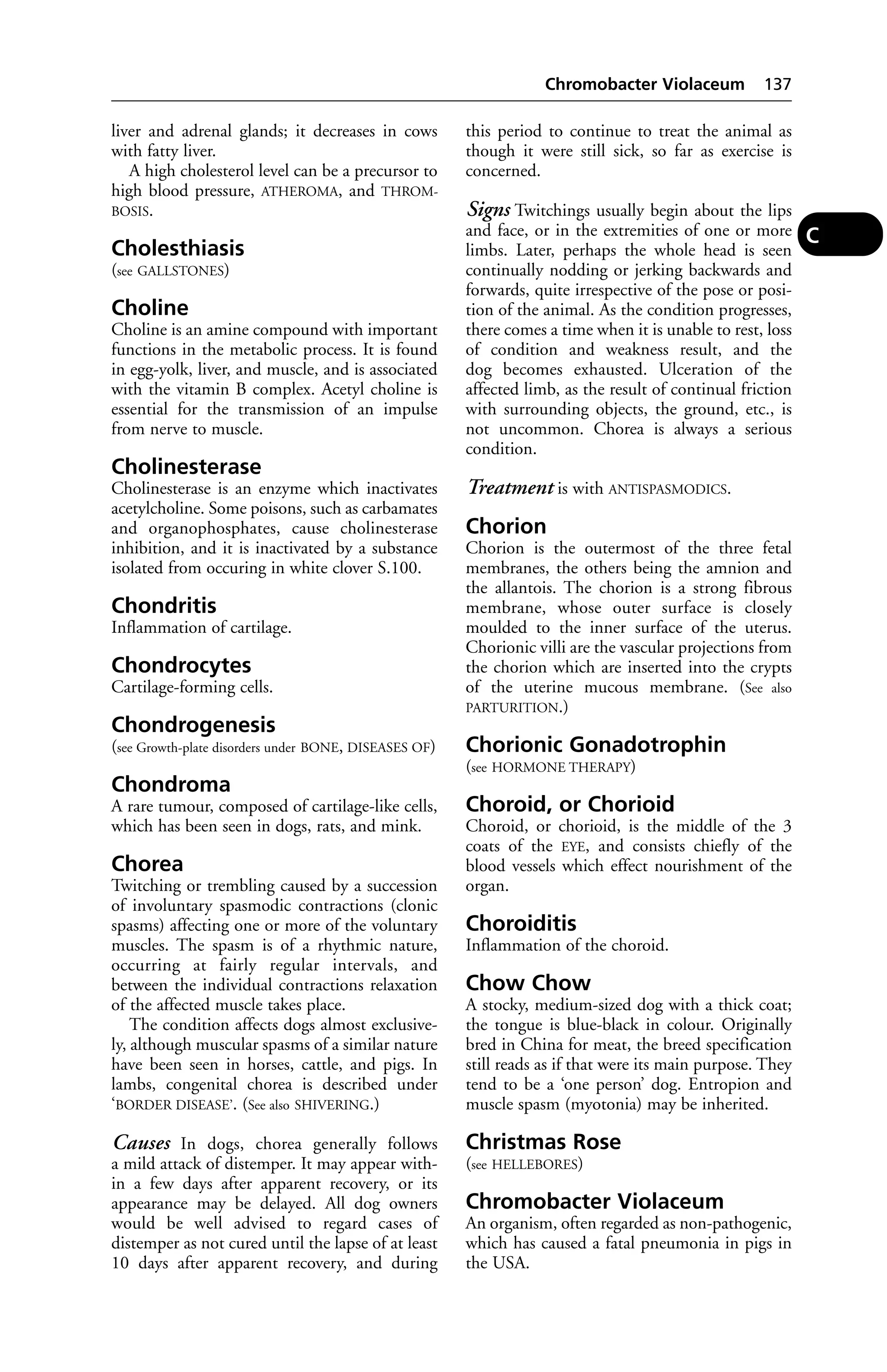 liver and adrenal glands; it decreases in cows 
with fatty liver. 
A high cholesterol level can be a precursor to 
high blood pressure, ATHEROMA, and THROM-BOSIS. 
Cholesthiasis 
(see GALLSTONES) 
Choline 
Choline is an amine compound with important 
functions in the metabolic process. It is found 
in egg-yolk, liver, and muscle, and is associated 
with the vitamin B complex. Acetyl choline is 
essential for the transmission of an impulse 
from nerve to muscle. 
Cholinesterase 
Cholinesterase is an enzyme which inactivates 
acetylcholine. Some poisons, such as carbamates 
and organophosphates, cause cholinesterase 
inhibition, and it is inactivated by a substance 
isolated from occuring in white clover S.100. 
Chondritis 
Inflammation of cartilage. 
Chondrocytes 
Cartilage-forming cells. 
Chondrogenesis 
(see Growth-plate disorders under BONE, DISEASES OF) 
Chondroma 
A rare tumour, composed of cartilage-like cells, 
which has been seen in dogs, rats, and mink. 
Chorea 
Twitching or trembling caused by a succession 
of involuntary spasmodic contractions (clonic 
spasms) affecting one or more of the voluntary 
muscles. The spasm is of a rhythmic nature, 
occurring at fairly regular intervals, and 
between the individual contractions relaxation 
of the affected muscle takes place. 
The condition affects dogs almost exclusive-ly, 
although muscular spasms of a similar nature 
have been seen in horses, cattle, and pigs. In 
lambs, congenital chorea is described under 
‘BORDER DISEASE’. (See also SHIVERING.) 
Causes In dogs, chorea generally follows 
a mild attack of distemper. It may appear with-in 
a few days after apparent recovery, or its 
appearance may be delayed. All dog owners 
would be well advised to regard cases of 
distemper as not cured until the lapse of at least 
10 days after apparent recovery, and during 
Chromobacter Violaceum 137 
this period to continue to treat the animal as 
though it were still sick, so far as exercise is 
concerned. 
Signs Twitchings usually begin about the lips 
and face, or in the extremities of one or more 
limbs. Later, perhaps the whole head is seen 
continually nodding or jerking backwards and 
forwards, quite irrespective of the pose or posi-tion 
of the animal. As the condition progresses, 
there comes a time when it is unable to rest, loss 
of condition and weakness result, and the 
dog becomes exhausted. Ulceration of the 
affected limb, as the result of continual friction 
with surrounding objects, the ground, etc., is 
not uncommon. Chorea is always a serious 
condition. 
Treatment is with ANTISPASMODICS. 
Chorion 
Chorion is the outermost of the three fetal 
membranes, the others being the amnion and 
the allantois. The chorion is a strong fibrous 
membrane, whose outer surface is closely 
moulded to the inner surface of the uterus. 
Chorionic villi are the vascular projections from 
the chorion which are inserted into the crypts 
of the uterine mucous membrane. (See also 
PARTURITION.) 
Chorionic Gonadotrophin 
(see HORMONE THERAPY) 
Choroid, or Chorioid 
Choroid, or chorioid, is the middle of the 3 
coats of the EYE, and consists chiefly of the 
blood vessels which effect nourishment of the 
organ. 
Choroiditis 
Inflammation of the choroid. 
Chow Chow 
A stocky, medium-sized dog with a thick coat; 
the tongue is blue-black in colour. Originally 
bred in China for meat, the breed specification 
still reads as if that were its main purpose. They 
tend to be a ‘one person’ dog. Entropion and 
muscle spasm (myotonia) may be inherited. 
Christmas Rose 
(see HELLEBORES) 
Chromobacter Violaceum 
An organism, often regarded as non-pathogenic, 
which has caused a fatal pneumonia in pigs in 
the USA. 
C 
 
