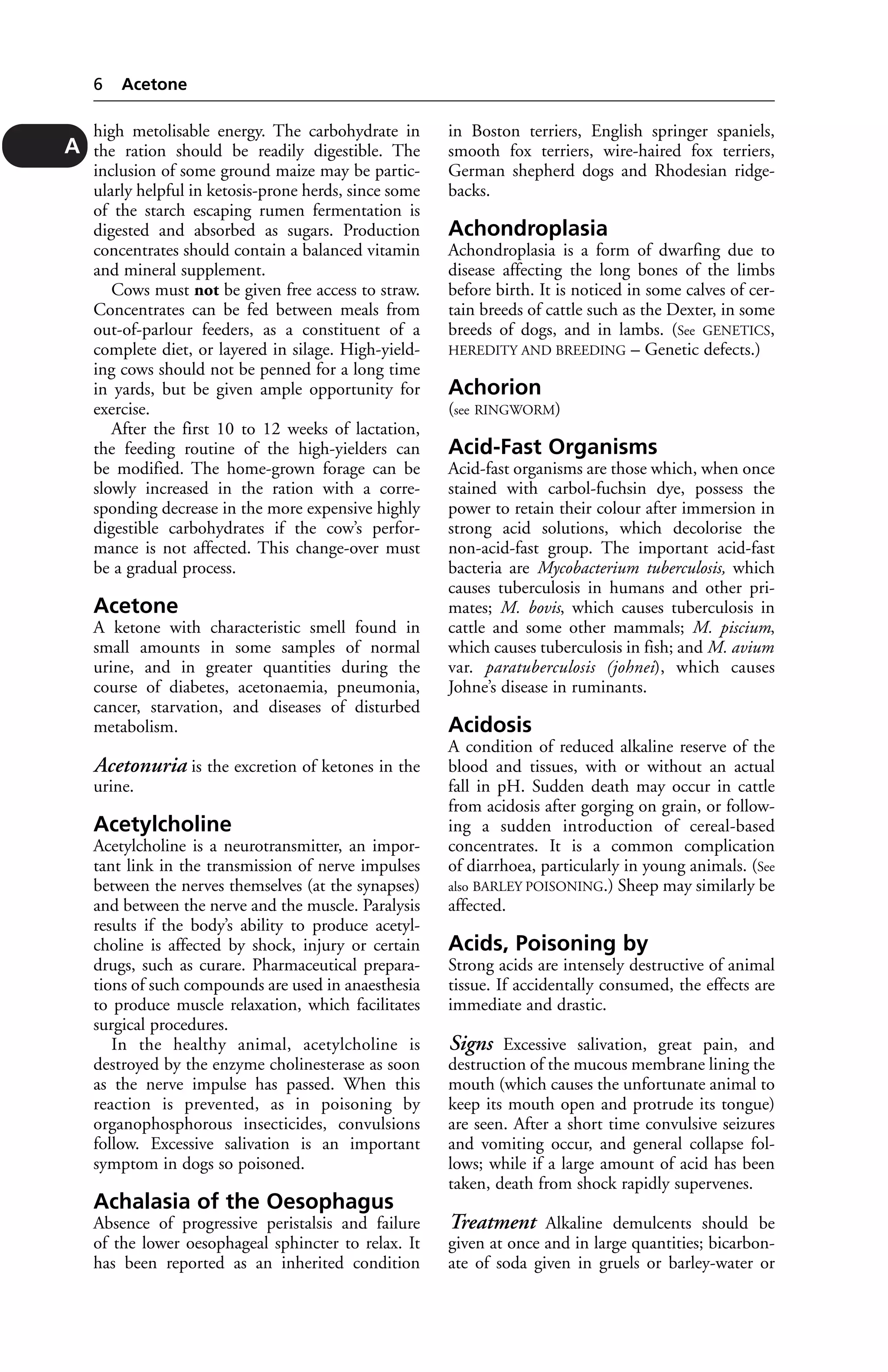 high metolisable energy. The carbohydrate in 
the ration should be readily digestible. The 
inclusion of some ground maize may be partic-ularly 
helpful in ketosis-prone herds, since some 
of the starch escaping rumen fermentation is 
digested and absorbed as sugars. Production 
concentrates should contain a balanced vitamin 
and mineral supplement. 
Cows must not be given free access to straw. 
Concentrates can be fed between meals from 
out-of-parlour feeders, as a constituent of a 
complete diet, or layered in silage. High-yield-ing 
cows should not be penned for a long time 
in yards, but be given ample opportunity for 
exercise. 
After the first 10 to 12 weeks of lactation, 
the feeding routine of the high-yielders can 
be modified. The home-grown forage can be 
slowly increased in the ration with a corre-sponding 
decrease in the more expensive highly 
digestible carbohydrates if the cow’s perfor-mance 
is not affected. This change-over must 
be a gradual process. 
Acetone 
A ketone with characteristic smell found in 
small amounts in some samples of normal 
urine, and in greater quantities during the 
course of diabetes, acetonaemia, pneumonia, 
cancer, starvation, and diseases of disturbed 
metabolism. 
Acetonuria is the excretion of ketones in the 
urine. 
Acetylcholine 
Acetylcholine is a neurotransmitter, an impor-tant 
link in the transmission of nerve impulses 
between the nerves themselves (at the synapses) 
and between the nerve and the muscle. Paralysis 
results if the body’s ability to produce acetyl-choline 
is affected by shock, injury or certain 
drugs, such as curare. Pharmaceutical prepara-tions 
of such compounds are used in anaesthesia 
to produce muscle relaxation, which facilitates 
surgical procedures. 
In the healthy animal, acetylcholine is 
destroyed by the enzyme cholinesterase as soon 
as the nerve impulse has passed. When this 
reaction is prevented, as in poisoning by 
organophosphorous insecticides, convulsions 
follow. Excessive salivation is an important 
symptom in dogs so poisoned. 
Achalasia of the Oesophagus 
Absence of progressive peristalsis and failure 
of the lower oesophageal sphincter to relax. It 
has been reported as an inherited condition 
in Boston terriers, English springer spaniels, 
smooth fox terriers, wire-haired fox terriers, 
German shepherd dogs and Rhodesian ridge-backs. 
Achondroplasia 
Achondroplasia is a form of dwarfing due to 
disease affecting the long bones of the limbs 
before birth. It is noticed in some calves of cer-tain 
breeds of cattle such as the Dexter, in some 
breeds of dogs, and in lambs. (See GENETICS, 
HEREDITY AND BREEDING – Genetic defects.) 
Achorion 
(see RINGWORM) 
Acid-Fast Organisms 
Acid-fast organisms are those which, when once 
stained with carbol-fuchsin dye, possess the 
power to retain their colour after immersion in 
strong acid solutions, which decolorise the 
non-acid-fast group. The important acid-fast 
bacteria are Mycobacterium tuberculosis, which 
causes tuberculosis in humans and other pri-mates; 
M. bovis, which causes tuberculosis in 
cattle and some other mammals; M. piscium, 
which causes tuberculosis in fish; and M. avium 
var. paratuberculosis (johnei), which causes 
Johne’s disease in ruminants. 
Acidosis 
A condition of reduced alkaline reserve of the 
blood and tissues, with or without an actual 
fall in pH. Sudden death may occur in cattle 
from acidosis after gorging on grain, or follow-ing 
a sudden introduction of cereal-based 
concentrates. It is a common complication 
of diarrhoea, particularly in young animals. (See 
also BARLEY POISONING.) Sheep may similarly be 
affected. 
Acids, Poisoning by 
Strong acids are intensely destructive of animal 
tissue. If accidentally consumed, the effects are 
immediate and drastic. 
Signs Excessive salivation, great pain, and 
destruction of the mucous membrane lining the 
mouth (which causes the unfortunate animal to 
keep its mouth open and protrude its tongue) 
are seen. After a short time convulsive seizures 
and vomiting occur, and general collapse fol-lows; 
while if a large amount of acid has been 
taken, death from shock rapidly supervenes. 
Treatment Alkaline demulcents should be 
given at once and in large quantities; bicarbon-ate 
of soda given in gruels or barley-water or 
6 Acetone 
A 
 