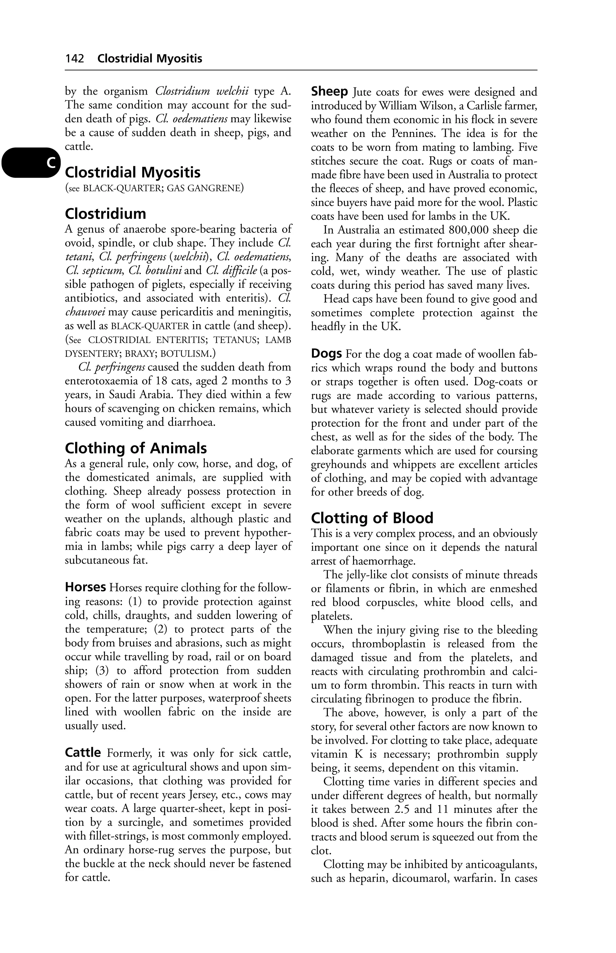 by the organism Clostridium welchii type A. 
The same condition may account for the sud-den 
death of pigs. Cl. oedematiens may likewise 
be a cause of sudden death in sheep, pigs, and 
cattle. 
Clostridial Myositis 
(see BLACK-QUARTER; GAS GANGRENE) 
Clostridium 
A genus of anaerobe spore-bearing bacteria of 
ovoid, spindle, or club shape. They include Cl. 
tetani, Cl. perfringens (welchii), Cl. oedematiens, 
Cl. septicum, Cl. botulini and Cl. difficile (a pos-sible 
pathogen of piglets, especially if receiving 
antibiotics, and associated with enteritis). Cl. 
chauvoei may cause pericarditis and meningitis, 
as well as BLACK-QUARTER in cattle (and sheep). 
(See CLOSTRIDIAL ENTERITIS; TETANUS; LAMB 
DYSENTERY; BRAXY; BOTULISM.) 
Cl. perfringens caused the sudden death from 
enterotoxaemia of 18 cats, aged 2 months to 3 
years, in Saudi Arabia. They died within a few 
hours of scavenging on chicken remains, which 
caused vomiting and diarrhoea. 
Clothing of Animals 
As a general rule, only cow, horse, and dog, of 
the domesticated animals, are supplied with 
clothing. Sheep already possess protection in 
the form of wool sufficient except in severe 
weather on the uplands, although plastic and 
fabric coats may be used to prevent hypother-mia 
in lambs; while pigs carry a deep layer of 
subcutaneous fat. 
Horses Horses require clothing for the follow-ing 
reasons: (1) to provide protection against 
cold, chills, draughts, and sudden lowering of 
the temperature; (2) to protect parts of the 
body from bruises and abrasions, such as might 
occur while travelling by road, rail or on board 
ship; (3) to afford protection from sudden 
showers of rain or snow when at work in the 
open. For the latter purposes, waterproof sheets 
lined with woollen fabric on the inside are 
usually used. 
Cattle Formerly, it was only for sick cattle, 
and for use at agricultural shows and upon sim-ilar 
occasions, that clothing was provided for 
cattle, but of recent years Jersey, etc., cows may 
wear coats. A large quarter-sheet, kept in posi-tion 
by a surcingle, and sometimes provided 
with fillet-strings, is most commonly employed. 
An ordinary horse-rug serves the purpose, but 
the buckle at the neck should never be fastened 
for cattle. 
Sheep Jute coats for ewes were designed and 
introduced by William Wilson, a Carlisle farmer, 
who found them economic in his flock in severe 
weather on the Pennines. The idea is for the 
coats to be worn from mating to lambing. Five 
stitches secure the coat. Rugs or coats of man-made 
fibre have been used in Australia to protect 
the fleeces of sheep, and have proved economic, 
since buyers have paid more for the wool. Plastic 
coats have been used for lambs in the UK. 
In Australia an estimated 800,000 sheep die 
each year during the first fortnight after shear-ing. 
Many of the deaths are associated with 
cold, wet, windy weather. The use of plastic 
coats during this period has saved many lives. 
Head caps have been found to give good and 
sometimes complete protection against the 
headfly in the UK. 
Dogs For the dog a coat made of woollen fab-rics 
which wraps round the body and buttons 
or straps together is often used. Dog-coats or 
rugs are made according to various patterns, 
but whatever variety is selected should provide 
protection for the front and under part of the 
chest, as well as for the sides of the body. The 
elaborate garments which are used for coursing 
greyhounds and whippets are excellent articles 
of clothing, and may be copied with advantage 
for other breeds of dog. 
Clotting of Blood 
This is a very complex process, and an obviously 
important one since on it depends the natural 
arrest of haemorrhage. 
The jelly-like clot consists of minute threads 
or filaments or fibrin, in which are enmeshed 
red blood corpuscles, white blood cells, and 
platelets. 
When the injury giving rise to the bleeding 
occurs, thromboplastin is released from the 
damaged tissue and from the platelets, and 
reacts with circulating prothrombin and calci-um 
to form thrombin. This reacts in turn with 
circulating fibrinogen to produce the fibrin. 
The above, however, is only a part of the 
story, for several other factors are now known to 
be involved. For clotting to take place, adequate 
vitamin K is necessary; prothrombin supply 
being, it seems, dependent on this vitamin. 
Clotting time varies in different species and 
under different degrees of health, but normally 
it takes between 2.5 and 11 minutes after the 
blood is shed. After some hours the fibrin con-tracts 
and blood serum is squeezed out from the 
clot. 
Clotting may be inhibited by anticoagulants, 
such as heparin, dicoumarol, warfarin. In cases 
142 Clostridial Myositis 
C 
 