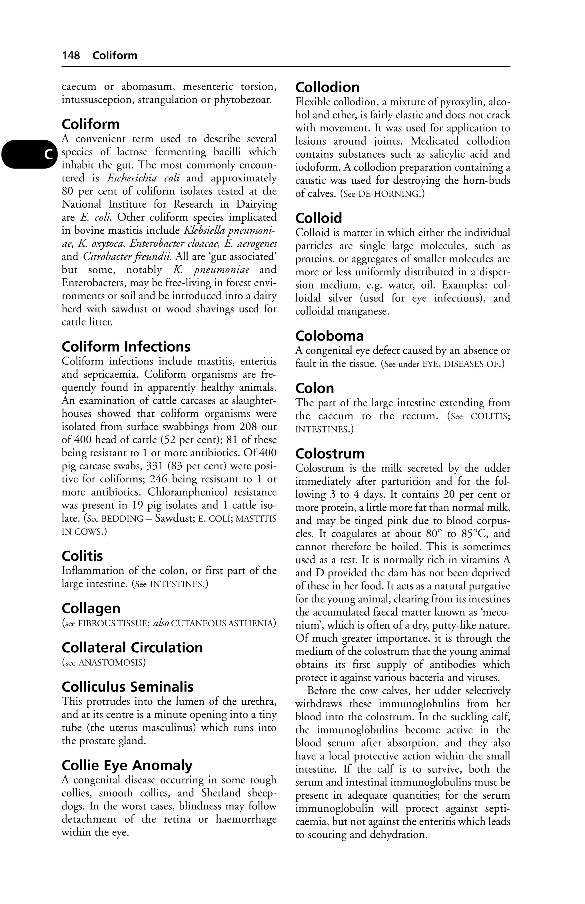 caecum or abomasum, mesenteric torsion, 
intussusception, strangulation or phytobezoar. 
Coliform 
A convenient term used to describe several 
species of lactose fermenting bacilli which 
inhabit the gut. The most commonly encoun-tered 
is Escherichia coli and approximately 
80 per cent of coliform isolates tested at the 
National Institute for Research in Dairying 
are E. coli. Other coliform species implicated 
in bovine mastitis include Klebsiella pneumoni-ae, 
K. oxytoca, Enterobacter cloacae, E. aerogenes 
and Citrobacter freundii. All are ‘gut associated’ 
but some, notably K. pneumoniae and 
Enterobacters, may be free-living in forest envi-ronments 
or soil and be introduced into a dairy 
herd with sawdust or wood shavings used for 
cattle litter. 
Coliform Infections 
Coliform infections include mastitis, enteritis 
and septicaemia. Coliform organisms are fre-quently 
found in apparently healthy animals. 
An examination of cattle carcases at slaughter-houses 
showed that coliform organisms were 
isolated from surface swabbings from 208 out 
of 400 head of cattle (52 per cent); 81 of these 
being resistant to 1 or more antibiotics. Of 400 
pig carcase swabs, 331 (83 per cent) were posi-tive 
for coliforms; 246 being resistant to 1 or 
more antibiotics. Chloramphenicol resistance 
was present in 19 pig isolates and 1 cattle iso-late. 
(See BEDDING – Sawdust; E. COLI; MASTITIS 
IN COWS.) 
Colitis 
Inflammation of the colon, or first part of the 
large intestine. (See INTESTINES.) 
Collagen 
(see FIBROUS TISSUE; also CUTANEOUS ASTHENIA) 
Collateral Circulation 
(see ANASTOMOSIS) 
Colliculus Seminalis 
This protrudes into the lumen of the urethra, 
and at its centre is a minute opening into a tiny 
tube (the uterus masculinus) which runs into 
the prostate gland. 
Collie Eye Anomaly 
A congenital disease occurring in some rough 
collies, smooth collies, and Shetland sheep-dogs. 
In the worst cases, blindness may follow 
detachment of the retina or haemorrhage 
within the eye. 
Collodion 
Flexible collodion, a mixture of pyroxylin, alco-hol 
and ether, is fairly elastic and does not crack 
with movement. It was used for application to 
lesions around joints. Medicated collodion 
contains substances such as salicylic acid and 
iodoform. A collodion preparation containing a 
caustic was used for destroying the horn-buds 
of calves. (See DE-HORNING.) 
Colloid 
Colloid is matter in which either the individual 
particles are single large molecules, such as 
proteins, or aggregates of smaller molecules are 
more or less uniformly distributed in a disper-sion 
medium, e.g. water, oil. Examples: col-loidal 
silver (used for eye infections), and 
colloidal manganese. 
Coloboma 
A congenital eye defect caused by an absence or 
fault in the tissue. (See under EYE, DISEASES OF.) 
Colon 
The part of the large intestine extending from 
the caecum to the rectum. (See COLITIS; 
INTESTINES.) 
Colostrum 
Colostrum is the milk secreted by the udder 
immediately after parturition and for the fol-lowing 
3 to 4 days. It contains 20 per cent or 
more protein, a little more fat than normal milk, 
and may be tinged pink due to blood corpus-cles. 
It coagulates at about 80° to 85°C, and 
cannot therefore be boiled. This is sometimes 
used as a test. It is normally rich in vitamins A 
and D provided the dam has not been deprived 
of these in her food. It acts as a natural purgative 
for the young animal, clearing from its intestines 
the accumulated faecal matter known as ‘meco-nium’, 
which is often of a dry, putty-like nature. 
Of much greater importance, it is through the 
medium of the colostrum that the young animal 
obtains its first supply of antibodies which 
protect it against various bacteria and viruses. 
Before the cow calves, her udder selectively 
withdraws these immunoglobulins from her 
blood into the colostrum. In the suckling calf, 
the immunoglobulins become active in the 
blood serum after absorption, and they also 
have a local protective action within the small 
intestine. If the calf is to survive, both the 
serum and intestinal immunoglobulins must be 
present in adequate quantities; for the serum 
immunoglobulin will protect against septi-caemia, 
but not against the enteritis which leads 
to scouring and dehydration. 
148 Coliform 
C 
 
