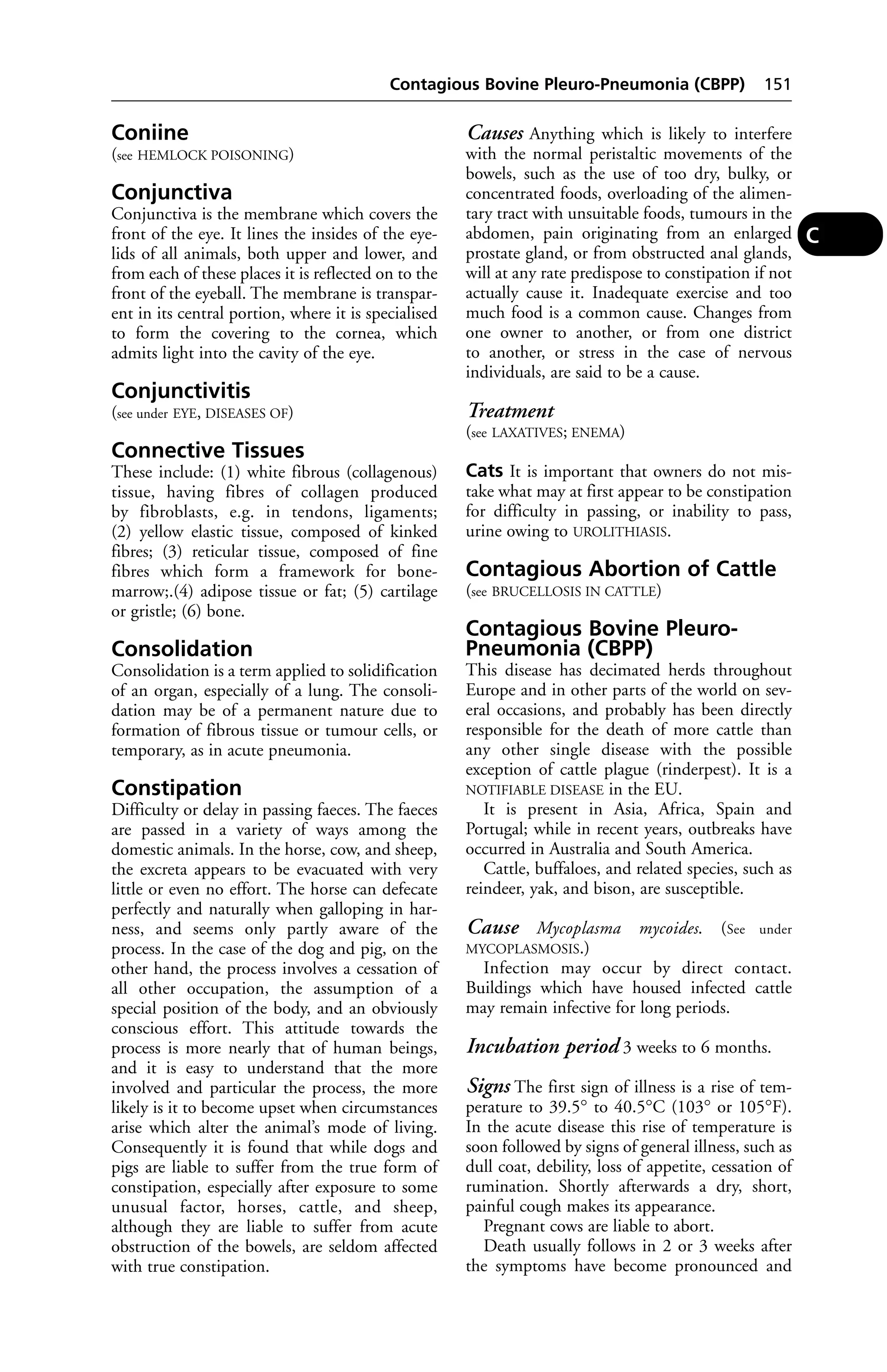 Contagious Bovine Pleuro-Pneumonia (CBPP) 151 
Coniine 
(see HEMLOCK POISONING) 
Conjunctiva 
Conjunctiva is the membrane which covers the 
front of the eye. It lines the insides of the eye-lids 
of all animals, both upper and lower, and 
from each of these places it is reflected on to the 
front of the eyeball. The membrane is transpar-ent 
in its central portion, where it is specialised 
to form the covering to the cornea, which 
admits light into the cavity of the eye. 
Conjunctivitis 
(see under EYE, DISEASES OF) 
Connective Tissues 
These include: (1) white fibrous (collagenous) 
tissue, having fibres of collagen produced 
by fibroblasts, e.g. in tendons, ligaments; 
(2) yellow elastic tissue, composed of kinked 
fibres; (3) reticular tissue, composed of fine 
fibres which form a framework for bone-marrow;.( 
4) adipose tissue or fat; (5) cartilage 
or gristle; (6) bone. 
Consolidation 
Consolidation is a term applied to solidification 
of an organ, especially of a lung. The consoli-dation 
may be of a permanent nature due to 
formation of fibrous tissue or tumour cells, or 
temporary, as in acute pneumonia. 
Constipation 
Difficulty or delay in passing faeces. The faeces 
are passed in a variety of ways among the 
domestic animals. In the horse, cow, and sheep, 
the excreta appears to be evacuated with very 
little or even no effort. The horse can defecate 
perfectly and naturally when galloping in har-ness, 
and seems only partly aware of the 
process. In the case of the dog and pig, on the 
other hand, the process involves a cessation of 
all other occupation, the assumption of a 
special position of the body, and an obviously 
conscious effort. This attitude towards the 
process is more nearly that of human beings, 
and it is easy to understand that the more 
involved and particular the process, the more 
likely is it to become upset when circumstances 
arise which alter the animal’s mode of living. 
Consequently it is found that while dogs and 
pigs are liable to suffer from the true form of 
constipation, especially after exposure to some 
unusual factor, horses, cattle, and sheep, 
although they are liable to suffer from acute 
obstruction of the bowels, are seldom affected 
with true constipation. 
Causes Anything which is likely to interfere 
with the normal peristaltic movements of the 
bowels, such as the use of too dry, bulky, or 
concentrated foods, overloading of the alimen-tary 
tract with unsuitable foods, tumours in the 
abdomen, pain originating from an enlarged 
prostate gland, or from obstructed anal glands, 
will at any rate predispose to constipation if not 
actually cause it. Inadequate exercise and too 
much food is a common cause. Changes from 
one owner to another, or from one district 
to another, or stress in the case of nervous 
individuals, are said to be a cause. 
Treatment 
(see LAXATIVES; ENEMA) 
Cats It is important that owners do not mis-take 
what may at first appear to be constipation 
for difficulty in passing, or inability to pass, 
urine owing to UROLITHIASIS. 
Contagious Abortion of Cattle 
(see BRUCELLOSIS IN CATTLE) 
Contagious Bovine Pleuro- 
Pneumonia (CBPP) 
This disease has decimated herds throughout 
Europe and in other parts of the world on sev-eral 
occasions, and probably has been directly 
responsible for the death of more cattle than 
any other single disease with the possible 
exception of cattle plague (rinderpest). It is a 
NOTIFIABLE DISEASE in the EU. 
It is present in Asia, Africa, Spain and 
Portugal; while in recent years, outbreaks have 
occurred in Australia and South America. 
Cattle, buffaloes, and related species, such as 
reindeer, yak, and bison, are susceptible. 
Cause Mycoplasma mycoides. (See under 
MYCOPLASMOSIS.) 
Infection may occur by direct contact. 
Buildings which have housed infected cattle 
may remain infective for long periods. 
Incubation period 3 weeks to 6 months. 
Signs The first sign of illness is a rise of tem-perature 
to 39.5° to 40.5°C (103° or 105°F). 
In the acute disease this rise of temperature is 
soon followed by signs of general illness, such as 
dull coat, debility, loss of appetite, cessation of 
rumination. Shortly afterwards a dry, short, 
painful cough makes its appearance. 
Pregnant cows are liable to abort. 
Death usually follows in 2 or 3 weeks after 
the symptoms have become pronounced and 
C 
 