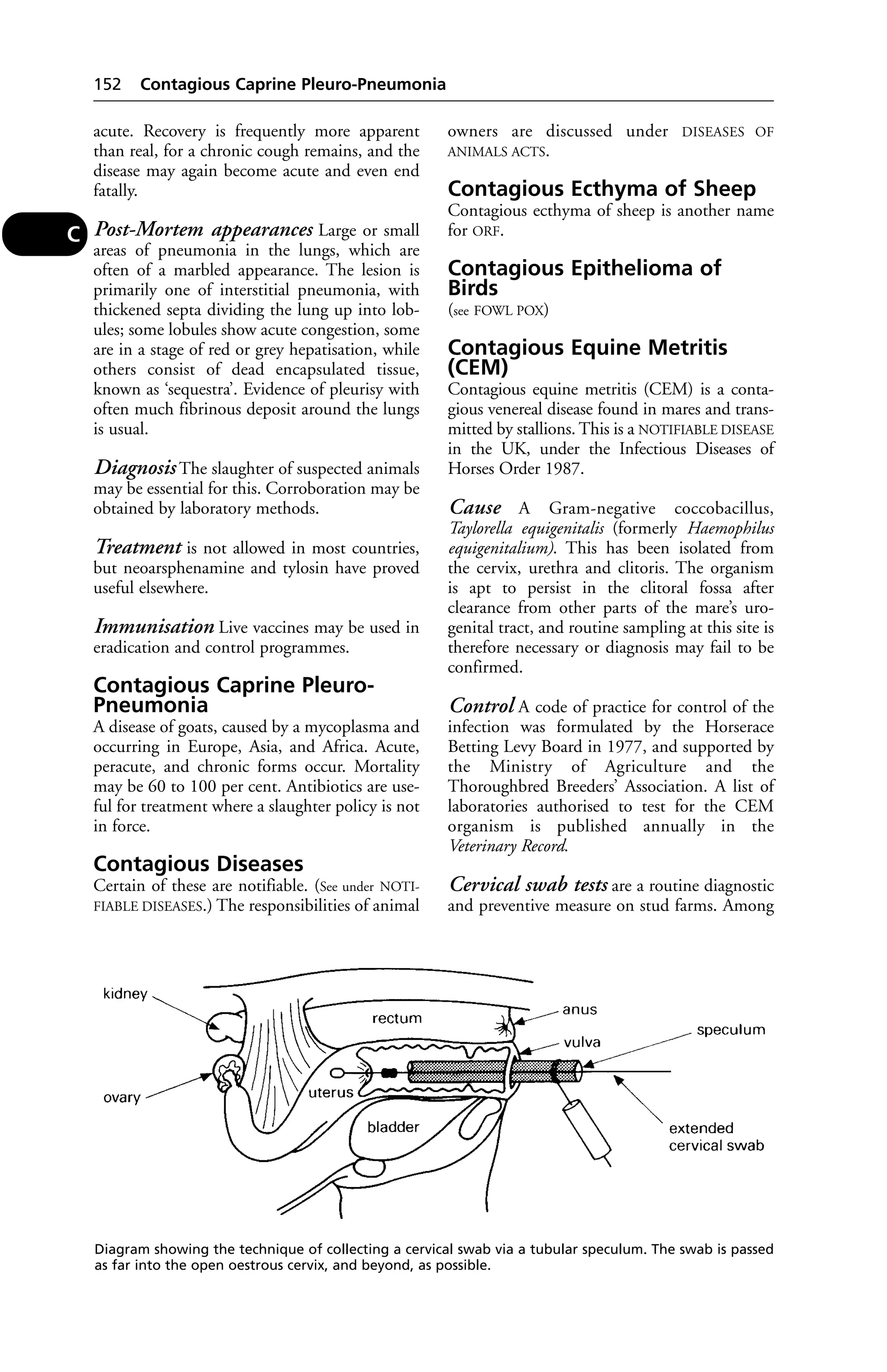 acute. Recovery is frequently more apparent 
than real, for a chronic cough remains, and the 
disease may again become acute and even end 
fatally. 
Post-Mortem appearances Large or small 
areas of pneumonia in the lungs, which are 
often of a marbled appearance. The lesion is 
primarily one of interstitial pneumonia, with 
thickened septa dividing the lung up into lob-ules; 
some lobules show acute congestion, some 
are in a stage of red or grey hepatisation, while 
others consist of dead encapsulated tissue, 
known as ‘sequestra’. Evidence of pleurisy with 
often much fibrinous deposit around the lungs 
is usual. 
Diagnosis The slaughter of suspected animals 
may be essential for this. Corroboration may be 
obtained by laboratory methods. 
Treatment is not allowed in most countries, 
but neoarsphenamine and tylosin have proved 
useful elsewhere. 
Immunisation Live vaccines may be used in 
eradication and control programmes. 
Contagious Caprine Pleuro- 
Pneumonia 
A disease of goats, caused by a mycoplasma and 
occurring in Europe, Asia, and Africa. Acute, 
peracute, and chronic forms occur. Mortality 
may be 60 to 100 per cent. Antibiotics are use-ful 
for treatment where a slaughter policy is not 
in force. 
Contagious Diseases 
Certain of these are notifiable. (See under NOTI-FIABLE 
DISEASES.) The responsibilities of animal 
owners are discussed under DISEASES OF 
ANIMALS ACTS. 
Contagious Ecthyma of Sheep 
Contagious ecthyma of sheep is another name 
for ORF. 
Contagious Epithelioma of 
Birds 
(see FOWL POX) 
Contagious Equine Metritis 
(CEM) 
Contagious equine metritis (CEM) is a conta-gious 
venereal disease found in mares and trans-mitted 
by stallions. This is a NOTIFIABLE DISEASE 
in the UK, under the Infectious Diseases of 
Horses Order 1987. 
Cause A Gram-negative coccobacillus, 
Taylorella equigenitalis (formerly Haemophilus 
equigenitalium). This has been isolated from 
the cervix, urethra and clitoris. The organism 
is apt to persist in the clitoral fossa after 
clearance from other parts of the mare’s uro-genital 
tract, and routine sampling at this site is 
therefore necessary or diagnosis may fail to be 
confirmed. 
Control A code of practice for control of the 
infection was formulated by the Horserace 
Betting Levy Board in 1977, and supported by 
the Ministry of Agriculture and the 
Thoroughbred Breeders’ Association. A list of 
laboratories authorised to test for the CEM 
organism is published annually in the 
Veterinary Record. 
Cervical swab tests are a routine diagnostic 
and preventive measure on stud farms. Among 
152 Contagious Caprine Pleuro-Pneumonia 
C 
Diagram showing the technique of collecting a cervical swab via a tubular speculum. The swab is passed 
as far into the open oestrous cervix, and beyond, as possible. 
 