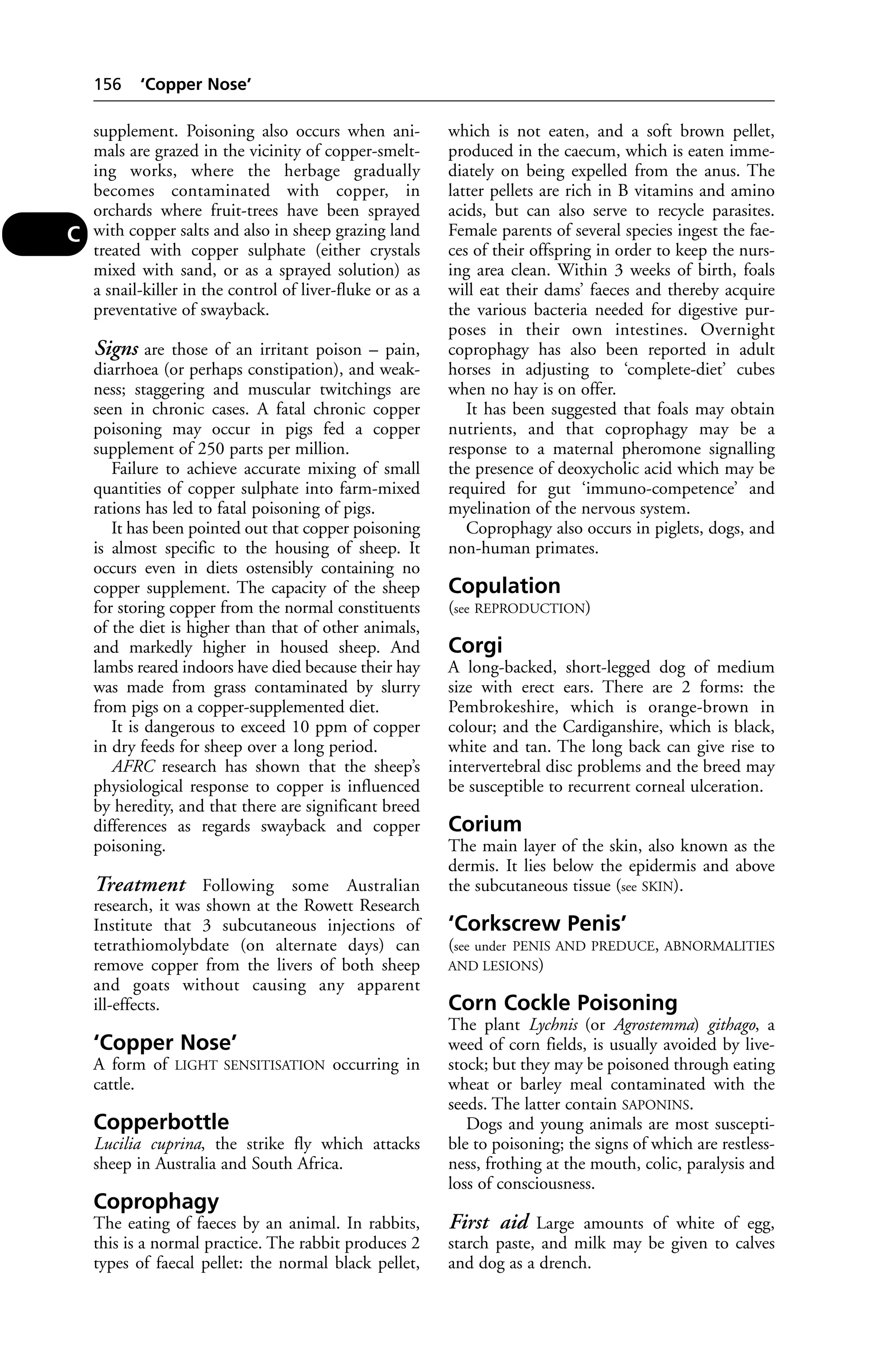 supplement. Poisoning also occurs when ani-mals 
are grazed in the vicinity of copper-smelt-ing 
works, where the herbage gradually 
becomes contaminated with copper, in 
orchards where fruit-trees have been sprayed 
with copper salts and also in sheep grazing land 
treated with copper sulphate (either crystals 
mixed with sand, or as a sprayed solution) as 
a snail-killer in the control of liver-fluke or as a 
preventative of swayback. 
Signs are those of an irritant poison – pain, 
diarrhoea (or perhaps constipation), and weak-ness; 
staggering and muscular twitchings are 
seen in chronic cases. A fatal chronic copper 
poisoning may occur in pigs fed a copper 
supplement of 250 parts per million. 
Failure to achieve accurate mixing of small 
quantities of copper sulphate into farm-mixed 
rations has led to fatal poisoning of pigs. 
It has been pointed out that copper poisoning 
is almost specific to the housing of sheep. It 
occurs even in diets ostensibly containing no 
copper supplement. The capacity of the sheep 
for storing copper from the normal constituents 
of the diet is higher than that of other animals, 
and markedly higher in housed sheep. And 
lambs reared indoors have died because their hay 
was made from grass contaminated by slurry 
from pigs on a copper-supplemented diet. 
It is dangerous to exceed 10 ppm of copper 
in dry feeds for sheep over a long period. 
AFRC research has shown that the sheep’s 
physiological response to copper is influenced 
by heredity, and that there are significant breed 
differences as regards swayback and copper 
poisoning. 
Treatment Following some Australian 
research, it was shown at the Rowett Research 
Institute that 3 subcutaneous injections of 
tetrathiomolybdate (on alternate days) can 
remove copper from the livers of both sheep 
and goats without causing any apparent 
ill-effects. 
‘Copper Nose’ 
A form of LIGHT SENSITISATION occurring in 
cattle. 
Copperbottle 
Lucilia cuprina, the strike fly which attacks 
sheep in Australia and South Africa. 
Coprophagy 
The eating of faeces by an animal. In rabbits, 
this is a normal practice. The rabbit produces 2 
types of faecal pellet: the normal black pellet, 
which is not eaten, and a soft brown pellet, 
produced in the caecum, which is eaten imme-diately 
on being expelled from the anus. The 
latter pellets are rich in B vitamins and amino 
acids, but can also serve to recycle parasites. 
Female parents of several species ingest the fae-ces 
of their offspring in order to keep the nurs-ing 
area clean. Within 3 weeks of birth, foals 
will eat their dams’ faeces and thereby acquire 
the various bacteria needed for digestive pur-poses 
in their own intestines. Overnight 
coprophagy has also been reported in adult 
horses in adjusting to ‘complete-diet’ cubes 
when no hay is on offer. 
It has been suggested that foals may obtain 
nutrients, and that coprophagy may be a 
response to a maternal pheromone signalling 
the presence of deoxycholic acid which may be 
required for gut ‘immuno-competence’ and 
myelination of the nervous system. 
Coprophagy also occurs in piglets, dogs, and 
non-human primates. 
Copulation 
(see REPRODUCTION) 
Corgi 
A long-backed, short-legged dog of medium 
size with erect ears. There are 2 forms: the 
Pembrokeshire, which is orange-brown in 
colour; and the Cardiganshire, which is black, 
white and tan. The long back can give rise to 
intervertebral disc problems and the breed may 
be susceptible to recurrent corneal ulceration. 
Corium 
The main layer of the skin, also known as the 
dermis. It lies below the epidermis and above 
the subcutaneous tissue (see SKIN). 
‘Corkscrew Penis’ 
(see under PENIS AND PREDUCE, ABNORMALITIES 
AND LESIONS) 
Corn Cockle Poisoning 
The plant Lychnis (or Agrostemma) githago, a 
weed of corn fields, is usually avoided by live-stock; 
but they may be poisoned through eating 
wheat or barley meal contaminated with the 
seeds. The latter contain SAPONINS. 
Dogs and young animals are most suscepti-ble 
to poisoning; the signs of which are restless-ness, 
frothing at the mouth, colic, paralysis and 
loss of consciousness. 
First aid Large amounts of white of egg, 
starch paste, and milk may be given to calves 
and dog as a drench. 
156 ‘Copper Nose’ 
C 
 