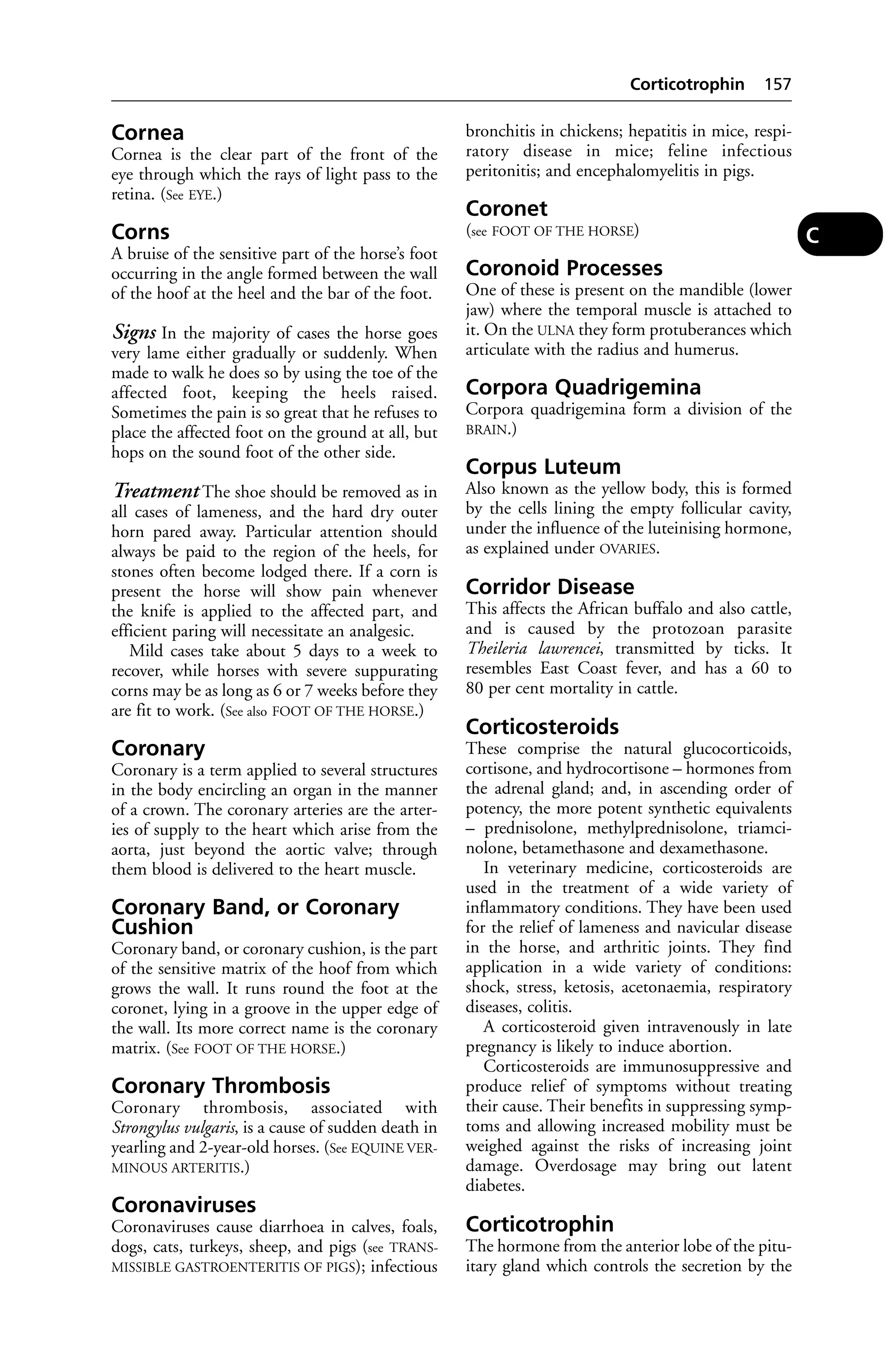 Cornea 
Cornea is the clear part of the front of the 
eye through which the rays of light pass to the 
retina. (See EYE.) 
Corns 
A bruise of the sensitive part of the horse’s foot 
occurring in the angle formed between the wall 
of the hoof at the heel and the bar of the foot. 
Signs In the majority of cases the horse goes 
very lame either gradually or suddenly. When 
made to walk he does so by using the toe of the 
affected foot, keeping the heels raised. 
Sometimes the pain is so great that he refuses to 
place the affected foot on the ground at all, but 
hops on the sound foot of the other side. 
Treatment The shoe should be removed as in 
all cases of lameness, and the hard dry outer 
horn pared away. Particular attention should 
always be paid to the region of the heels, for 
stones often become lodged there. If a corn is 
present the horse will show pain whenever 
the knife is applied to the affected part, and 
efficient paring will necessitate an analgesic. 
Mild cases take about 5 days to a week to 
recover, while horses with severe suppurating 
corns may be as long as 6 or 7 weeks before they 
are fit to work. (See also FOOT OF THE HORSE.) 
Coronary 
Coronary is a term applied to several structures 
in the body encircling an organ in the manner 
of a crown. The coronary arteries are the arter-ies 
of supply to the heart which arise from the 
aorta, just beyond the aortic valve; through 
them blood is delivered to the heart muscle. 
Coronary Band, or Coronary 
Cushion 
Coronary band, or coronary cushion, is the part 
of the sensitive matrix of the hoof from which 
grows the wall. It runs round the foot at the 
coronet, lying in a groove in the upper edge of 
the wall. Its more correct name is the coronary 
matrix. (See FOOT OF THE HORSE.) 
Coronary Thrombosis 
Coronary thrombosis, associated with 
Strongylus vulgaris, is a cause of sudden death in 
yearling and 2-year-old horses. (See EQUINE VER-MINOUS 
ARTERITIS.) 
Coronaviruses 
Coronaviruses cause diarrhoea in calves, foals, 
dogs, cats, turkeys, sheep, and pigs (see TRANS-MISSIBLE 
GASTROENTERITIS OF PIGS); infectious 
Corticotrophin 157 
bronchitis in chickens; hepatitis in mice, respi-ratory 
disease in mice; feline infectious 
peritonitis; and encephalomyelitis in pigs. 
Coronet 
(see FOOT OF THE HORSE) 
Coronoid Processes 
One of these is present on the mandible (lower 
jaw) where the temporal muscle is attached to 
it. On the ULNA they form protuberances which 
articulate with the radius and humerus. 
Corpora Quadrigemina 
Corpora quadrigemina form a division of the 
BRAIN.) 
Corpus Luteum 
Also known as the yellow body, this is formed 
by the cells lining the empty follicular cavity, 
under the influence of the luteinising hormone, 
as explained under OVARIES. 
Corridor Disease 
This affects the African buffalo and also cattle, 
and is caused by the protozoan parasite 
Theileria lawrencei, transmitted by ticks. It 
resembles East Coast fever, and has a 60 to 
80 per cent mortality in cattle. 
Corticosteroids 
These comprise the natural glucocorticoids, 
cortisone, and hydrocortisone – hormones from 
the adrenal gland; and, in ascending order of 
potency, the more potent synthetic equivalents 
– prednisolone, methylprednisolone, triamci-nolone, 
betamethasone and dexamethasone. 
In veterinary medicine, corticosteroids are 
used in the treatment of a wide variety of 
inflammatory conditions. They have been used 
for the relief of lameness and navicular disease 
in the horse, and arthritic joints. They find 
application in a wide variety of conditions: 
shock, stress, ketosis, acetonaemia, respiratory 
diseases, colitis. 
A corticosteroid given intravenously in late 
pregnancy is likely to induce abortion. 
Corticosteroids are immunosuppressive and 
produce relief of symptoms without treating 
their cause. Their benefits in suppressing symp-toms 
and allowing increased mobility must be 
weighed against the risks of increasing joint 
damage. Overdosage may bring out latent 
diabetes. 
Corticotrophin 
The hormone from the anterior lobe of the pitu-itary 
gland which controls the secretion by the 
C 
 
