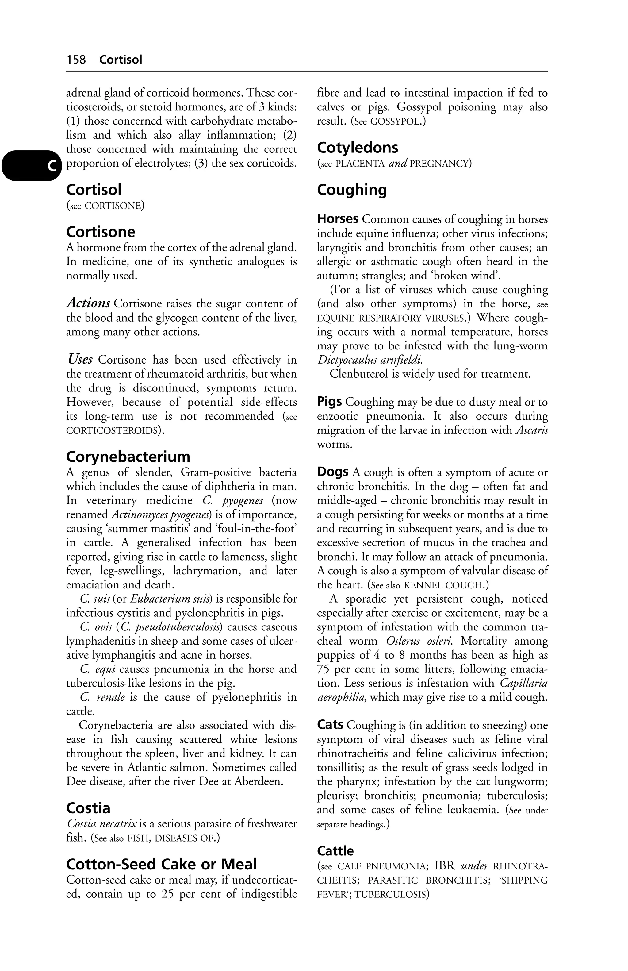 adrenal gland of corticoid hormones. These cor-ticosteroids, 
or steroid hormones, are of 3 kinds: 
(1) those concerned with carbohydrate metabo-lism 
and which also allay inflammation; (2) 
those concerned with maintaining the correct 
proportion of electrolytes; (3) the sex corticoids. 
Cortisol 
(see CORTISONE) 
Cortisone 
A hormone from the cortex of the adrenal gland. 
In medicine, one of its synthetic analogues is 
normally used. 
Actions Cortisone raises the sugar content of 
the blood and the glycogen content of the liver, 
among many other actions. 
Uses Cortisone has been used effectively in 
the treatment of rheumatoid arthritis, but when 
the drug is discontinued, symptoms return. 
However, because of potential side-effects 
its long-term use is not recommended (see 
CORTICOSTEROIDS). 
Corynebacterium 
A genus of slender, Gram-positive bacteria 
which includes the cause of diphtheria in man. 
In veterinary medicine C. pyogenes (now 
renamed Actinomyces pyogenes) is of importance, 
causing ‘summer mastitis’ and ‘foul-in-the-foot’ 
in cattle. A generalised infection has been 
reported, giving rise in cattle to lameness, slight 
fever, leg-swellings, lachrymation, and later 
emaciation and death. 
C. suis (or Eubacterium suis) is responsible for 
infectious cystitis and pyelonephritis in pigs. 
C. ovis (C. pseudotuberculosis) causes caseous 
lymphadenitis in sheep and some cases of ulcer-ative 
lymphangitis and acne in horses. 
C. equi causes pneumonia in the horse and 
tuberculosis-like lesions in the pig. 
C. renale is the cause of pyelonephritis in 
cattle. 
Corynebacteria are also associated with dis-ease 
in fish causing scattered white lesions 
throughout the spleen, liver and kidney. It can 
be severe in Atlantic salmon. Sometimes called 
Dee disease, after the river Dee at Aberdeen. 
Costia 
Costia necatrix is a serious parasite of freshwater 
fish. (See also FISH, DISEASES OF.) 
Cotton-Seed Cake or Meal 
Cotton-seed cake or meal may, if undecorticat-ed, 
contain up to 25 per cent of indigestible 
fibre and lead to intestinal impaction if fed to 
calves or pigs. Gossypol poisoning may also 
result. (See GOSSYPOL.) 
Cotyledons 
(see PLACENTA and PREGNANCY) 
Coughing 
Horses Common causes of coughing in horses 
include equine influenza; other virus infections; 
laryngitis and bronchitis from other causes; an 
allergic or asthmatic cough often heard in the 
autumn; strangles; and ‘broken wind’. 
(For a list of viruses which cause coughing 
(and also other symptoms) in the horse, see 
EQUINE RESPIRATORY VIRUSES.) Where cough-ing 
occurs with a normal temperature, horses 
may prove to be infested with the lung-worm 
Dictyocaulus arnfieldi. 
Clenbuterol is widely used for treatment. 
Pigs Coughing may be due to dusty meal or to 
enzootic pneumonia. It also occurs during 
migration of the larvae in infection with Ascaris 
worms. 
Dogs A cough is often a symptom of acute or 
chronic bronchitis. In the dog – often fat and 
middle-aged – chronic bronchitis may result in 
a cough persisting for weeks or months at a time 
and recurring in subsequent years, and is due to 
excessive secretion of mucus in the trachea and 
bronchi. It may follow an attack of pneumonia. 
A cough is also a symptom of valvular disease of 
the heart. (See also KENNEL COUGH.) 
A sporadic yet persistent cough, noticed 
especially after exercise or excitement, may be a 
symptom of infestation with the common tra-cheal 
worm Oslerus osleri. Mortality among 
puppies of 4 to 8 months has been as high as 
75 per cent in some litters, following emacia-tion. 
Less serious is infestation with Capillaria 
aerophilia, which may give rise to a mild cough. 
Cats Coughing is (in addition to sneezing) one 
symptom of viral diseases such as feline viral 
rhinotracheitis and feline calicivirus infection; 
tonsillitis; as the result of grass seeds lodged in 
the pharynx; infestation by the cat lungworm; 
pleurisy; bronchitis; pneumonia; tuberculosis; 
and some cases of feline leukaemia. (See under 
separate headings.) 
Cattle 
(see CALF PNEUMONIA; IBR under RHINOTRA-CHEITIS; 
PARASITIC BRONCHITIS; ‘SHIPPING 
FEVER’; TUBERCULOSIS) 
158 Cortisol 
C 
 