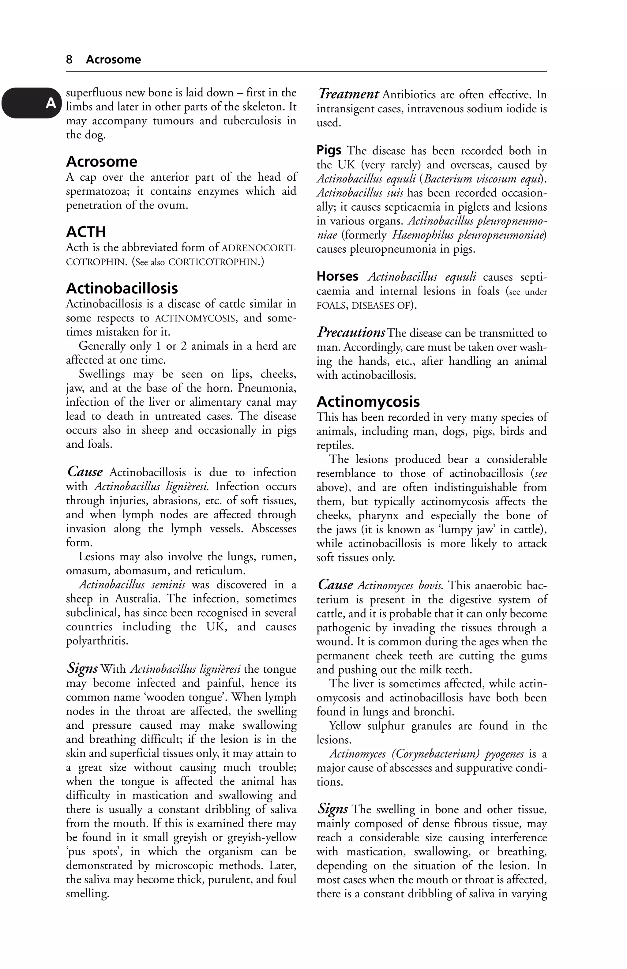 superfluous new bone is laid down – first in the 
limbs and later in other parts of the skeleton. It 
may accompany tumours and tuberculosis in 
the dog. 
Acrosome 
A cap over the anterior part of the head of 
spermatozoa; it contains enzymes which aid 
penetration of the ovum. 
ACTH 
Acth is the abbreviated form of ADRENOCORTI-COTROPHIN. 
(See also CORTICOTROPHIN.) 
Actinobacillosis 
Actinobacillosis is a disease of cattle similar in 
some respects to ACTINOMYCOSIS, and some-times 
mistaken for it. 
Generally only 1 or 2 animals in a herd are 
affected at one time. 
Swellings may be seen on lips, cheeks, 
jaw, and at the base of the horn. Pneumonia, 
infection of the liver or alimentary canal may 
lead to death in untreated cases. The disease 
occurs also in sheep and occasionally in pigs 
and foals. 
Cause Actinobacillosis is due to infection 
with Actinobacillus lignièresi. Infection occurs 
through injuries, abrasions, etc. of soft tissues, 
and when lymph nodes are affected through 
invasion along the lymph vessels. Abscesses 
form. 
Lesions may also involve the lungs, rumen, 
omasum, abomasum, and reticulum. 
Actinobacillus seminis was discovered in a 
sheep in Australia. The infection, sometimes 
subclinical, has since been recognised in several 
countries including the UK, and causes 
polyarthritis. 
Signs With Actinobacillus lignièresi the tongue 
may become infected and painful, hence its 
common name ‘wooden tongue’. When lymph 
nodes in the throat are affected, the swelling 
and pressure caused may make swallowing 
and breathing difficult; if the lesion is in the 
skin and superficial tissues only, it may attain to 
a great size without causing much trouble; 
when the tongue is affected the animal has 
difficulty in mastication and swallowing and 
there is usually a constant dribbling of saliva 
from the mouth. If this is examined there may 
be found in it small greyish or greyish-yellow 
‘pus spots’, in which the organism can be 
demonstrated by microscopic methods. Later, 
the saliva may become thick, purulent, and foul 
smelling. 
Treatment Antibiotics are often effective. In 
intransigent cases, intravenous sodium iodide is 
used. 
Pigs The disease has been recorded both in 
the UK (very rarely) and overseas, caused by 
Actinobacillus equuli (Bacterium viscosum equi). 
Actinobacillus suis has been recorded occasion-ally; 
it causes septicaemia in piglets and lesions 
in various organs. Actinobacillus pleuropneumo-niae 
(formerly Haemophilus pleuropneumoniae) 
causes pleuropneumonia in pigs. 
Horses Actinobacillus equuli causes septi-caemia 
and internal lesions in foals (see under 
FOALS, DISEASES OF). 
Precautions The disease can be transmitted to 
man. Accordingly, care must be taken over wash-ing 
the hands, etc., after handling an animal 
with actinobacillosis. 
Actinomycosis 
This has been recorded in very many species of 
animals, including man, dogs, pigs, birds and 
reptiles. 
The lesions produced bear a considerable 
resemblance to those of actinobacillosis (see 
above), and are often indistinguishable from 
them, but typically actinomycosis affects the 
cheeks, pharynx and especially the bone of 
the jaws (it is known as ‘lumpy jaw’ in cattle), 
while actinobacillosis is more likely to attack 
soft tissues only. 
Cause Actinomyces bovis. This anaerobic bac-terium 
is present in the digestive system of 
cattle, and it is probable that it can only become 
pathogenic by invading the tissues through a 
wound. It is common during the ages when the 
permanent cheek teeth are cutting the gums 
and pushing out the milk teeth. 
The liver is sometimes affected, while actin-omycosis 
and actinobacillosis have both been 
found in lungs and bronchi. 
Yellow sulphur granules are found in the 
lesions. 
Actinomyces (Corynebacterium) pyogenes is a 
major cause of abscesses and suppurative condi-tions. 
Signs The swelling in bone and other tissue, 
mainly composed of dense fibrous tissue, may 
reach a considerable size causing interference 
with mastication, swallowing, or breathing, 
depending on the situation of the lesion. In 
most cases when the mouth or throat is affected, 
there is a constant dribbling of saliva in varying 
8 Acrosome 
A 
 