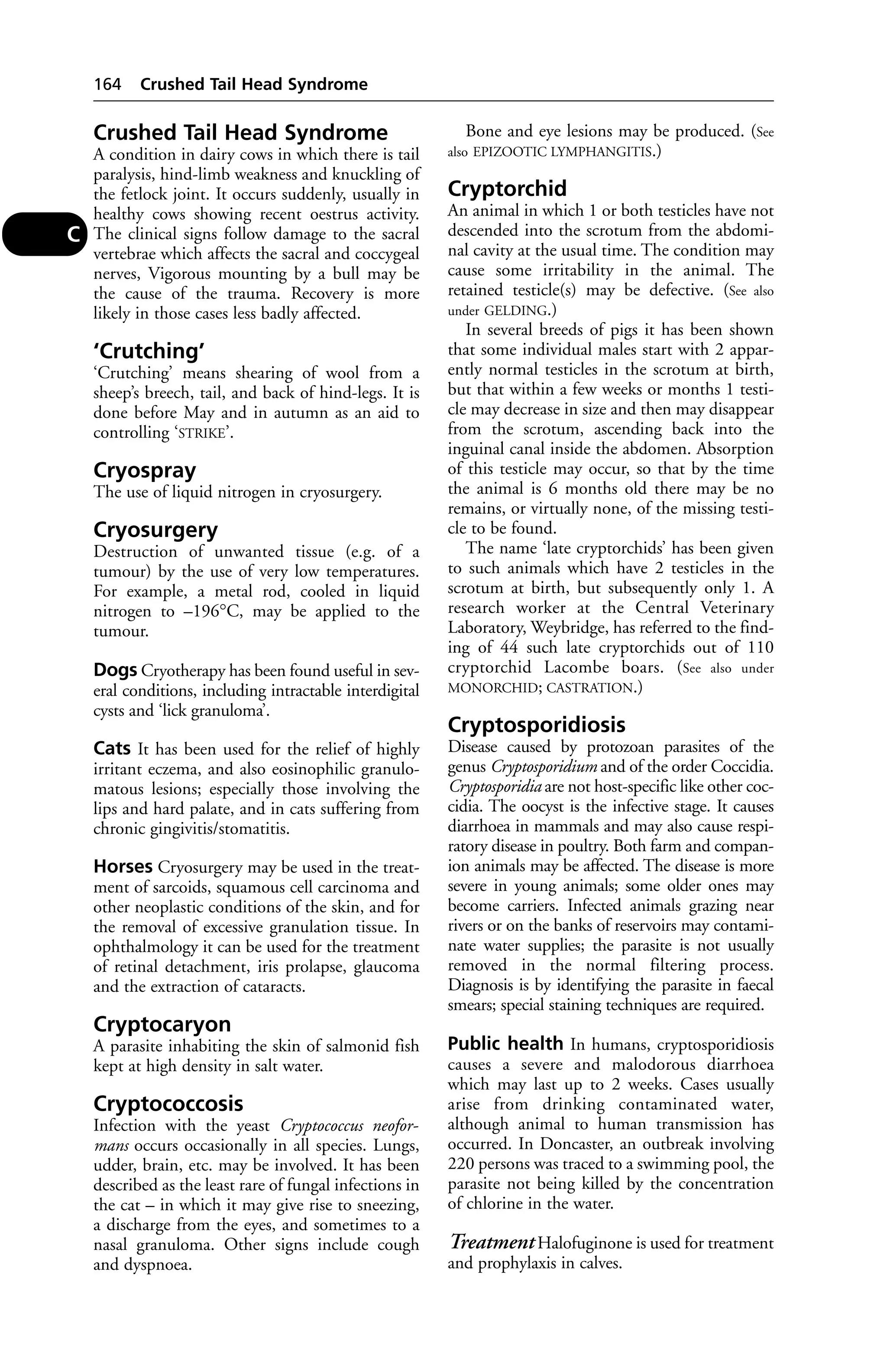 Crushed Tail Head Syndrome 
A condition in dairy cows in which there is tail 
paralysis, hind-limb weakness and knuckling of 
the fetlock joint. It occurs suddenly, usually in 
healthy cows showing recent oestrus activity. 
The clinical signs follow damage to the sacral 
vertebrae which affects the sacral and coccygeal 
nerves, Vigorous mounting by a bull may be 
the cause of the trauma. Recovery is more 
likely in those cases less badly affected. 
‘Crutching’ 
‘Crutching’ means shearing of wool from a 
sheep’s breech, tail, and back of hind-legs. It is 
done before May and in autumn as an aid to 
controlling ‘STRIKE’. 
Cryospray 
The use of liquid nitrogen in cryosurgery. 
Cryosurgery 
Destruction of unwanted tissue (e.g. of a 
tumour) by the use of very low temperatures. 
For example, a metal rod, cooled in liquid 
nitrogen to –196°C, may be applied to the 
tumour. 
Dogs Cryotherapy has been found useful in sev-eral 
conditions, including intractable interdigital 
cysts and ‘lick granuloma’. 
Cats It has been used for the relief of highly 
irritant eczema, and also eosinophilic granulo-matous 
lesions; especially those involving the 
lips and hard palate, and in cats suffering from 
chronic gingivitis/stomatitis. 
Horses Cryosurgery may be used in the treat-ment 
of sarcoids, squamous cell carcinoma and 
other neoplastic conditions of the skin, and for 
the removal of excessive granulation tissue. In 
ophthalmology it can be used for the treatment 
of retinal detachment, iris prolapse, glaucoma 
and the extraction of cataracts. 
Cryptocaryon 
A parasite inhabiting the skin of salmonid fish 
kept at high density in salt water. 
Cryptococcosis 
Infection with the yeast Cryptococcus neofor-mans 
occurs occasionally in all species. Lungs, 
udder, brain, etc. may be involved. It has been 
described as the least rare of fungal infections in 
the cat – in which it may give rise to sneezing, 
a discharge from the eyes, and sometimes to a 
nasal granuloma. Other signs include cough 
and dyspnoea. 
Bone and eye lesions may be produced. (See 
also EPIZOOTIC LYMPHANGITIS.) 
Cryptorchid 
An animal in which 1 or both testicles have not 
descended into the scrotum from the abdomi-nal 
cavity at the usual time. The condition may 
cause some irritability in the animal. The 
retained testicle(s) may be defective. (See also 
under GELDING.) 
In several breeds of pigs it has been shown 
that some individual males start with 2 appar-ently 
normal testicles in the scrotum at birth, 
but that within a few weeks or months 1 testi-cle 
may decrease in size and then may disappear 
from the scrotum, ascending back into the 
inguinal canal inside the abdomen. Absorption 
of this testicle may occur, so that by the time 
the animal is 6 months old there may be no 
remains, or virtually none, of the missing testi-cle 
to be found. 
The name ‘late cryptorchids’ has been given 
to such animals which have 2 testicles in the 
scrotum at birth, but subsequently only 1. A 
research worker at the Central Veterinary 
Laboratory, Weybridge, has referred to the find-ing 
of 44 such late cryptorchids out of 110 
cryptorchid Lacombe boars. (See also under 
MONORCHID; CASTRATION.) 
Cryptosporidiosis 
Disease caused by protozoan parasites of the 
genus Cryptosporidium and of the order Coccidia. 
Cryptosporidia are not host-specific like other coc-cidia. 
The oocyst is the infective stage. It causes 
diarrhoea in mammals and may also cause respi-ratory 
disease in poultry. Both farm and compan-ion 
animals may be affected. The disease is more 
severe in young animals; some older ones may 
become carriers. Infected animals grazing near 
rivers or on the banks of reservoirs may contami-nate 
water supplies; the parasite is not usually 
removed in the normal filtering process. 
Diagnosis is by identifying the parasite in faecal 
smears; special staining techniques are required. 
Public health In humans, cryptosporidiosis 
causes a severe and malodorous diarrhoea 
which may last up to 2 weeks. Cases usually 
arise from drinking contaminated water, 
although animal to human transmission has 
occurred. In Doncaster, an outbreak involving 
220 persons was traced to a swimming pool, the 
parasite not being killed by the concentration 
of chlorine in the water. 
Treatment Halofuginone is used for treatment 
and prophylaxis in calves. 
164 Crushed Tail Head Syndrome 
C 
 