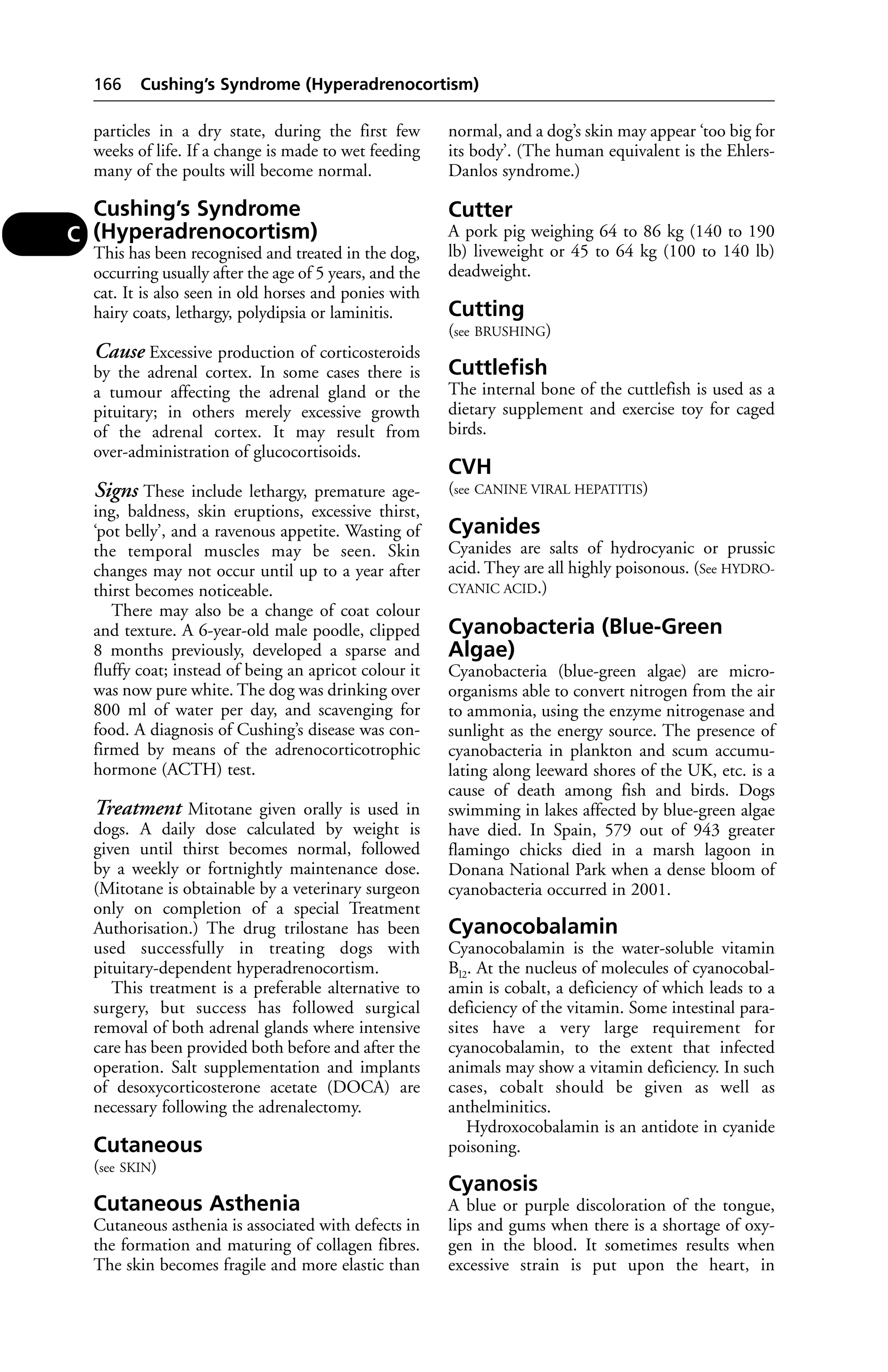 166 Cushing’s Syndrome (Hyperadrenocortism) 
particles in a dry state, during the first few 
weeks of life. If a change is made to wet feeding 
many of the poults will become normal. 
Cushing’s Syndrome 
(Hyperadrenocortism) 
This has been recognised and treated in the dog, 
occurring usually after the age of 5 years, and the 
cat. It is also seen in old horses and ponies with 
hairy coats, lethargy, polydipsia or laminitis. 
Cause Excessive production of corticosteroids 
by the adrenal cortex. In some cases there is 
a tumour affecting the adrenal gland or the 
pituitary; in others merely excessive growth 
of the adrenal cortex. It may result from 
over-administration of glucocortisoids. 
Signs These include lethargy, premature age-ing, 
baldness, skin eruptions, excessive thirst, 
‘pot belly’, and a ravenous appetite. Wasting of 
the temporal muscles may be seen. Skin 
changes may not occur until up to a year after 
thirst becomes noticeable. 
There may also be a change of coat colour 
and texture. A 6-year-old male poodle, clipped 
8 months previously, developed a sparse and 
fluffy coat; instead of being an apricot colour it 
was now pure white. The dog was drinking over 
800 ml of water per day, and scavenging for 
food. A diagnosis of Cushing’s disease was con-firmed 
by means of the adrenocorticotrophic 
hormone (ACTH) test. 
Treatment Mitotane given orally is used in 
dogs. A daily dose calculated by weight is 
given until thirst becomes normal, followed 
by a weekly or fortnightly maintenance dose. 
(Mitotane is obtainable by a veterinary surgeon 
only on completion of a special Treatment 
Authorisation.) The drug trilostane has been 
used successfully in treating dogs with 
pituitary-dependent hyperadrenocortism. 
This treatment is a preferable alternative to 
surgery, but success has followed surgical 
removal of both adrenal glands where intensive 
care has been provided both before and after the 
operation. Salt supplementation and implants 
of desoxycorticosterone acetate (DOCA) are 
necessary following the adrenalectomy. 
Cutaneous 
(see SKIN) 
Cutaneous Asthenia 
Cutaneous asthenia is associated with defects in 
the formation and maturing of collagen fibres. 
The skin becomes fragile and more elastic than 
normal, and a dog’s skin may appear ‘too big for 
its body’. (The human equivalent is the Ehlers- 
Danlos syndrome.) 
Cutter 
A pork pig weighing 64 to 86 kg (140 to 190 
lb) liveweight or 45 to 64 kg (100 to 140 lb) 
deadweight. 
Cutting 
(see BRUSHING) 
Cuttlefish 
The internal bone of the cuttlefish is used as a 
dietary supplement and exercise toy for caged 
birds. 
CVH 
(see CANINE VIRAL HEPATITIS) 
Cyanides 
Cyanides are salts of hydrocyanic or prussic 
acid. They are all highly poisonous. (See HYDRO-CYANIC 
ACID.) 
Cyanobacteria (Blue-Green 
Algae) 
Cyanobacteria (blue-green algae) are micro-organisms 
able to convert nitrogen from the air 
to ammonia, using the enzyme nitrogenase and 
sunlight as the energy source. The presence of 
cyanobacteria in plankton and scum accumu-lating 
along leeward shores of the UK, etc. is a 
cause of death among fish and birds. Dogs 
swimming in lakes affected by blue-green algae 
have died. In Spain, 579 out of 943 greater 
flamingo chicks died in a marsh lagoon in 
Donana National Park when a dense bloom of 
cyanobacteria occurred in 2001. 
Cyanocobalamin 
Cyanocobalamin is the water-soluble vitamin 
Bl2. At the nucleus of molecules of cyanocobal-amin 
is cobalt, a deficiency of which leads to a 
deficiency of the vitamin. Some intestinal para-sites 
have a very large requirement for 
cyanocobalamin, to the extent that infected 
animals may show a vitamin deficiency. In such 
cases, cobalt should be given as well as 
anthelminitics. 
Hydroxocobalamin is an antidote in cyanide 
poisoning. 
Cyanosis 
A blue or purple discoloration of the tongue, 
lips and gums when there is a shortage of oxy-gen 
in the blood. It sometimes results when 
excessive strain is put upon the heart, in 
C 
 