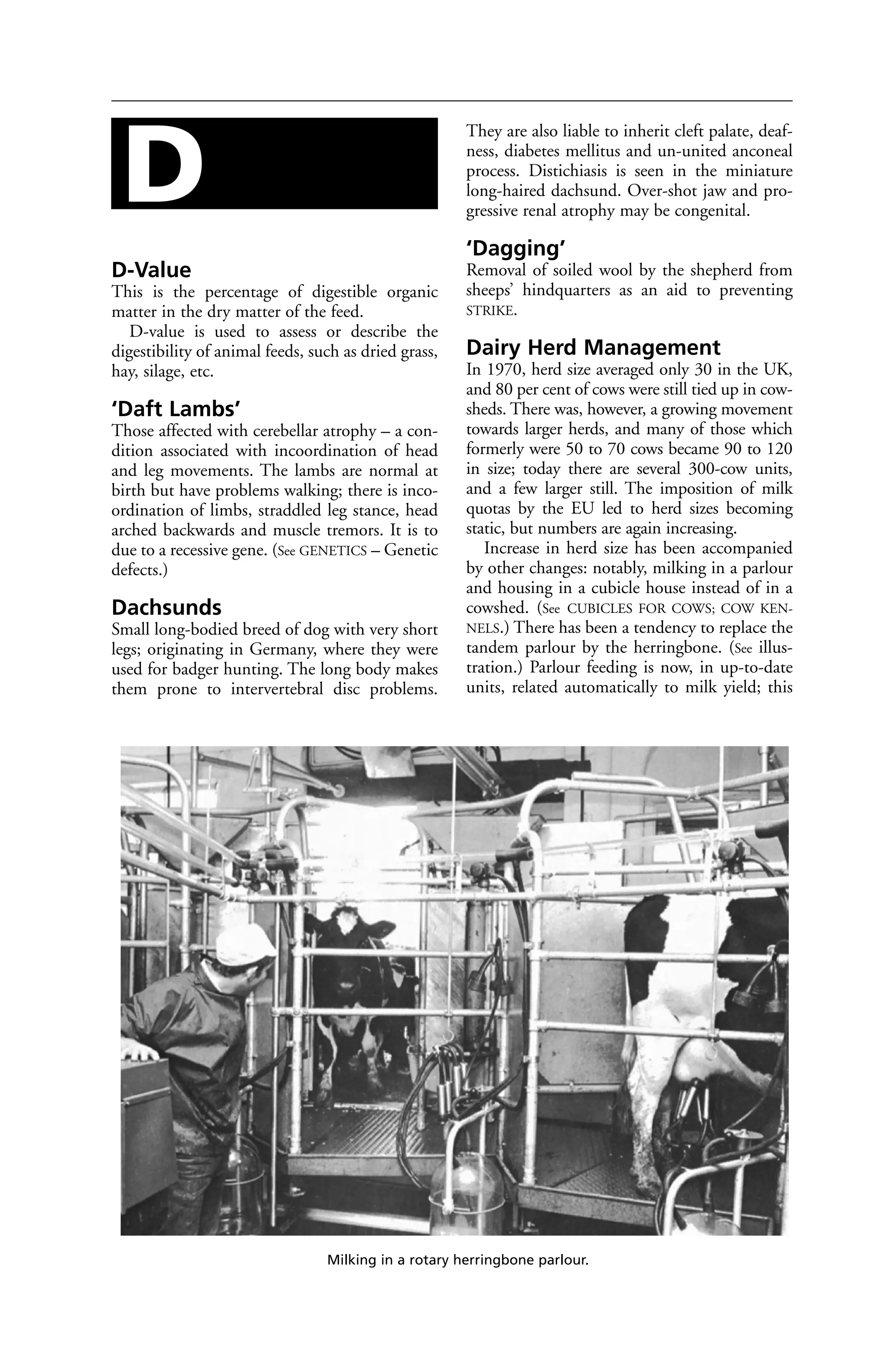 D-Value 
This is the percentage of digestible organic 
matter in the dry matter of the feed. 
D-value is used to assess or describe the 
digestibility of animal feeds, such as dried grass, 
hay, silage, etc. 
‘Daft Lambs’ 
Those affected with cerebellar atrophy – a con-dition 
associated with incoordination of head 
and leg movements. The lambs are normal at 
birth but have problems walking; there is inco-ordination 
of limbs, straddled leg stance, head 
arched backwards and muscle tremors. It is to 
due to a recessive gene. (See GENETICS – Genetic 
defects.) 
Dachsunds 
Small long-bodied breed of dog with very short 
legs; originating in Germany, where they were 
used for badger hunting. The long body makes 
them prone to intervertebral disc problems. 
They are also liable to inherit cleft palate, deaf-ness, 
diabetes mellitus and un-united anconeal 
process. Distichiasis is seen in the miniature 
long-haired dachsund. Over-shot jaw and pro-gressive 
renal atrophy may be congenital. 
‘Dagging’ 
Removal of soiled wool by the shepherd from 
sheeps’ hindquarters as an aid to preventing 
STRIKE. 
Dairy Herd Management 
In 1970, herd size averaged only 30 in the UK, 
and 80 per cent of cows were still tied up in cow-sheds. 
There was, however, a growing movement 
towards larger herds, and many of those which 
formerly were 50 to 70 cows became 90 to 120 
in size; today there are several 300-cow units, 
and a few larger still. The imposition of milk 
quotas by the EU led to herd sizes becoming 
static, but numbers are again increasing. 
Increase in herd size has been accompanied 
by other changes: notably, milking in a parlour 
and housing in a cubicle house instead of in a 
cowshed. (See CUBICLES FOR COWS; COW KEN-NELS.) 
There has been a tendency to replace the 
tandem parlour by the herringbone. (See illus-tration.) 
Parlour feeding is now, in up-to-date 
units, related automatically to milk yield; this 
D 
Milking in a rotary herringbone parlour. 
 
