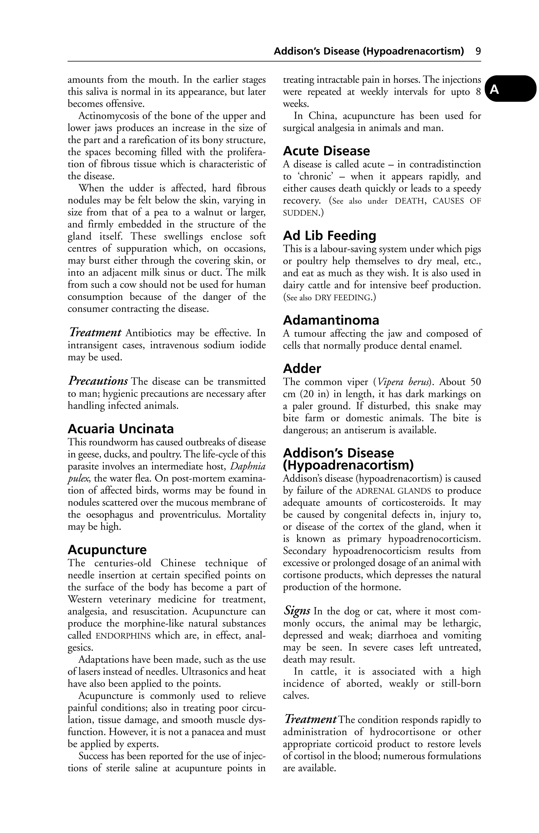 amounts from the mouth. In the earlier stages 
this saliva is normal in its appearance, but later 
becomes offensive. 
Actinomycosis of the bone of the upper and 
lower jaws produces an increase in the size of 
the part and a rarefication of its bony structure, 
the spaces becoming filled with the prolifera-tion 
of fibrous tissue which is characteristic of 
the disease. 
When the udder is affected, hard fibrous 
nodules may be felt below the skin, varying in 
size from that of a pea to a walnut or larger, 
and firmly embedded in the structure of the 
gland itself. These swellings enclose soft 
centres of suppuration which, on occasions, 
may burst either through the covering skin, or 
into an adjacent milk sinus or duct. The milk 
from such a cow should not be used for human 
consumption because of the danger of the 
consumer contracting the disease. 
Treatment Antibiotics may be effective. In 
intransigent cases, intravenous sodium iodide 
may be used. 
Precautions The disease can be transmitted 
to man; hygienic precautions are necessary after 
handling infected animals. 
Acuaria Uncinata 
This roundworm has caused outbreaks of disease 
in geese, ducks, and poultry. The life-cycle of this 
parasite involves an intermediate host, Daphnia 
pulex, the water flea. On post-mortem examina-tion 
of affected birds, worms may be found in 
nodules scattered over the mucous membrane of 
the oesophagus and proventriculus. Mortality 
may be high. 
Acupuncture 
The centuries-old Chinese technique of 
needle insertion at certain specified points on 
the surface of the body has become a part of 
Western veterinary medicine for treatment, 
analgesia, and resuscitation. Acupuncture can 
produce the morphine-like natural substances 
called ENDORPHINS which are, in effect, anal-gesics. 
Adaptations have been made, such as the use 
of lasers instead of needles. Ultrasonics and heat 
have also been applied to the points. 
Acupuncture is commonly used to relieve 
painful conditions; also in treating poor circu-lation, 
tissue damage, and smooth muscle dys-function. 
However, it is not a panacea and must 
be applied by experts. 
Success has been reported for the use of injec-tions 
of sterile saline at acupunture points in 
Addison’s Disease (Hypoadrenacortism) 9 
treating intractable pain in horses. The injections 
were repeated at weekly intervals for upto 8 
weeks. 
In China, acupuncture has been used for 
surgical analgesia in animals and man. 
Acute Disease 
A disease is called acute – in contradistinction 
to ‘chronic’ – when it appears rapidly, and 
either causes death quickly or leads to a speedy 
recovery. (See also under DEATH, CAUSES OF 
SUDDEN.) 
Ad Lib Feeding 
This is a labour-saving system under which pigs 
or poultry help themselves to dry meal, etc., 
and eat as much as they wish. It is also used in 
dairy cattle and for intensive beef production. 
(See also DRY FEEDING.) 
Adamantinoma 
A tumour affecting the jaw and composed of 
cells that normally produce dental enamel. 
Adder 
The common viper (Vipera berus). About 50 
cm (20 in) in length, it has dark markings on 
a paler ground. If disturbed, this snake may 
bite farm or domestic animals. The bite is 
dangerous; an antiserum is available. 
Addison’s Disease 
(Hypoadrenacortism) 
Addison’s disease (hypoadrenacortism) is caused 
by failure of the ADRENAL GLANDS to produce 
adequate amounts of corticosteroids. It may 
be caused by congenital defects in, injury to, 
or disease of the cortex of the gland, when it 
is known as primary hypoadrenocorticism. 
Secondary hypoadrenocorticism results from 
excessive or prolonged dosage of an animal with 
cortisone products, which depresses the natural 
production of the hormone. 
Signs In the dog or cat, where it most com-monly 
occurs, the animal may be lethargic, 
depressed and weak; diarrhoea and vomiting 
may be seen. In severe cases left untreated, 
death may result. 
In cattle, it is associated with a high 
incidence of aborted, weakly or still-born 
calves. 
Treatment The condition responds rapidly to 
administration of hydrocortisone or other 
appropriate corticoid product to restore levels 
of cortisol in the blood; numerous formulations 
are available. 
A 
 