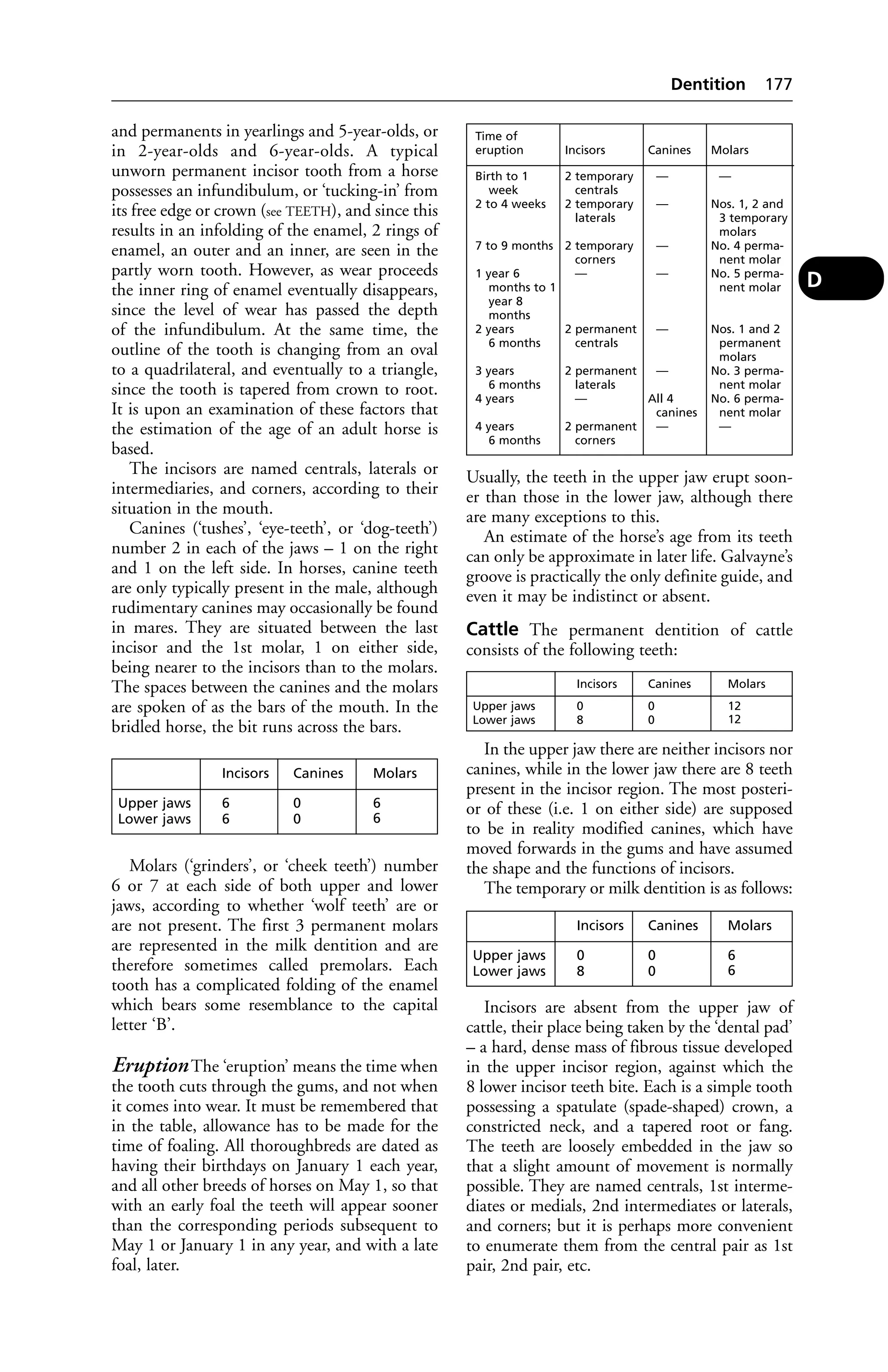 and permanents in yearlings and 5-year-olds, or 
in 2-year-olds and 6-year-olds. A typical 
unworn permanent incisor tooth from a horse 
possesses an infundibulum, or ‘tucking-in’ from 
its free edge or crown (see TEETH), and since this 
results in an infolding of the enamel, 2 rings of 
enamel, an outer and an inner, are seen in the 
partly worn tooth. However, as wear proceeds 
the inner ring of enamel eventually disappears, 
since the level of wear has passed the depth 
of the infundibulum. At the same time, the 
outline of the tooth is changing from an oval 
to a quadrilateral, and eventually to a triangle, 
since the tooth is tapered from crown to root. 
It is upon an examination of these factors that 
the estimation of the age of an adult horse is 
based. 
The incisors are named centrals, laterals or 
intermediaries, and corners, according to their 
situation in the mouth. 
Canines (‘tushes’, ‘eye-teeth’, or ‘dog-teeth’) 
number 2 in each of the jaws – 1 on the right 
and 1 on the left side. In horses, canine teeth 
are only typically present in the male, although 
rudimentary canines may occasionally be found 
in mares. They are situated between the last 
incisor and the 1st molar, 1 on either side, 
being nearer to the incisors than to the molars. 
The spaces between the canines and the molars 
are spoken of as the bars of the mouth. In the 
bridled horse, the bit runs across the bars. 
Molars (‘grinders’, or ‘cheek teeth’) number 
6 or 7 at each side of both upper and lower 
jaws, according to whether ‘wolf teeth’ are or 
are not present. The first 3 permanent molars 
are represented in the milk dentition and are 
therefore sometimes called premolars. Each 
tooth has a complicated folding of the enamel 
which bears some resemblance to the capital 
letter ‘B’. 
Eruption The ‘eruption’ means the time when 
the tooth cuts through the gums, and not when 
it comes into wear. It must be remembered that 
in the table, allowance has to be made for the 
time of foaling. All thoroughbreds are dated as 
having their birthdays on January 1 each year, 
and all other breeds of horses on May 1, so that 
with an early foal the teeth will appear sooner 
than the corresponding periods subsequent to 
May 1 or January 1 in any year, and with a late 
foal, later. 
Dentition 177 
Time of 
eruption Incisors Canines Molars 
Birth to 1 2 temporary — — 
week centrals 
2 to 4 weeks 2 temporary — Nos. 1, 2 and 
laterals 3 temporary 
molars 
7 to 9 months 2 temporary — No. 4 perma-corners 
nent molar 
1 year 6 — — No. 5 perma-months 
to 1 nent molar 
year 8 
months 
2 years 2 permanent — Nos. 1 and 2 
6 months centrals permanent 
molars 
3 years 2 permanent — No. 3 perma- 
6 months laterals nent molar 
4 years — All 4 No. 6 perma-canines 
nent molar 
4 years 2 permanent — — 
6 months corners 
Usually, the teeth in the upper jaw erupt soon-er 
than those in the lower jaw, although there 
are many exceptions to this. 
An estimate of the horse’s age from its teeth 
can only be approximate in later life. Galvayne’s 
groove is practically the only definite guide, and 
even it may be indistinct or absent. 
Cattle The permanent dentition of cattle 
consists of the following teeth: 
In the upper jaw there are neither incisors nor 
canines, while in the lower jaw there are 8 teeth 
present in the incisor region. The most posteri-or 
of these (i.e. 1 on either side) are supposed 
to be in reality modified canines, which have 
moved forwards in the gums and have assumed 
the shape and the functions of incisors. 
The temporary or milk dentition is as follows: 
Incisors are absent from the upper jaw of 
cattle, their place being taken by the ‘dental pad’ 
– a hard, dense mass of fibrous tissue developed 
in the upper incisor region, against which the 
8 lower incisor teeth bite. Each is a simple tooth 
possessing a spatulate (spade-shaped) crown, a 
constricted neck, and a tapered root or fang. 
The teeth are loosely embedded in the jaw so 
that a slight amount of movement is normally 
possible. They are named centrals, 1st interme-diates 
or medials, 2nd intermediates or laterals, 
and corners; but it is perhaps more convenient 
to enumerate them from the central pair as 1st 
pair, 2nd pair, etc. 
D 
Incisors Canines Molars 
Upper jaws 6 0 6 
Lower jaws 6 0 6 
Incisors Canines Molars 
Upper jaws 0 0 12 
Lower jaws 8 0 12 
Incisors Canines Molars 
Upper jaws 0 0 6 
Lower jaws 8 0 6 
 