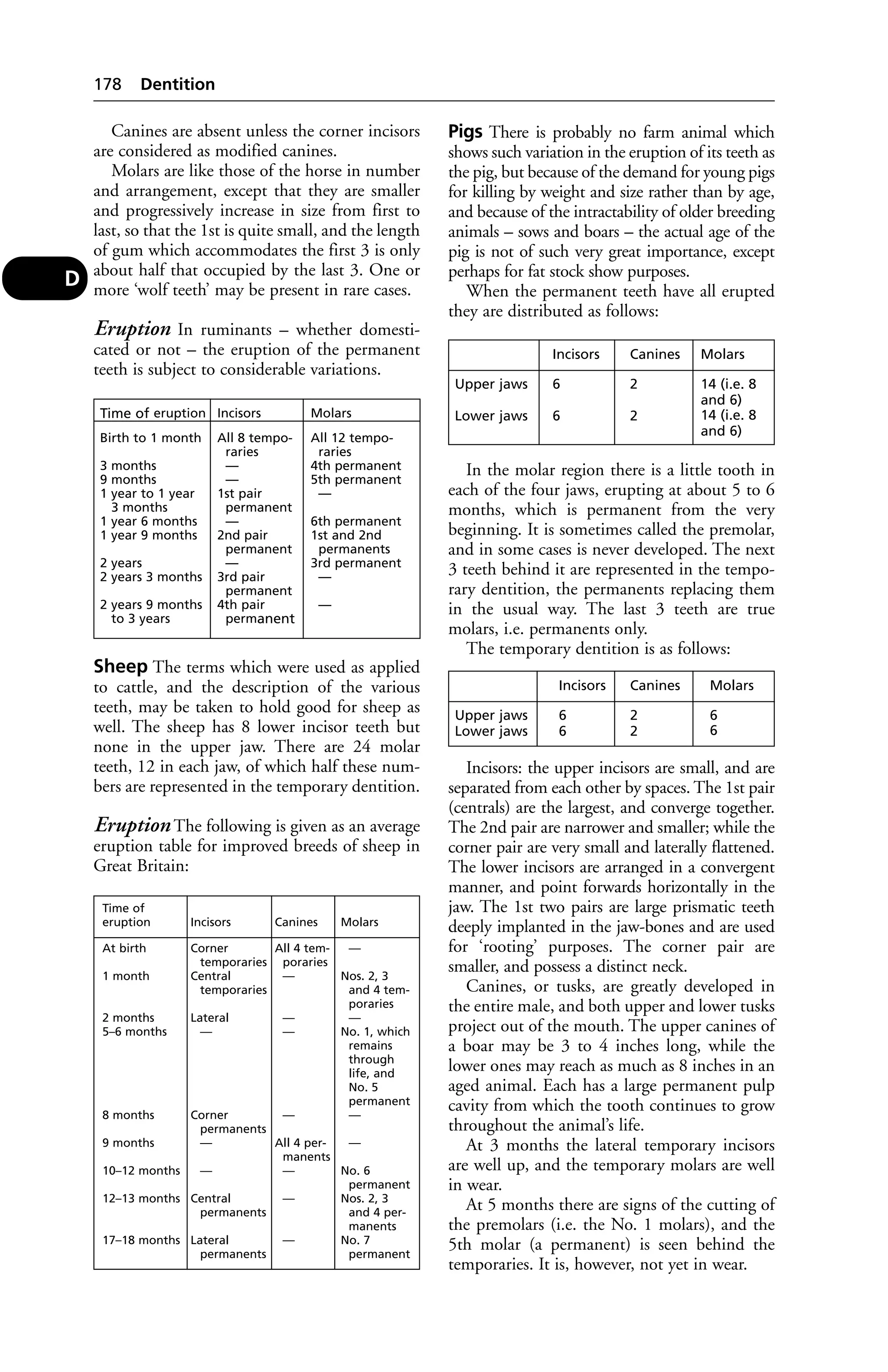 Canines are absent unless the corner incisors 
are considered as modified canines. 
Molars are like those of the horse in number 
and arrangement, except that they are smaller 
and progressively increase in size from first to 
last, so that the 1st is quite small, and the length 
of gum which accommodates the first 3 is only 
about half that occupied by the last 3. One or 
more ‘wolf teeth’ may be present in rare cases. 
Eruption In ruminants – whether domesti-cated 
or not – the eruption of the permanent 
teeth is subject to considerable variations. 
Sheep The terms which were used as applied 
to cattle, and the description of the various 
teeth, may be taken to hold good for sheep as 
well. The sheep has 8 lower incisor teeth but 
none in the upper jaw. There are 24 molar 
teeth, 12 in each jaw, of which half these num-bers 
are represented in the temporary dentition. 
Eruption The following is given as an average 
eruption table for improved breeds of sheep in 
Great Britain: 
Pigs There is probably no farm animal which 
shows such variation in the eruption of its teeth as 
the pig, but because of the demand for young pigs 
for killing by weight and size rather than by age, 
and because of the intractability of older breeding 
animals – sows and boars – the actual age of the 
pig is not of such very great importance, except 
perhaps for fat stock show purposes. 
When the permanent teeth have all erupted 
they are distributed as follows: 
In the molar region there is a little tooth in 
each of the four jaws, erupting at about 5 to 6 
months, which is permanent from the very 
beginning. It is sometimes called the premolar, 
and in some cases is never developed. The next 
3 teeth behind it are represented in the tempo-rary 
dentition, the permanents replacing them 
in the usual way. The last 3 teeth are true 
molars, i.e. permanents only. 
The temporary dentition is as follows: 
Incisors: the upper incisors are small, and are 
separated from each other by spaces. The 1st pair 
(centrals) are the largest, and converge together. 
The 2nd pair are narrower and smaller; while the 
corner pair are very small and laterally flattened. 
The lower incisors are arranged in a convergent 
manner, and point forwards horizontally in the 
jaw. The 1st two pairs are large prismatic teeth 
deeply implanted in the jaw-bones and are used 
for ‘rooting’ purposes. The corner pair are 
smaller, and possess a distinct neck. 
Canines, or tusks, are greatly developed in 
the entire male, and both upper and lower tusks 
project out of the mouth. The upper canines of 
a boar may be 3 to 4 inches long, while the 
lower ones may reach as much as 8 inches in an 
aged animal. Each has a large permanent pulp 
cavity from which the tooth continues to grow 
throughout the animal’s life. 
At 3 months the lateral temporary incisors 
are well up, and the temporary molars are well 
in wear. 
At 5 months there are signs of the cutting of 
the premolars (i.e. the No. 1 molars), and the 
5th molar (a permanent) is seen behind the 
temporaries. It is, however, not yet in wear. 
178 Dentition 
D 
Time of eruption Incisors Molars 
Birth to 1 month All 8 tempo- All 12 tempo-raries 
raries 
3 months — 4th permanent 
9 months — 5th permanent 
1 year to 1 year 1st pair — 
3 months permanent 
1 year 6 months — 6th permanent 
1 year 9 months 2nd pair 1st and 2nd 
permanent permanents 
2 years — 3rd permanent 
2 years 3 months 3rd pair — 
permanent 
2 years 9 months 4th pair — 
to 3 years permanent 
Time of 
eruption Incisors Canines Molars 
At birth Corner All 4 tem- — 
temporaries poraries 
1 month Central — Nos. 2, 3 
temporaries and 4 tem-poraries 
2 months Lateral — — 
5–6 months — — No. 1, which 
remains 
through 
life, and 
No. 5 
permanent 
8 months Corner — — 
permanents 
9 months — All 4 per- — 
manents 
10–12 months — — No. 6 
permanent 
12–13 months Central — Nos. 2, 3 
permanents and 4 per-manents 
17–18 months Lateral — No. 7 
permanents permanent 
Incisors Canines Molars 
Upper jaws 6 2 14 (i.e. 8 
and 6) 
Lower jaws 6 2 14 (i.e. 8 
and 6) 
Incisors Canines Molars 
Upper jaws 6 2 6 
Lower jaws 6 2 6 
 