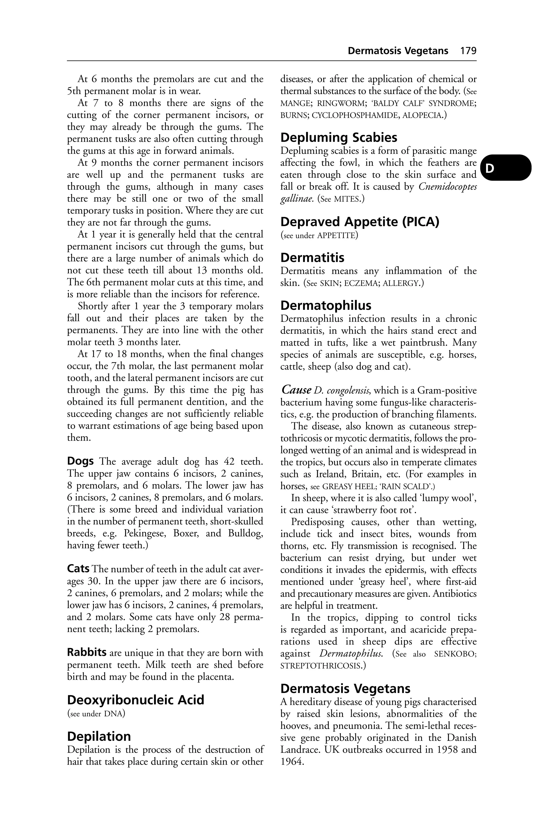 At 6 months the premolars are cut and the 
5th permanent molar is in wear. 
At 7 to 8 months there are signs of the 
cutting of the corner permanent incisors, or 
they may already be through the gums. The 
permanent tusks are also often cutting through 
the gums at this age in forward animals. 
At 9 months the corner permanent incisors 
are well up and the permanent tusks are 
through the gums, although in many cases 
there may be still one or two of the small 
temporary tusks in position. Where they are cut 
they are not far through the gums. 
At 1 year it is generally held that the central 
permanent incisors cut through the gums, but 
there are a large number of animals which do 
not cut these teeth till about 13 months old. 
The 6th permanent molar cuts at this time, and 
is more reliable than the incisors for reference. 
Shortly after 1 year the 3 temporary molars 
fall out and their places are taken by the 
permanents. They are into line with the other 
molar teeth 3 months later. 
At 17 to 18 months, when the final changes 
occur, the 7th molar, the last permanent molar 
tooth, and the lateral permanent incisors are cut 
through the gums. By this time the pig has 
obtained its full permanent dentition, and the 
succeeding changes are not sufficiently reliable 
to warrant estimations of age being based upon 
them. 
Dogs The average adult dog has 42 teeth. 
The upper jaw contains 6 incisors, 2 canines, 
8 premolars, and 6 molars. The lower jaw has 
6 incisors, 2 canines, 8 premolars, and 6 molars. 
(There is some breed and individual variation 
in the number of permanent teeth, short-skulled 
breeds, e.g. Pekingese, Boxer, and Bulldog, 
having fewer teeth.) 
Cats The number of teeth in the adult cat aver-ages 
30. In the upper jaw there are 6 incisors, 
2 canines, 6 premolars, and 2 molars; while the 
lower jaw has 6 incisors, 2 canines, 4 premolars, 
and 2 molars. Some cats have only 28 perma-nent 
teeth; lacking 2 premolars. 
Rabbits are unique in that they are born with 
permanent teeth. Milk teeth are shed before 
birth and may be found in the placenta. 
Deoxyribonucleic Acid 
(see under DNA) 
Depilation 
Depilation is the process of the destruction of 
hair that takes place during certain skin or other 
Dermatosis Vegetans 179 
diseases, or after the application of chemical or 
thermal substances to the surface of the body. (See 
MANGE; RINGWORM; ‘BALDY CALF’ SYNDROME; 
BURNS; CYCLOPHOSPHAMIDE, ALOPECIA.) 
Depluming Scabies 
Depluming scabies is a form of parasitic mange 
affecting the fowl, in which the feathers are 
eaten through close to the skin surface and 
fall or break off. It is caused by Cnemidocoptes 
gallinae. (See MITES.) 
Depraved Appetite (PICA) 
(see under APPETITE) 
Dermatitis 
Dermatitis means any inflammation of the 
skin. (See SKIN; ECZEMA; ALLERGY.) 
Dermatophilus 
Dermatophilus infection results in a chronic 
dermatitis, in which the hairs stand erect and 
matted in tufts, like a wet paintbrush. Many 
species of animals are susceptible, e.g. horses, 
cattle, sheep (also dog and cat). 
Cause D. congolensis, which is a Gram-positive 
bacterium having some fungus-like characteris-tics, 
e.g. the production of branching filaments. 
The disease, also known as cutaneous strep-tothricosis 
or mycotic dermatitis, follows the pro-longed 
wetting of an animal and is widespread in 
the tropics, but occurs also in temperate climates 
such as Ireland, Britain, etc. (For examples in 
horses, see GREASY HEEL; ‘RAIN SCALD’.) 
In sheep, where it is also called ‘lumpy wool’, 
it can cause ‘strawberry foot rot’. 
Predisposing causes, other than wetting, 
include tick and insect bites, wounds from 
thorns, etc. Fly transmission is recognised. The 
bacterium can resist drying, but under wet 
conditions it invades the epidermis, with effects 
mentioned under ‘greasy heel’, where first-aid 
and precautionary measures are given. Antibiotics 
are helpful in treatment. 
In the tropics, dipping to control ticks 
is regarded as important, and acaricide prepa-rations 
used in sheep dips are effective 
against Dermatophilus. (See also SENKOBO; 
STREPTOTHRICOSIS.) 
Dermatosis Vegetans 
A hereditary disease of young pigs characterised 
by raised skin lesions, abnormalities of the 
hooves, and pneumonia. The semi-lethal reces-sive 
gene probably originated in the Danish 
Landrace. UK outbreaks occurred in 1958 and 
1964. 
D 
 