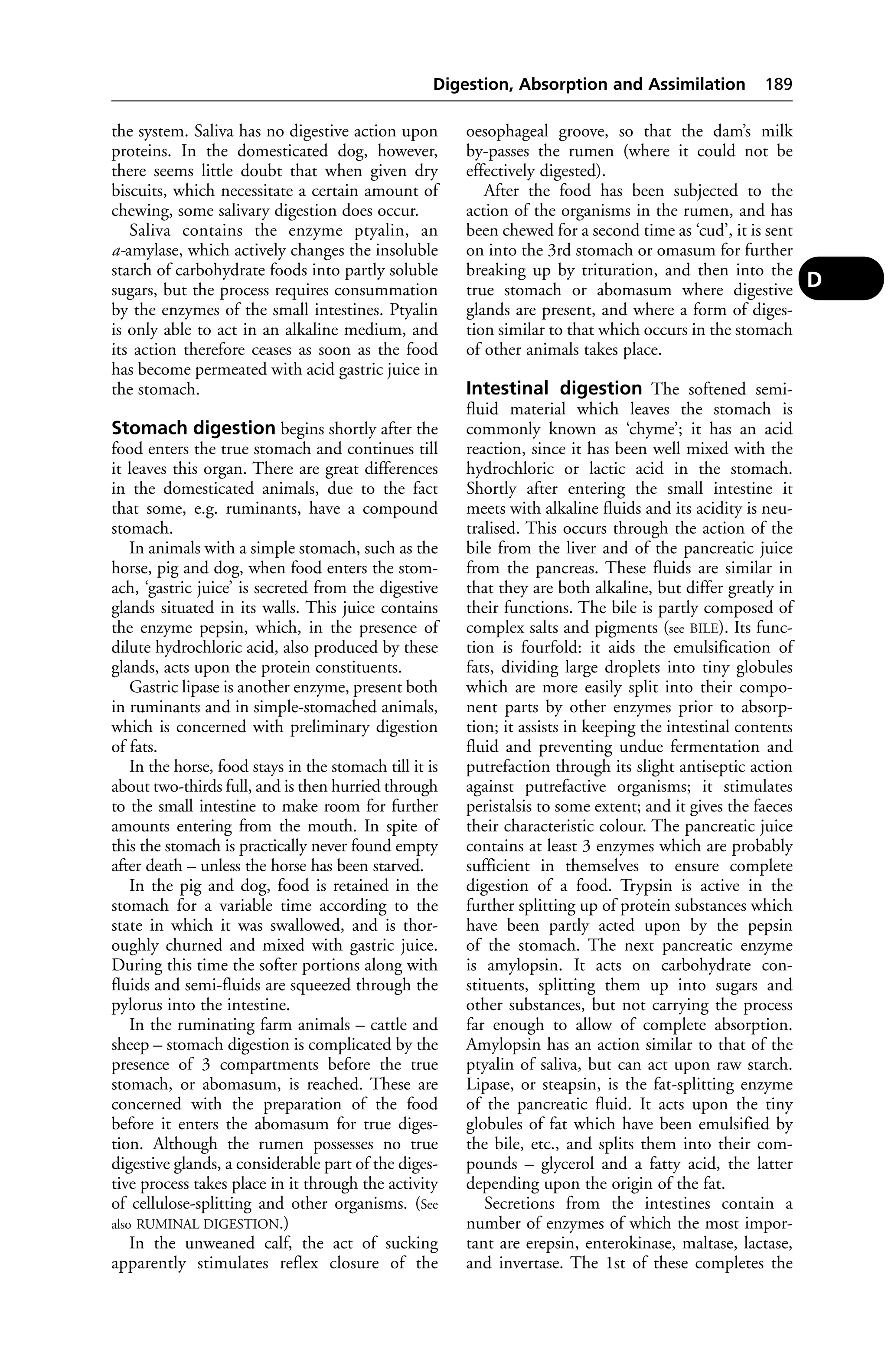 Digestion, Absorption and Assimilation 189 
the system. Saliva has no digestive action upon 
proteins. In the domesticated dog, however, 
there seems little doubt that when given dry 
biscuits, which necessitate a certain amount of 
chewing, some salivary digestion does occur. 
Saliva contains the enzyme ptyalin, an 
a-amylase, which actively changes the insoluble 
starch of carbohydrate foods into partly soluble 
sugars, but the process requires consummation 
by the enzymes of the small intestines. Ptyalin 
is only able to act in an alkaline medium, and 
its action therefore ceases as soon as the food 
has become permeated with acid gastric juice in 
the stomach. 
Stomach digestion begins shortly after the 
food enters the true stomach and continues till 
it leaves this organ. There are great differences 
in the domesticated animals, due to the fact 
that some, e.g. ruminants, have a compound 
stomach. 
In animals with a simple stomach, such as the 
horse, pig and dog, when food enters the stom-ach, 
‘gastric juice’ is secreted from the digestive 
glands situated in its walls. This juice contains 
the enzyme pepsin, which, in the presence of 
dilute hydrochloric acid, also produced by these 
glands, acts upon the protein constituents. 
Gastric lipase is another enzyme, present both 
in ruminants and in simple-stomached animals, 
which is concerned with preliminary digestion 
of fats. 
In the horse, food stays in the stomach till it is 
about two-thirds full, and is then hurried through 
to the small intestine to make room for further 
amounts entering from the mouth. In spite of 
this the stomach is practically never found empty 
after death – unless the horse has been starved. 
In the pig and dog, food is retained in the 
stomach for a variable time according to the 
state in which it was swallowed, and is thor-oughly 
churned and mixed with gastric juice. 
During this time the softer portions along with 
fluids and semi-fluids are squeezed through the 
pylorus into the intestine. 
In the ruminating farm animals – cattle and 
sheep – stomach digestion is complicated by the 
presence of 3 compartments before the true 
stomach, or abomasum, is reached. These are 
concerned with the preparation of the food 
before it enters the abomasum for true diges-tion. 
Although the rumen possesses no true 
digestive glands, a considerable part of the diges-tive 
process takes place in it through the activity 
of cellulose-splitting and other organisms. (See 
also RUMINAL DIGESTION.) 
In the unweaned calf, the act of sucking 
apparently stimulates reflex closure of the 
oesophageal groove, so that the dam’s milk 
by-passes the rumen (where it could not be 
effectively digested). 
After the food has been subjected to the 
action of the organisms in the rumen, and has 
been chewed for a second time as ‘cud’, it is sent 
on into the 3rd stomach or omasum for further 
breaking up by trituration, and then into the 
true stomach or abomasum where digestive 
glands are present, and where a form of diges-tion 
similar to that which occurs in the stomach 
of other animals takes place. 
Intestinal digestion The softened semi-fluid 
material which leaves the stomach is 
commonly known as ‘chyme’; it has an acid 
reaction, since it has been well mixed with the 
hydrochloric or lactic acid in the stomach. 
Shortly after entering the small intestine it 
meets with alkaline fluids and its acidity is neu-tralised. 
This occurs through the action of the 
bile from the liver and of the pancreatic juice 
from the pancreas. These fluids are similar in 
that they are both alkaline, but differ greatly in 
their functions. The bile is partly composed of 
complex salts and pigments (see BILE). Its func-tion 
is fourfold: it aids the emulsification of 
fats, dividing large droplets into tiny globules 
which are more easily split into their compo-nent 
parts by other enzymes prior to absorp-tion; 
it assists in keeping the intestinal contents 
fluid and preventing undue fermentation and 
putrefaction through its slight antiseptic action 
against putrefactive organisms; it stimulates 
peristalsis to some extent; and it gives the faeces 
their characteristic colour. The pancreatic juice 
contains at least 3 enzymes which are probably 
sufficient in themselves to ensure complete 
digestion of a food. Trypsin is active in the 
further splitting up of protein substances which 
have been partly acted upon by the pepsin 
of the stomach. The next pancreatic enzyme 
is amylopsin. It acts on carbohydrate con-stituents, 
splitting them up into sugars and 
other substances, but not carrying the process 
far enough to allow of complete absorption. 
Amylopsin has an action similar to that of the 
ptyalin of saliva, but can act upon raw starch. 
Lipase, or steapsin, is the fat-splitting enzyme 
of the pancreatic fluid. It acts upon the tiny 
globules of fat which have been emulsified by 
the bile, etc., and splits them into their com-pounds 
– glycerol and a fatty acid, the latter 
depending upon the origin of the fat. 
Secretions from the intestines contain a 
number of enzymes of which the most impor-tant 
are erepsin, enterokinase, maltase, lactase, 
and invertase. The 1st of these completes the 
D 
 