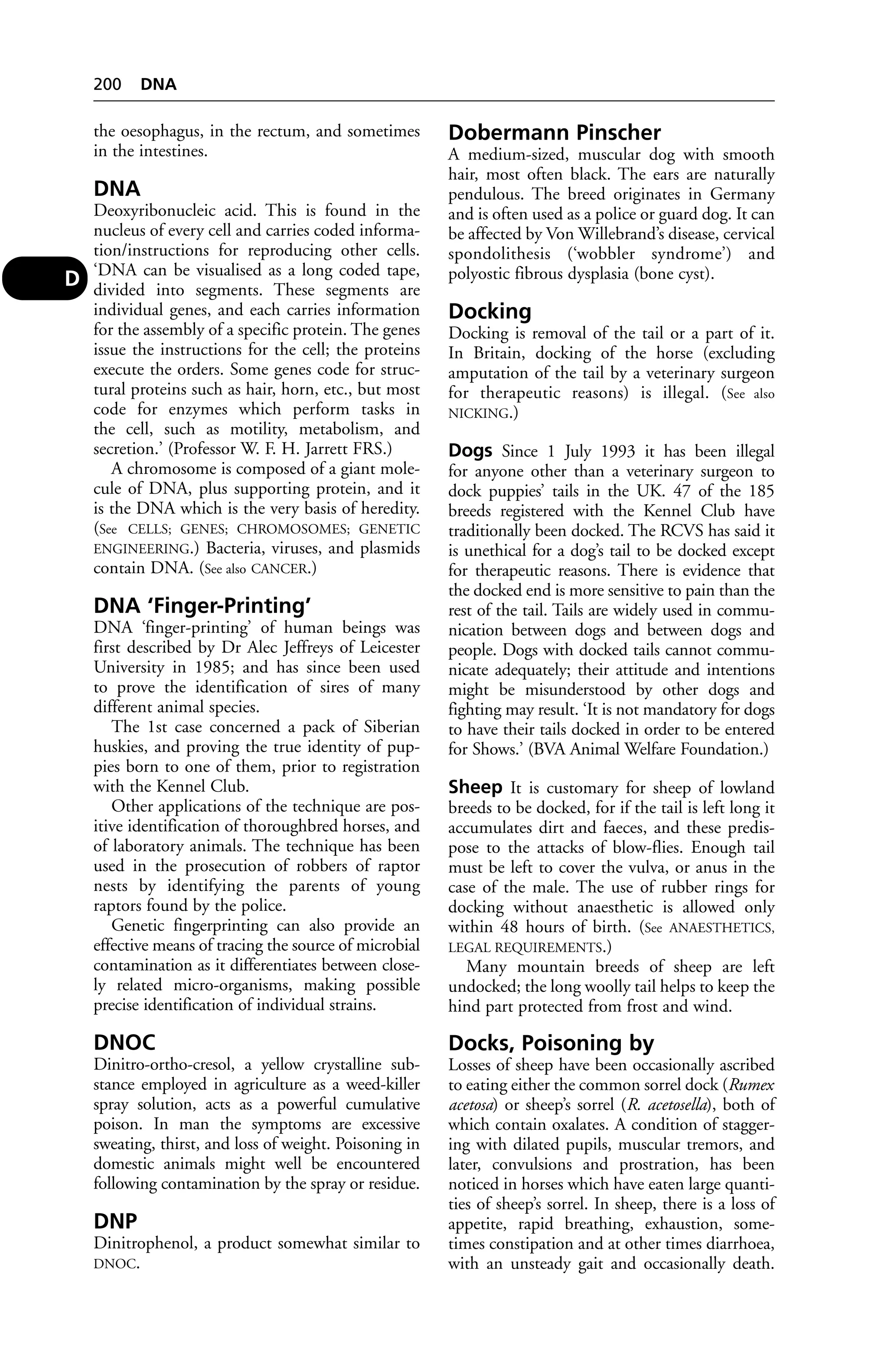 the oesophagus, in the rectum, and sometimes 
in the intestines. 
DNA 
Deoxyribonucleic acid. This is found in the 
nucleus of every cell and carries coded informa-tion/ 
instructions for reproducing other cells. 
‘DNA can be visualised as a long coded tape, 
divided into segments. These segments are 
individual genes, and each carries information 
for the assembly of a specific protein. The genes 
issue the instructions for the cell; the proteins 
execute the orders. Some genes code for struc-tural 
proteins such as hair, horn, etc., but most 
code for enzymes which perform tasks in 
the cell, such as motility, metabolism, and 
secretion.’ (Professor W. F. H. Jarrett FRS.) 
A chromosome is composed of a giant mole-cule 
of DNA, plus supporting protein, and it 
is the DNA which is the very basis of heredity. 
(See CELLS; GENES; CHROMOSOMES; GENETIC 
ENGINEERING.) Bacteria, viruses, and plasmids 
contain DNA. (See also CANCER.) 
DNA ‘Finger-Printing’ 
DNA ‘finger-printing’ of human beings was 
first described by Dr Alec Jeffreys of Leicester 
University in 1985; and has since been used 
to prove the identification of sires of many 
different animal species. 
The 1st case concerned a pack of Siberian 
huskies, and proving the true identity of pup-pies 
born to one of them, prior to registration 
with the Kennel Club. 
Other applications of the technique are pos-itive 
identification of thoroughbred horses, and 
of laboratory animals. The technique has been 
used in the prosecution of robbers of raptor 
nests by identifying the parents of young 
raptors found by the police. 
Genetic fingerprinting can also provide an 
effective means of tracing the source of microbial 
contamination as it differentiates between close-ly 
related micro-organisms, making possible 
precise identification of individual strains. 
DNOC 
Dinitro-ortho-cresol, a yellow crystalline sub-stance 
employed in agriculture as a weed-killer 
spray solution, acts as a powerful cumulative 
poison. In man the symptoms are excessive 
sweating, thirst, and loss of weight. Poisoning in 
domestic animals might well be encountered 
following contamination by the spray or residue. 
DNP 
Dinitrophenol, a product somewhat similar to 
DNOC. 
Dobermann Pinscher 
A medium-sized, muscular dog with smooth 
hair, most often black. The ears are naturally 
pendulous. The breed originates in Germany 
and is often used as a police or guard dog. It can 
be affected by Von Willebrand’s disease, cervical 
spondolithesis (‘wobbler syndrome’) and 
polyostic fibrous dysplasia (bone cyst). 
Docking 
Docking is removal of the tail or a part of it. 
In Britain, docking of the horse (excluding 
amputation of the tail by a veterinary surgeon 
for therapeutic reasons) is illegal. (See also 
NICKING.) 
Dogs Since 1 July 1993 it has been illegal 
for anyone other than a veterinary surgeon to 
dock puppies’ tails in the UK. 47 of the 185 
breeds registered with the Kennel Club have 
traditionally been docked. The RCVS has said it 
is unethical for a dog’s tail to be docked except 
for therapeutic reasons. There is evidence that 
the docked end is more sensitive to pain than the 
rest of the tail. Tails are widely used in commu-nication 
between dogs and between dogs and 
people. Dogs with docked tails cannot commu-nicate 
adequately; their attitude and intentions 
might be misunderstood by other dogs and 
fighting may result. ‘It is not mandatory for dogs 
to have their tails docked in order to be entered 
for Shows.’ (BVA Animal Welfare Foundation.) 
Sheep It is customary for sheep of lowland 
breeds to be docked, for if the tail is left long it 
accumulates dirt and faeces, and these predis-pose 
to the attacks of blow-flies. Enough tail 
must be left to cover the vulva, or anus in the 
case of the male. The use of rubber rings for 
docking without anaesthetic is allowed only 
within 48 hours of birth. (See ANAESTHETICS, 
LEGAL REQUIREMENTS.) 
Many mountain breeds of sheep are left 
undocked; the long woolly tail helps to keep the 
hind part protected from frost and wind. 
Docks, Poisoning by 
Losses of sheep have been occasionally ascribed 
to eating either the common sorrel dock (Rumex 
acetosa) or sheep’s sorrel (R. acetosella), both of 
which contain oxalates. A condition of stagger-ing 
with dilated pupils, muscular tremors, and 
later, convulsions and prostration, has been 
noticed in horses which have eaten large quanti-ties 
of sheep’s sorrel. In sheep, there is a loss of 
appetite, rapid breathing, exhaustion, some-times 
constipation and at other times diarrhoea, 
with an unsteady gait and occasionally death. 
200 DNA 
D 
 