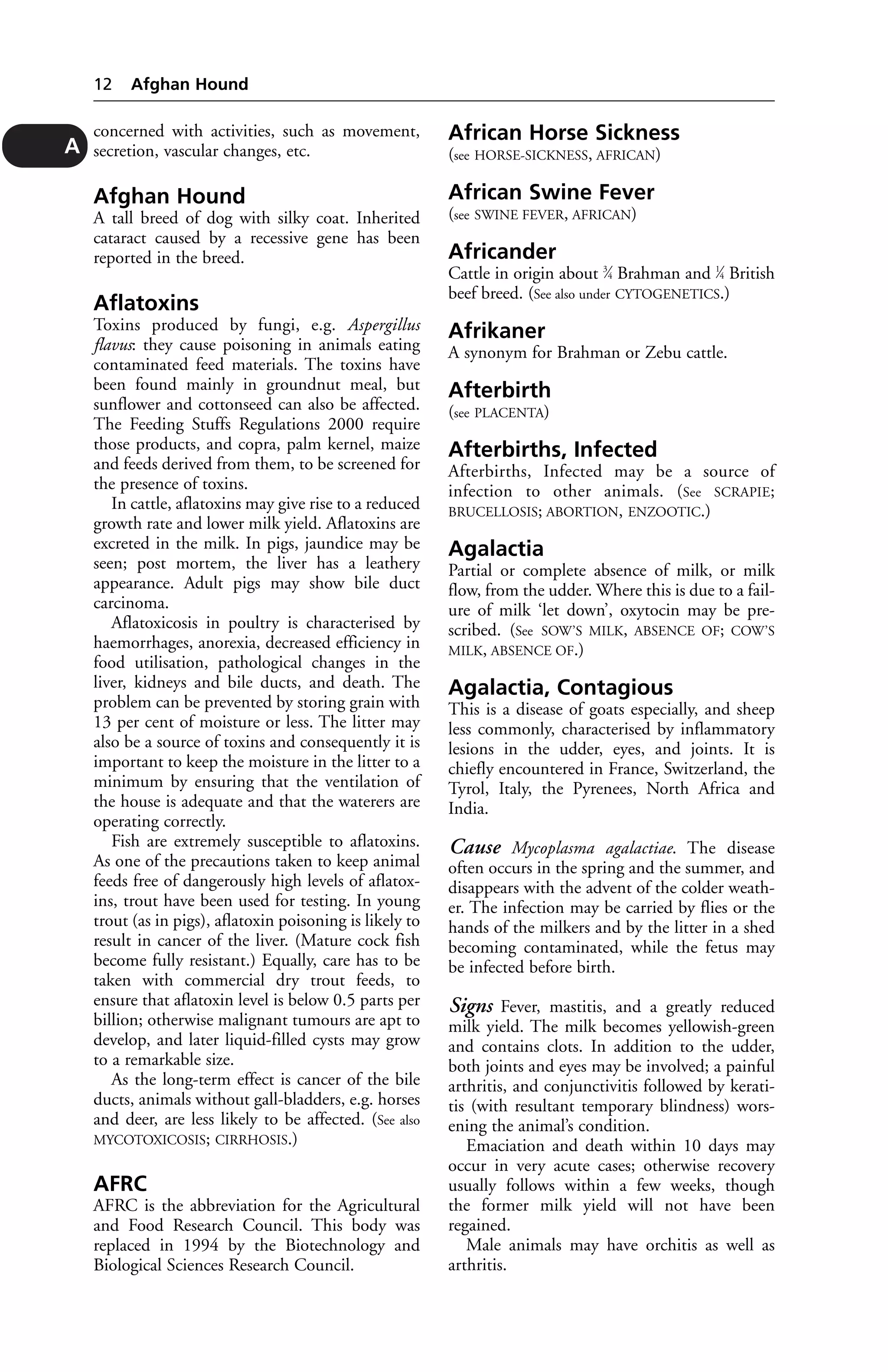 concerned with activities, such as movement, 
secretion, vascular changes, etc. 
Afghan Hound 
A tall breed of dog with silky coat. Inherited 
cataract caused by a recessive gene has been 
reported in the breed. 
Aflatoxins 
Toxins produced by fungi, e.g. Aspergillus 
flavus: they cause poisoning in animals eating 
contaminated feed materials. The toxins have 
been found mainly in groundnut meal, but 
sunflower and cottonseed can also be affected. 
The Feeding Stuffs Regulations 2000 require 
those products, and copra, palm kernel, maize 
and feeds derived from them, to be screened for 
the presence of toxins. 
In cattle, aflatoxins may give rise to a reduced 
growth rate and lower milk yield. Aflatoxins are 
excreted in the milk. In pigs, jaundice may be 
seen; post mortem, the liver has a leathery 
appearance. Adult pigs may show bile duct 
carcinoma. 
Aflatoxicosis in poultry is characterised by 
haemorrhages, anorexia, decreased efficiency in 
food utilisation, pathological changes in the 
liver, kidneys and bile ducts, and death. The 
problem can be prevented by storing grain with 
13 per cent of moisture or less. The litter may 
also be a source of toxins and consequently it is 
important to keep the moisture in the litter to a 
minimum by ensuring that the ventilation of 
the house is adequate and that the waterers are 
operating correctly. 
Fish are extremely susceptible to aflatoxins. 
As one of the precautions taken to keep animal 
feeds free of dangerously high levels of aflatox-ins, 
trout have been used for testing. In young 
trout (as in pigs), aflatoxin poisoning is likely to 
result in cancer of the liver. (Mature cock fish 
become fully resistant.) Equally, care has to be 
taken with commercial dry trout feeds, to 
ensure that aflatoxin level is below 0.5 parts per 
billion; otherwise malignant tumours are apt to 
develop, and later liquid-filled cysts may grow 
to a remarkable size. 
As the long-term effect is cancer of the bile 
ducts, animals without gall-bladders, e.g. horses 
and deer, are less likely to be affected. (See also 
MYCOTOXICOSIS; CIRRHOSIS.) 
AFRC 
AFRC is the abbreviation for the Agricultural 
and Food Research Council. This body was 
replaced in 1994 by the Biotechnology and 
Biological Sciences Research Council. 
African Horse Sickness 
(see HORSE-SICKNESS, AFRICAN) 
African Swine Fever 
(see SWINE FEVER, AFRICAN) 
Africander 
Cattle in origin about 3⁄4 Brahman and 1⁄4 British 
beef breed. (See also under CYTOGENETICS.) 
Afrikaner 
A synonym for Brahman or Zebu cattle. 
Afterbirth 
(see PLACENTA) 
Afterbirths, Infected 
Afterbirths, Infected may be a source of 
infection to other animals. (See SCRAPIE; 
BRUCELLOSIS; ABORTION, ENZOOTIC.) 
Agalactia 
Partial or complete absence of milk, or milk 
flow, from the udder. Where this is due to a fail-ure 
of milk ‘let down’, oxytocin may be pre-scribed. 
(See SOW’S MILK, ABSENCE OF; COW’S 
MILK, ABSENCE OF.) 
Agalactia, Contagious 
This is a disease of goats especially, and sheep 
less commonly, characterised by inflammatory 
lesions in the udder, eyes, and joints. It is 
chiefly encountered in France, Switzerland, the 
Tyrol, Italy, the Pyrenees, North Africa and 
India. 
Cause Mycoplasma agalactiae. The disease 
often occurs in the spring and the summer, and 
disappears with the advent of the colder weath-er. 
The infection may be carried by flies or the 
hands of the milkers and by the litter in a shed 
becoming contaminated, while the fetus may 
be infected before birth. 
Signs Fever, mastitis, and a greatly reduced 
milk yield. The milk becomes yellowish-green 
and contains clots. In addition to the udder, 
both joints and eyes may be involved; a painful 
arthritis, and conjunctivitis followed by kerati-tis 
(with resultant temporary blindness) wors-ening 
the animal’s condition. 
Emaciation and death within 10 days may 
occur in very acute cases; otherwise recovery 
usually follows within a few weeks, though 
the former milk yield will not have been 
regained. 
Male animals may have orchitis as well as 
arthritis. 
12 Afghan Hound 
A 
 