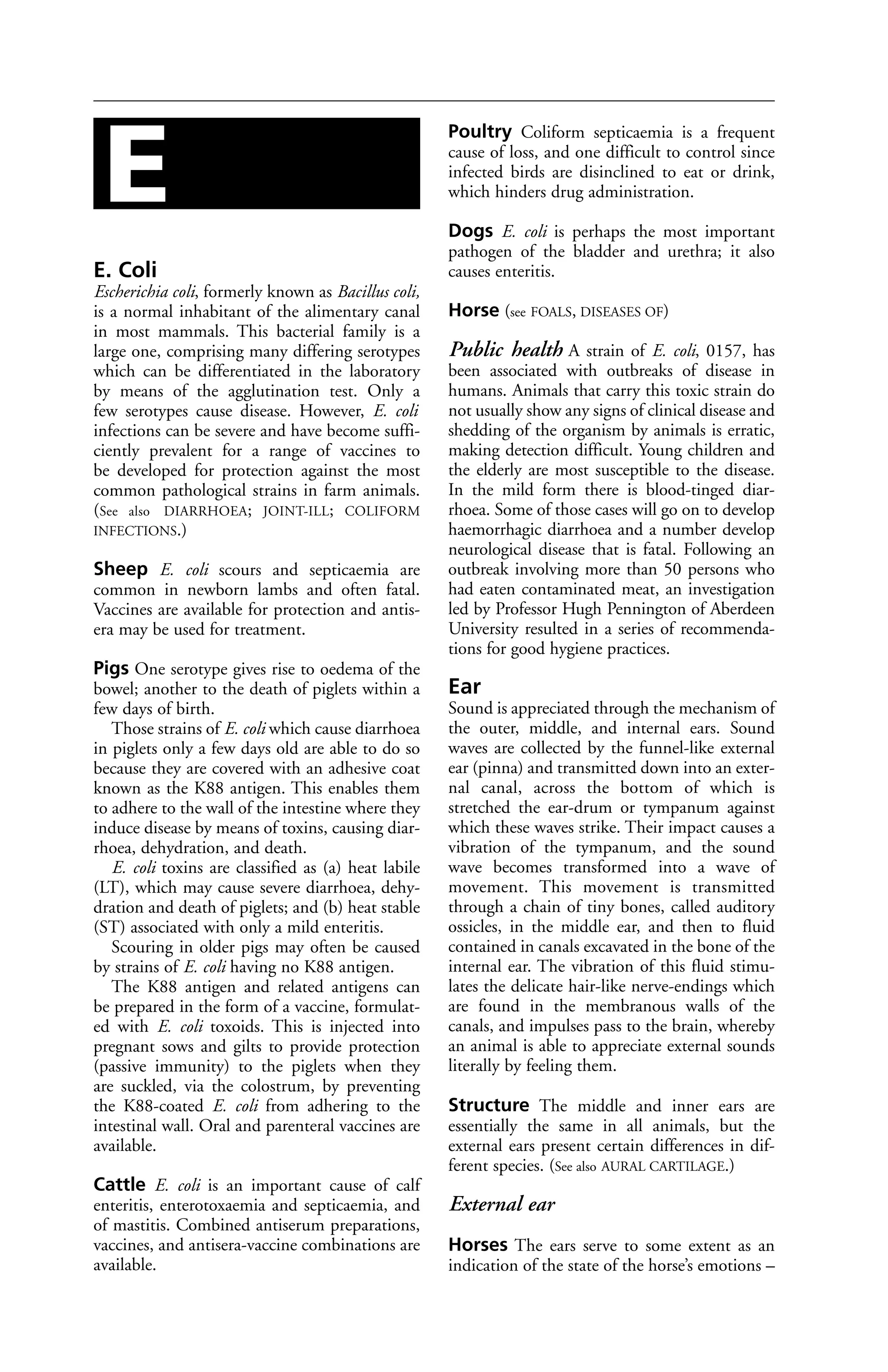 E. Coli 
Escherichia coli, formerly known as Bacillus coli, 
is a normal inhabitant of the alimentary canal 
in most mammals. This bacterial family is a 
large one, comprising many differing serotypes 
which can be differentiated in the laboratory 
by means of the agglutination test. Only a 
few serotypes cause disease. However, E. coli 
infections can be severe and have become suffi-ciently 
prevalent for a range of vaccines to 
be developed for protection against the most 
common pathological strains in farm animals. 
(See also DIARRHOEA; JOINT-ILL; COLIFORM 
INFECTIONS.) 
Sheep E. coli scours and septicaemia are 
common in newborn lambs and often fatal. 
Vaccines are available for protection and antis-era 
may be used for treatment. 
Pigs One serotype gives rise to oedema of the 
bowel; another to the death of piglets within a 
few days of birth. 
Those strains of E. coli which cause diarrhoea 
in piglets only a few days old are able to do so 
because they are covered with an adhesive coat 
known as the K88 antigen. This enables them 
to adhere to the wall of the intestine where they 
induce disease by means of toxins, causing diar-rhoea, 
dehydration, and death. 
E. coli toxins are classified as (a) heat labile 
(LT), which may cause severe diarrhoea, dehy-dration 
and death of piglets; and (b) heat stable 
(ST) associated with only a mild enteritis. 
Scouring in older pigs may often be caused 
by strains of E. coli having no K88 antigen. 
The K88 antigen and related antigens can 
be prepared in the form of a vaccine, formulat-ed 
with E. coli toxoids. This is injected into 
pregnant sows and gilts to provide protection 
(passive immunity) to the piglets when they 
are suckled, via the colostrum, by preventing 
the K88-coated E. coli from adhering to the 
intestinal wall. Oral and parenteral vaccines are 
available. 
Cattle E. coli is an important cause of calf 
enteritis, enterotoxaemia and septicaemia, and 
of mastitis. Combined antiserum preparations, 
vaccines, and antisera-vaccine combinations are 
available. 
Poultry Coliform septicaemia is a frequent 
cause of loss, and one difficult to control since 
infected birds are disinclined to eat or drink, 
which hinders drug administration. 
Dogs E. coli is perhaps the most important 
pathogen of the bladder and urethra; it also 
causes enteritis. 
Horse (see FOALS, DISEASES OF) 
Public health A strain of E. coli, 0157, has 
been associated with outbreaks of disease in 
humans. Animals that carry this toxic strain do 
not usually show any signs of clinical disease and 
shedding of the organism by animals is erratic, 
making detection difficult. Young children and 
the elderly are most susceptible to the disease. 
In the mild form there is blood-tinged diar-rhoea. 
Some of those cases will go on to develop 
haemorrhagic diarrhoea and a number develop 
neurological disease that is fatal. Following an 
outbreak involving more than 50 persons who 
had eaten contaminated meat, an investigation 
led by Professor Hugh Pennington of Aberdeen 
University resulted in a series of recommenda-tions 
for good hygiene practices. 
Ear 
Sound is appreciated through the mechanism of 
the outer, middle, and internal ears. Sound 
waves are collected by the funnel-like external 
ear (pinna) and transmitted down into an exter-nal 
canal, across the bottom of which is 
stretched the ear-drum or tympanum against 
which these waves strike. Their impact causes a 
vibration of the tympanum, and the sound 
wave becomes transformed into a wave of 
movement. This movement is transmitted 
through a chain of tiny bones, called auditory 
ossicles, in the middle ear, and then to fluid 
contained in canals excavated in the bone of the 
internal ear. The vibration of this fluid stimu-lates 
the delicate hair-like nerve-endings which 
are found in the membranous walls of the 
canals, and impulses pass to the brain, whereby 
an animal is able to appreciate external sounds 
literally by feeling them. 
Structure The middle and inner ears are 
essentially the same in all animals, but the 
external ears present certain differences in dif-ferent 
species. (See also AURAL CARTILAGE.) 
External ear 
Horses The ears serve to some extent as an 
indication of the state of the horse’s emotions – 
E 
 