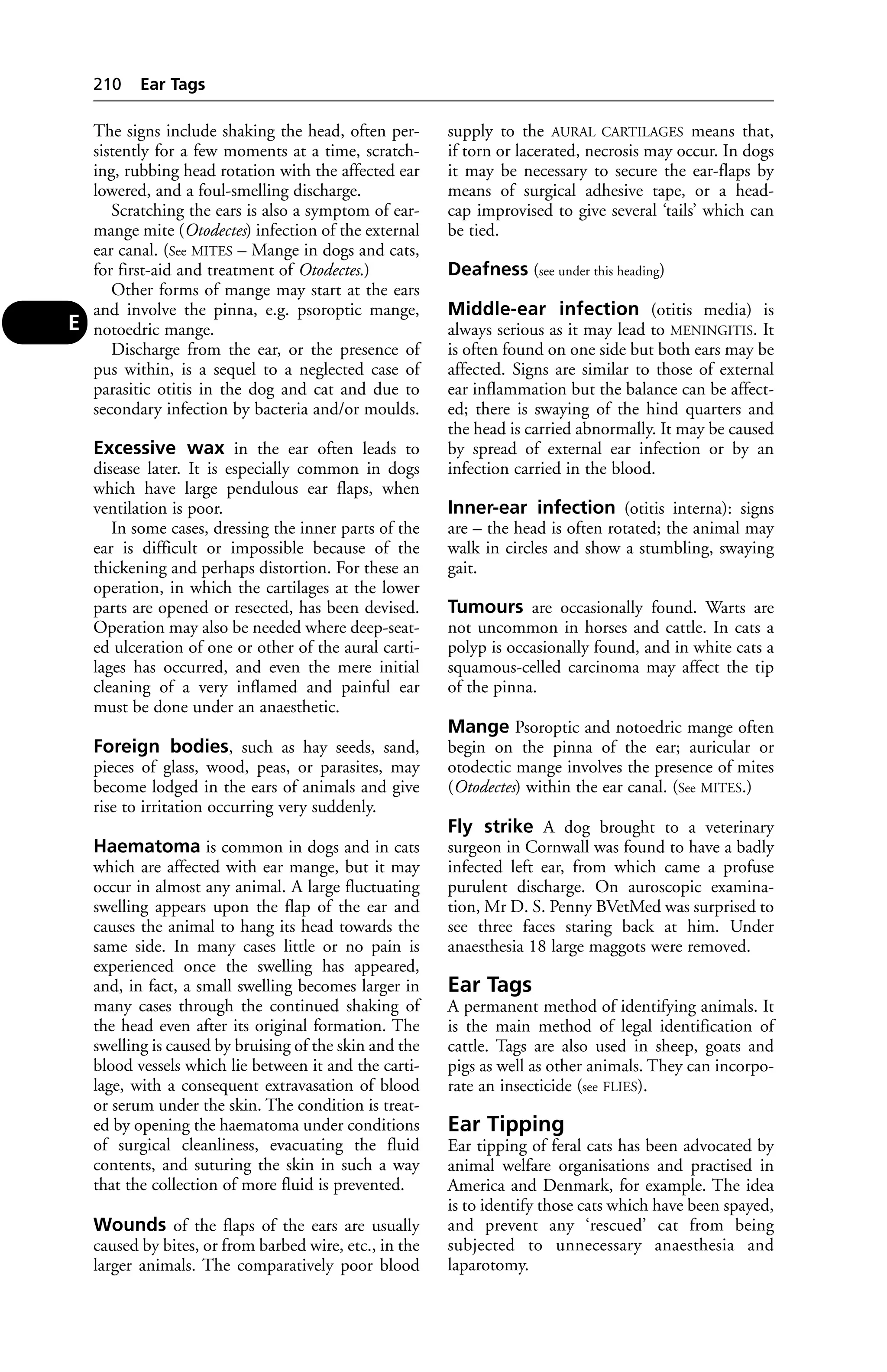The signs include shaking the head, often per-sistently 
for a few moments at a time, scratch-ing, 
rubbing head rotation with the affected ear 
lowered, and a foul-smelling discharge. 
Scratching the ears is also a symptom of ear-mange 
mite (Otodectes) infection of the external 
ear canal. (See MITES – Mange in dogs and cats, 
for first-aid and treatment of Otodectes.) 
Other forms of mange may start at the ears 
and involve the pinna, e.g. psoroptic mange, 
notoedric mange. 
Discharge from the ear, or the presence of 
pus within, is a sequel to a neglected case of 
parasitic otitis in the dog and cat and due to 
secondary infection by bacteria and/or moulds. 
Excessive wax in the ear often leads to 
disease later. It is especially common in dogs 
which have large pendulous ear flaps, when 
ventilation is poor. 
In some cases, dressing the inner parts of the 
ear is difficult or impossible because of the 
thickening and perhaps distortion. For these an 
operation, in which the cartilages at the lower 
parts are opened or resected, has been devised. 
Operation may also be needed where deep-seat-ed 
ulceration of one or other of the aural carti-lages 
has occurred, and even the mere initial 
cleaning of a very inflamed and painful ear 
must be done under an anaesthetic. 
Foreign bodies, such as hay seeds, sand, 
pieces of glass, wood, peas, or parasites, may 
become lodged in the ears of animals and give 
rise to irritation occurring very suddenly. 
Haematoma is common in dogs and in cats 
which are affected with ear mange, but it may 
occur in almost any animal. A large fluctuating 
swelling appears upon the flap of the ear and 
causes the animal to hang its head towards the 
same side. In many cases little or no pain is 
experienced once the swelling has appeared, 
and, in fact, a small swelling becomes larger in 
many cases through the continued shaking of 
the head even after its original formation. The 
swelling is caused by bruising of the skin and the 
blood vessels which lie between it and the carti-lage, 
with a consequent extravasation of blood 
or serum under the skin. The condition is treat-ed 
by opening the haematoma under conditions 
of surgical cleanliness, evacuating the fluid 
contents, and suturing the skin in such a way 
that the collection of more fluid is prevented. 
Wounds of the flaps of the ears are usually 
caused by bites, or from barbed wire, etc., in the 
larger animals. The comparatively poor blood 
supply to the AURAL CARTILAGES means that, 
if torn or lacerated, necrosis may occur. In dogs 
it may be necessary to secure the ear-flaps by 
means of surgical adhesive tape, or a head-cap 
improvised to give several ‘tails’ which can 
be tied. 
Deafness (see under this heading) 
Middle-ear infection (otitis media) is 
always serious as it may lead to MENINGITIS. It 
is often found on one side but both ears may be 
affected. Signs are similar to those of external 
ear inflammation but the balance can be affect-ed; 
there is swaying of the hind quarters and 
the head is carried abnormally. It may be caused 
by spread of external ear infection or by an 
infection carried in the blood. 
Inner-ear infection (otitis interna): signs 
are – the head is often rotated; the animal may 
walk in circles and show a stumbling, swaying 
gait. 
Tumours are occasionally found. Warts are 
not uncommon in horses and cattle. In cats a 
polyp is occasionally found, and in white cats a 
squamous-celled carcinoma may affect the tip 
of the pinna. 
Mange Psoroptic and notoedric mange often 
begin on the pinna of the ear; auricular or 
otodectic mange involves the presence of mites 
(Otodectes) within the ear canal. (See MITES.) 
Fly strike A dog brought to a veterinary 
surgeon in Cornwall was found to have a badly 
infected left ear, from which came a profuse 
purulent discharge. On auroscopic examina-tion, 
Mr D. S. Penny BVetMed was surprised to 
see three faces staring back at him. Under 
anaesthesia 18 large maggots were removed. 
Ear Tags 
A permanent method of identifying animals. It 
is the main method of legal identification of 
cattle. Tags are also used in sheep, goats and 
pigs as well as other animals. They can incorpo-rate 
an insecticide (see FLIES). 
Ear Tipping 
Ear tipping of feral cats has been advocated by 
animal welfare organisations and practised in 
America and Denmark, for example. The idea 
is to identify those cats which have been spayed, 
and prevent any ‘rescued’ cat from being 
subjected to unnecessary anaesthesia and 
laparotomy. 
210 Ear Tags 
E 
 