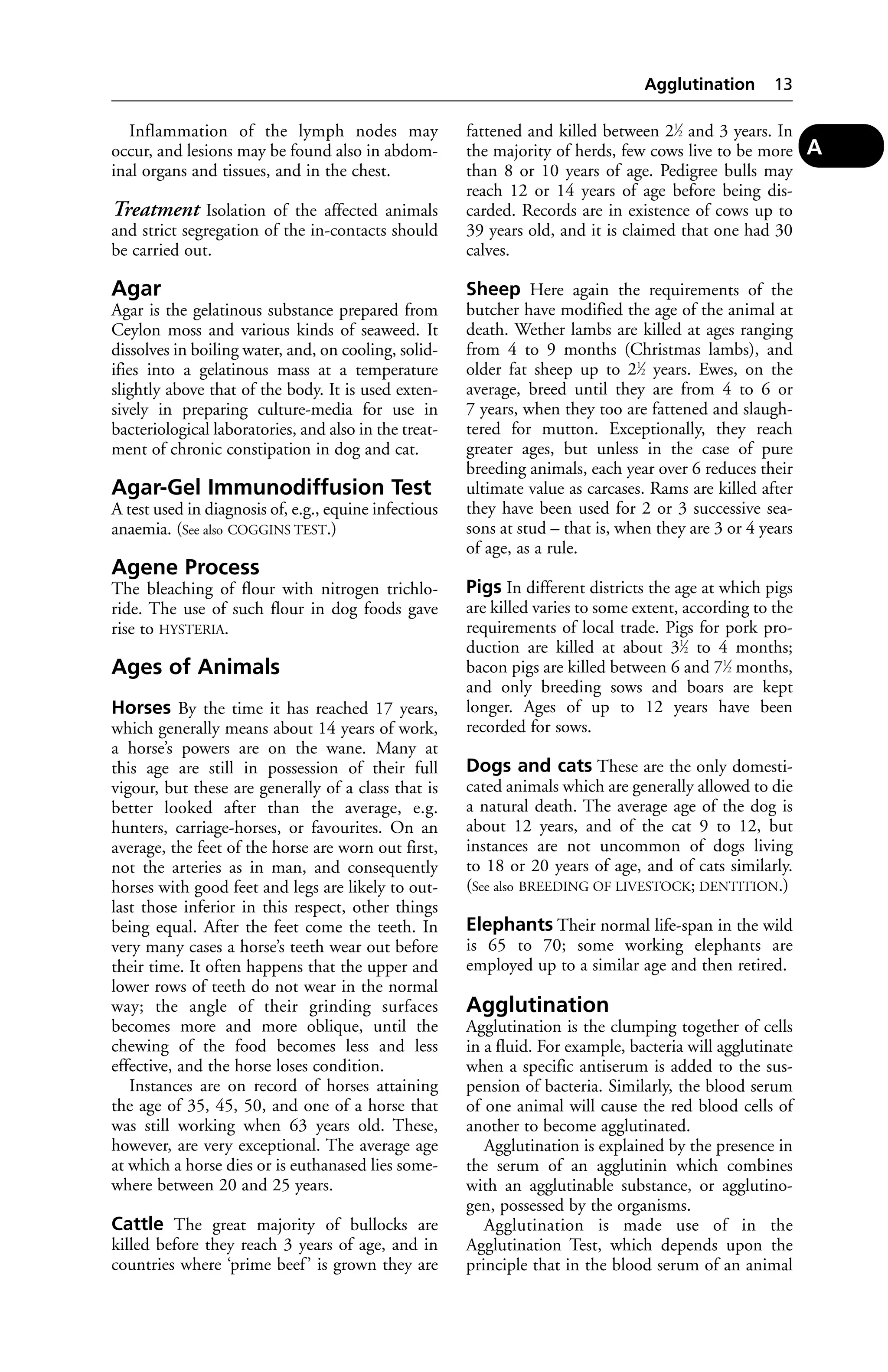 Inflammation of the lymph nodes may 
occur, and lesions may be found also in abdom-inal 
organs and tissues, and in the chest. 
Treatment Isolation of the affected animals 
and strict segregation of the in-contacts should 
be carried out. 
Agar 
Agar is the gelatinous substance prepared from 
Ceylon moss and various kinds of seaweed. It 
dissolves in boiling water, and, on cooling, solid-ifies 
into a gelatinous mass at a temperature 
slightly above that of the body. It is used exten-sively 
in preparing culture-media for use in 
bacteriological laboratories, and also in the treat-ment 
of chronic constipation in dog and cat. 
Agar-Gel Immunodiffusion Test 
A test used in diagnosis of, e.g., equine infectious 
anaemia. (See also COGGINS TEST.) 
Agene Process 
The bleaching of flour with nitrogen trichlo-ride. 
The use of such flour in dog foods gave 
rise to HYSTERIA. 
Ages of Animals 
Horses By the time it has reached 17 years, 
which generally means about 14 years of work, 
a horse’s powers are on the wane. Many at 
this age are still in possession of their full 
vigour, but these are generally of a class that is 
better looked after than the average, e.g. 
hunters, carriage-horses, or favourites. On an 
average, the feet of the horse are worn out first, 
not the arteries as in man, and consequently 
horses with good feet and legs are likely to out-last 
those inferior in this respect, other things 
being equal. After the feet come the teeth. In 
very many cases a horse’s teeth wear out before 
their time. It often happens that the upper and 
lower rows of teeth do not wear in the normal 
way; the angle of their grinding surfaces 
becomes more and more oblique, until the 
chewing of the food becomes less and less 
effective, and the horse loses condition. 
Instances are on record of horses attaining 
the age of 35, 45, 50, and one of a horse that 
was still working when 63 years old. These, 
however, are very exceptional. The average age 
at which a horse dies or is euthanased lies some-where 
between 20 and 25 years. 
Cattle The great majority of bullocks are 
killed before they reach 3 years of age, and in 
countries where ‘prime beef ’ is grown they are 
Agglutination 13 
fattened and killed between 21⁄2 and 3 years. In 
the majority of herds, few cows live to be more 
than 8 or 10 years of age. Pedigree bulls may 
reach 12 or 14 years of age before being dis-carded. 
Records are in existence of cows up to 
39 years old, and it is claimed that one had 30 
calves. 
Sheep Here again the requirements of the 
butcher have modified the age of the animal at 
death. Wether lambs are killed at ages ranging 
from 4 to 9 months (Christmas lambs), and 
older fat sheep up to 21⁄2 years. Ewes, on the 
average, breed until they are from 4 to 6 or 
7 years, when they too are fattened and slaugh-tered 
for mutton. Exceptionally, they reach 
greater ages, but unless in the case of pure 
breeding animals, each year over 6 reduces their 
ultimate value as carcases. Rams are killed after 
they have been used for 2 or 3 successive sea-sons 
at stud – that is, when they are 3 or 4 years 
of age, as a rule. 
Pigs In different districts the age at which pigs 
are killed varies to some extent, according to the 
requirements of local trade. Pigs for pork pro-duction 
are killed at about 31⁄2 to 4 months; 
bacon pigs are killed between 6 and 71⁄2 months, 
and only breeding sows and boars are kept 
longer. Ages of up to 12 years have been 
recorded for sows. 
Dogs and cats These are the only domesti-cated 
animals which are generally allowed to die 
a natural death. The average age of the dog is 
about 12 years, and of the cat 9 to 12, but 
instances are not uncommon of dogs living 
to 18 or 20 years of age, and of cats similarly. 
(See also BREEDING OF LIVESTOCK; DENTITION.) 
Elephants Their normal life-span in the wild 
is 65 to 70; some working elephants are 
employed up to a similar age and then retired. 
Agglutination 
Agglutination is the clumping together of cells 
in a fluid. For example, bacteria will agglutinate 
when a specific antiserum is added to the sus-pension 
of bacteria. Similarly, the blood serum 
of one animal will cause the red blood cells of 
another to become agglutinated. 
Agglutination is explained by the presence in 
the serum of an agglutinin which combines 
with an agglutinable substance, or agglutino-gen, 
possessed by the organisms. 
Agglutination is made use of in the 
Agglutination Test, which depends upon the 
principle that in the blood serum of an animal 
A 
 