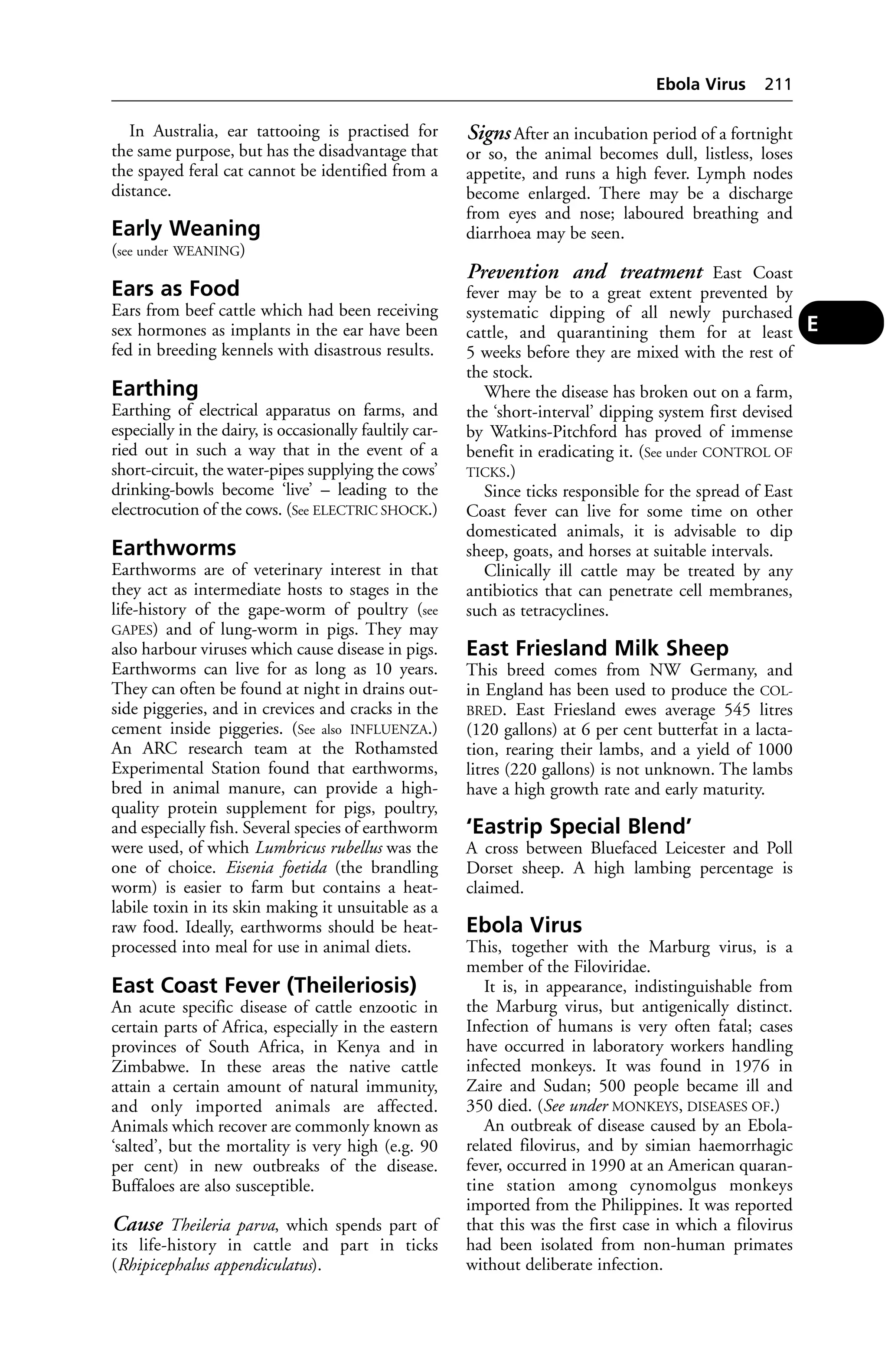 In Australia, ear tattooing is practised for 
the same purpose, but has the disadvantage that 
the spayed feral cat cannot be identified from a 
distance. 
Early Weaning 
(see under WEANING) 
Ears as Food 
Ears from beef cattle which had been receiving 
sex hormones as implants in the ear have been 
fed in breeding kennels with disastrous results. 
Earthing 
Earthing of electrical apparatus on farms, and 
especially in the dairy, is occasionally faultily car-ried 
out in such a way that in the event of a 
short-circuit, the water-pipes supplying the cows’ 
drinking-bowls become ‘live’ – leading to the 
electrocution of the cows. (See ELECTRIC SHOCK.) 
Earthworms 
Earthworms are of veterinary interest in that 
they act as intermediate hosts to stages in the 
life-history of the gape-worm of poultry (see 
GAPES) and of lung-worm in pigs. They may 
also harbour viruses which cause disease in pigs. 
Earthworms can live for as long as 10 years. 
They can often be found at night in drains out-side 
piggeries, and in crevices and cracks in the 
cement inside piggeries. (See also INFLUENZA.) 
An ARC research team at the Rothamsted 
Experimental Station found that earthworms, 
bred in animal manure, can provide a high-quality 
protein supplement for pigs, poultry, 
and especially fish. Several species of earthworm 
were used, of which Lumbricus rubellus was the 
one of choice. Eisenia foetida (the brandling 
worm) is easier to farm but contains a heat-labile 
toxin in its skin making it unsuitable as a 
raw food. Ideally, earthworms should be heat-processed 
into meal for use in animal diets. 
East Coast Fever (Theileriosis) 
An acute specific disease of cattle enzootic in 
certain parts of Africa, especially in the eastern 
provinces of South Africa, in Kenya and in 
Zimbabwe. In these areas the native cattle 
attain a certain amount of natural immunity, 
and only imported animals are affected. 
Animals which recover are commonly known as 
‘salted’, but the mortality is very high (e.g. 90 
per cent) in new outbreaks of the disease. 
Buffaloes are also susceptible. 
Cause Theileria parva, which spends part of 
its life-history in cattle and part in ticks 
(Rhipicephalus appendiculatus). 
Ebola Virus 211 
Signs After an incubation period of a fortnight 
or so, the animal becomes dull, listless, loses 
appetite, and runs a high fever. Lymph nodes 
become enlarged. There may be a discharge 
from eyes and nose; laboured breathing and 
diarrhoea may be seen. 
Prevention and treatment East Coast 
fever may be to a great extent prevented by 
systematic dipping of all newly purchased 
cattle, and quarantining them for at least 
5 weeks before they are mixed with the rest of 
the stock. 
Where the disease has broken out on a farm, 
the ‘short-interval’ dipping system first devised 
by Watkins-Pitchford has proved of immense 
benefit in eradicating it. (See under CONTROL OF 
TICKS.) 
Since ticks responsible for the spread of East 
Coast fever can live for some time on other 
domesticated animals, it is advisable to dip 
sheep, goats, and horses at suitable intervals. 
Clinically ill cattle may be treated by any 
antibiotics that can penetrate cell membranes, 
such as tetracyclines. 
East Friesland Milk Sheep 
This breed comes from NW Germany, and 
in England has been used to produce the COL-BRED. 
East Friesland ewes average 545 litres 
(120 gallons) at 6 per cent butterfat in a lacta-tion, 
rearing their lambs, and a yield of 1000 
litres (220 gallons) is not unknown. The lambs 
have a high growth rate and early maturity. 
‘Eastrip Special Blend’ 
A cross between Bluefaced Leicester and Poll 
Dorset sheep. A high lambing percentage is 
claimed. 
Ebola Virus 
This, together with the Marburg virus, is a 
member of the Filoviridae. 
It is, in appearance, indistinguishable from 
the Marburg virus, but antigenically distinct. 
Infection of humans is very often fatal; cases 
have occurred in laboratory workers handling 
infected monkeys. It was found in 1976 in 
Zaire and Sudan; 500 people became ill and 
350 died. (See under MONKEYS, DISEASES OF.) 
An outbreak of disease caused by an Ebola-related 
filovirus, and by simian haemorrhagic 
fever, occurred in 1990 at an American quaran-tine 
station among cynomolgus monkeys 
imported from the Philippines. It was reported 
that this was the first case in which a filovirus 
had been isolated from non-human primates 
without deliberate infection. 
E 
 