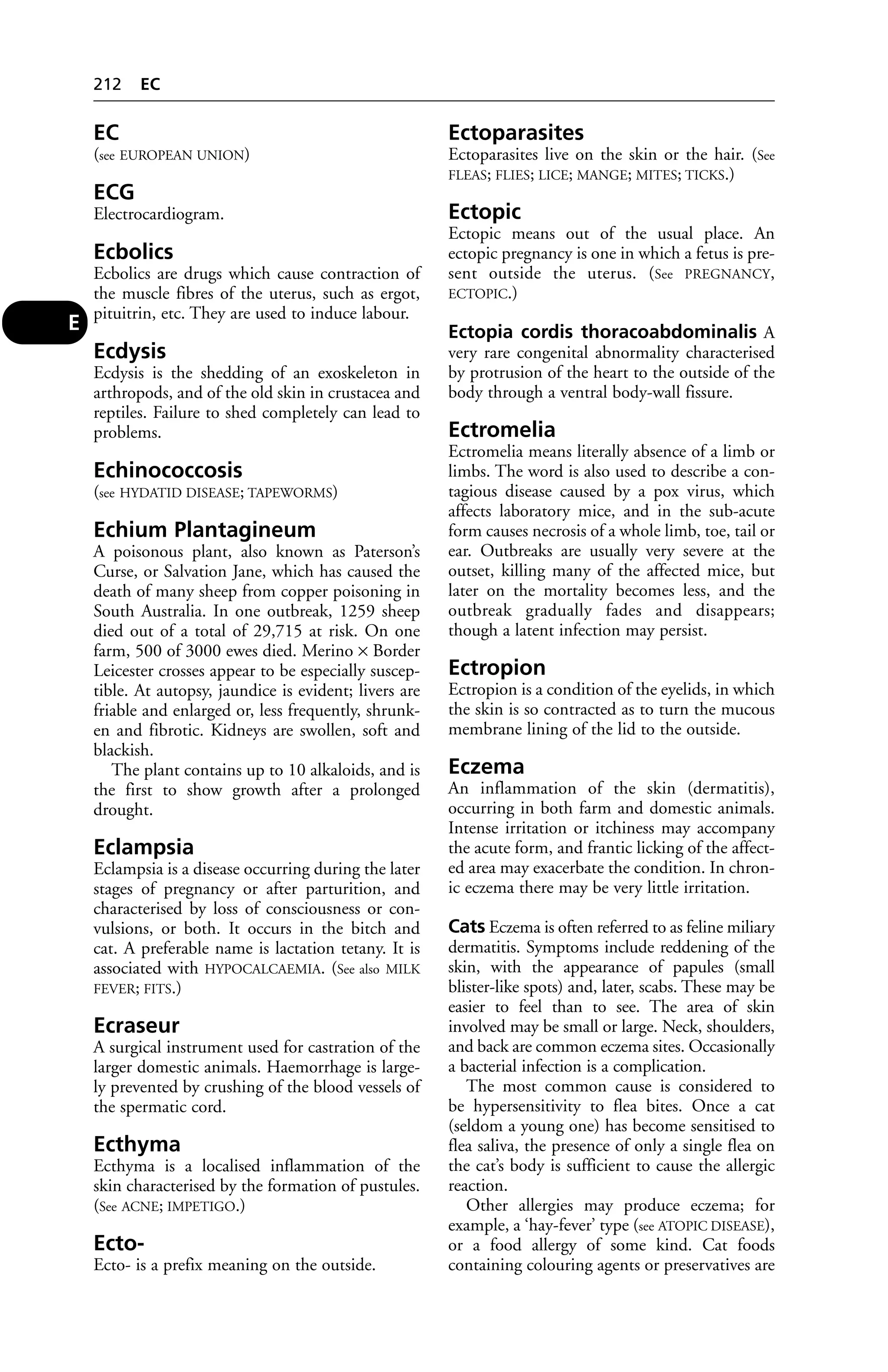 EC 
(see EUROPEAN UNION) 
ECG 
Electrocardiogram. 
Ecbolics 
Ecbolics are drugs which cause contraction of 
the muscle fibres of the uterus, such as ergot, 
pituitrin, etc. They are used to induce labour. 
Ecdysis 
Ecdysis is the shedding of an exoskeleton in 
arthropods, and of the old skin in crustacea and 
reptiles. Failure to shed completely can lead to 
problems. 
Echinococcosis 
(see HYDATID DISEASE; TAPEWORMS) 
Echium Plantagineum 
A poisonous plant, also known as Paterson’s 
Curse, or Salvation Jane, which has caused the 
death of many sheep from copper poisoning in 
South Australia. In one outbreak, 1259 sheep 
died out of a total of 29,715 at risk. On one 
farm, 500 of 3000 ewes died. Merino × Border 
Leicester crosses appear to be especially suscep-tible. 
At autopsy, jaundice is evident; livers are 
friable and enlarged or, less frequently, shrunk-en 
and fibrotic. Kidneys are swollen, soft and 
blackish. 
The plant contains up to 10 alkaloids, and is 
the first to show growth after a prolonged 
drought. 
Eclampsia 
Eclampsia is a disease occurring during the later 
stages of pregnancy or after parturition, and 
characterised by loss of consciousness or con-vulsions, 
or both. It occurs in the bitch and 
cat. A preferable name is lactation tetany. It is 
associated with HYPOCALCAEMIA. (See also MILK 
FEVER; FITS.) 
Ecraseur 
A surgical instrument used for castration of the 
larger domestic animals. Haemorrhage is large-ly 
prevented by crushing of the blood vessels of 
the spermatic cord. 
Ecthyma 
Ecthyma is a localised inflammation of the 
skin characterised by the formation of pustules. 
(See ACNE; IMPETIGO.) 
Ecto- 
Ecto- is a prefix meaning on the outside. 
Ectoparasites 
Ectoparasites live on the skin or the hair. (See 
FLEAS; FLIES; LICE; MANGE; MITES; TICKS.) 
Ectopic 
Ectopic means out of the usual place. An 
ectopic pregnancy is one in which a fetus is pre-sent 
outside the uterus. (See PREGNANCY, 
ECTOPIC.) 
Ectopia cordis thoracoabdominalis A 
very rare congenital abnormality characterised 
by protrusion of the heart to the outside of the 
body through a ventral body-wall fissure. 
Ectromelia 
Ectromelia means literally absence of a limb or 
limbs. The word is also used to describe a con-tagious 
disease caused by a pox virus, which 
affects laboratory mice, and in the sub-acute 
form causes necrosis of a whole limb, toe, tail or 
ear. Outbreaks are usually very severe at the 
outset, killing many of the affected mice, but 
later on the mortality becomes less, and the 
outbreak gradually fades and disappears; 
though a latent infection may persist. 
Ectropion 
Ectropion is a condition of the eyelids, in which 
the skin is so contracted as to turn the mucous 
membrane lining of the lid to the outside. 
Eczema 
An inflammation of the skin (dermatitis), 
occurring in both farm and domestic animals. 
Intense irritation or itchiness may accompany 
the acute form, and frantic licking of the affect-ed 
area may exacerbate the condition. In chron-ic 
eczema there may be very little irritation. 
Cats Eczema is often referred to as feline miliary 
dermatitis. Symptoms include reddening of the 
skin, with the appearance of papules (small 
blister-like spots) and, later, scabs. These may be 
easier to feel than to see. The area of skin 
involved may be small or large. Neck, shoulders, 
and back are common eczema sites. Occasionally 
a bacterial infection is a complication. 
The most common cause is considered to 
be hypersensitivity to flea bites. Once a cat 
(seldom a young one) has become sensitised to 
flea saliva, the presence of only a single flea on 
the cat’s body is sufficient to cause the allergic 
reaction. 
Other allergies may produce eczema; for 
example, a ‘hay-fever’ type (see ATOPIC DISEASE), 
or a food allergy of some kind. Cat foods 
containing colouring agents or preservatives are 
212 EC 
E 
 