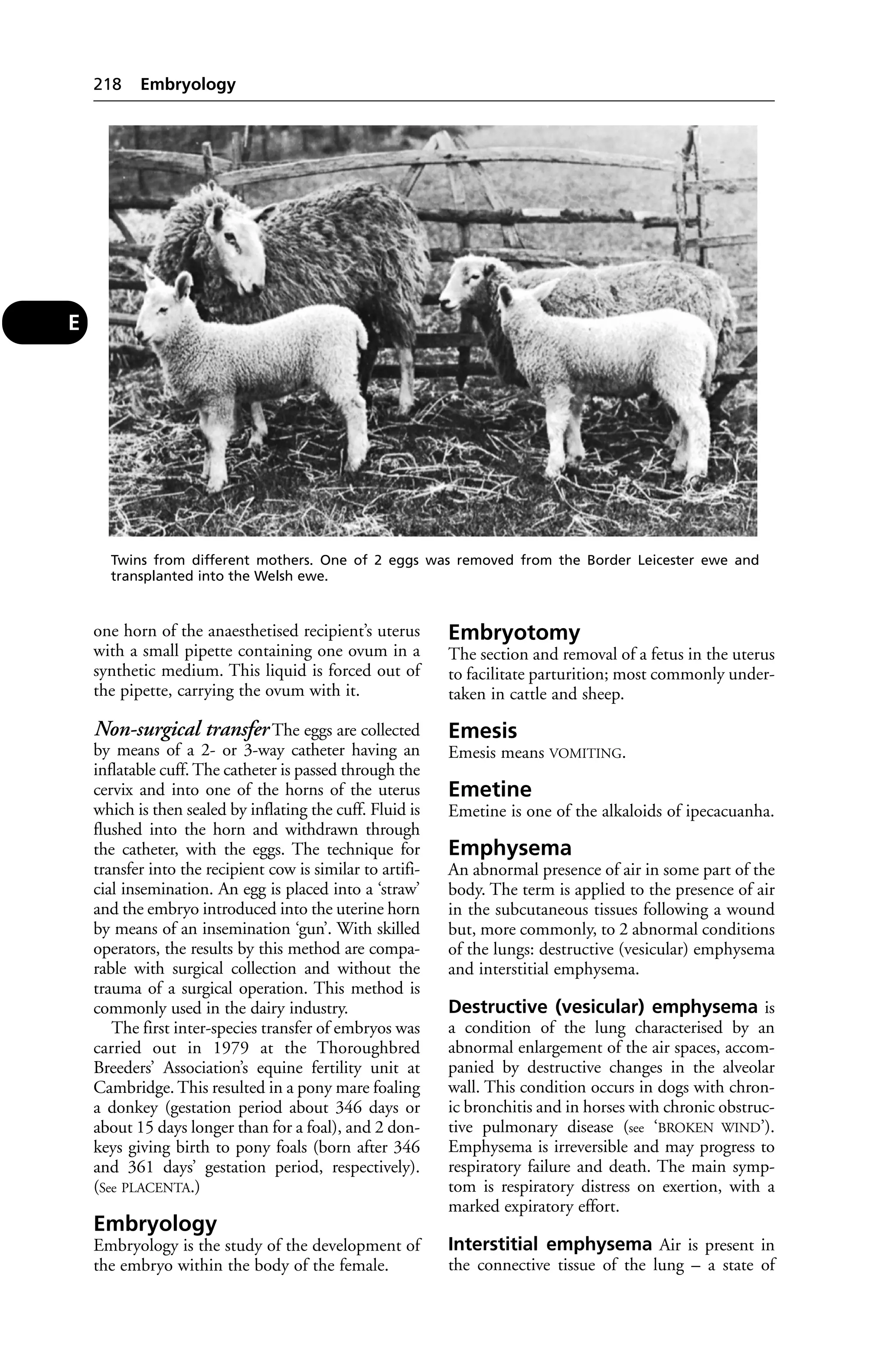 one horn of the anaesthetised recipient’s uterus 
with a small pipette containing one ovum in a 
synthetic medium. This liquid is forced out of 
the pipette, carrying the ovum with it. 
Non-surgical transfer The eggs are collected 
by means of a 2- or 3-way catheter having an 
inflatable cuff. The catheter is passed through the 
cervix and into one of the horns of the uterus 
which is then sealed by inflating the cuff. Fluid is 
flushed into the horn and withdrawn through 
the catheter, with the eggs. The technique for 
transfer into the recipient cow is similar to artifi-cial 
insemination. An egg is placed into a ‘straw’ 
and the embryo introduced into the uterine horn 
by means of an insemination ‘gun’. With skilled 
operators, the results by this method are compa-rable 
with surgical collection and without the 
trauma of a surgical operation. This method is 
commonly used in the dairy industry. 
The first inter-species transfer of embryos was 
carried out in 1979 at the Thoroughbred 
Breeders’ Association’s equine fertility unit at 
Cambridge. This resulted in a pony mare foaling 
a donkey (gestation period about 346 days or 
about 15 days longer than for a foal), and 2 don-keys 
giving birth to pony foals (born after 346 
and 361 days’ gestation period, respectively). 
(See PLACENTA.) 
Embryology 
Embryology is the study of the development of 
the embryo within the body of the female. 
Embryotomy 
The section and removal of a fetus in the uterus 
to facilitate parturition; most commonly under-taken 
in cattle and sheep. 
Emesis 
Emesis means VOMITING. 
Emetine 
Emetine is one of the alkaloids of ipecacuanha. 
Emphysema 
An abnormal presence of air in some part of the 
body. The term is applied to the presence of air 
in the subcutaneous tissues following a wound 
but, more commonly, to 2 abnormal conditions 
of the lungs: destructive (vesicular) emphysema 
and interstitial emphysema. 
Destructive (vesicular) emphysema is 
a condition of the lung characterised by an 
abnormal enlargement of the air spaces, accom-panied 
by destructive changes in the alveolar 
wall. This condition occurs in dogs with chron-ic 
bronchitis and in horses with chronic obstruc-tive 
pulmonary disease (see ‘BROKEN WIND’). 
Emphysema is irreversible and may progress to 
respiratory failure and death. The main symp-tom 
is respiratory distress on exertion, with a 
marked expiratory effort. 
Interstitial emphysema Air is present in 
the connective tissue of the lung – a state of 
218 Embryology 
E 
Twins from different mothers. One of 2 eggs was removed from the Border Leicester ewe and 
transplanted into the Welsh ewe. 
 