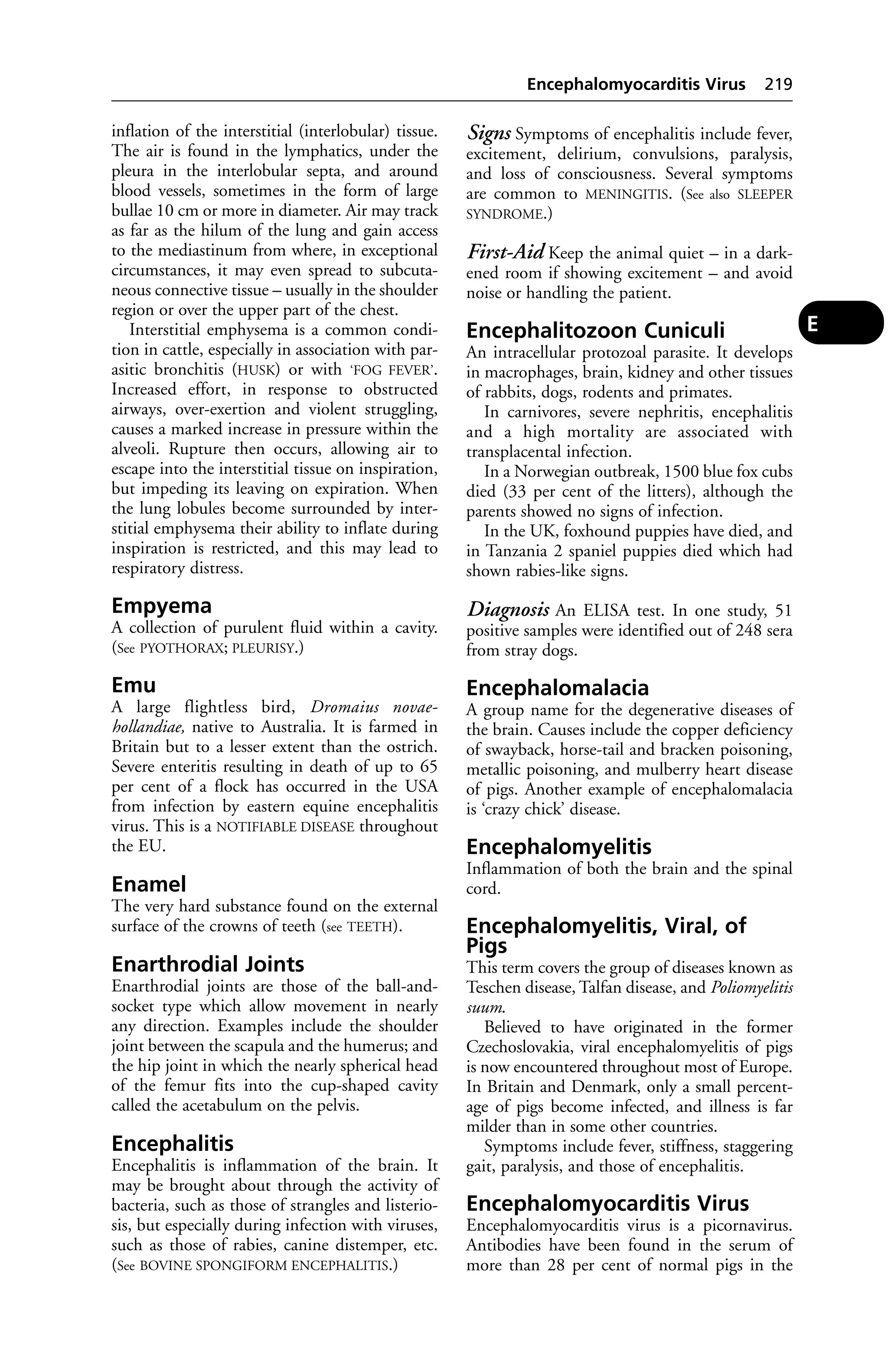 inflation of the interstitial (interlobular) tissue. 
The air is found in the lymphatics, under the 
pleura in the interlobular septa, and around 
blood vessels, sometimes in the form of large 
bullae 10 cm or more in diameter. Air may track 
as far as the hilum of the lung and gain access 
to the mediastinum from where, in exceptional 
circumstances, it may even spread to subcuta-neous 
connective tissue – usually in the shoulder 
region or over the upper part of the chest. 
Interstitial emphysema is a common condi-tion 
in cattle, especially in association with par-asitic 
bronchitis (HUSK) or with ‘FOG FEVER’. 
Increased effort, in response to obstructed 
airways, over-exertion and violent struggling, 
causes a marked increase in pressure within the 
alveoli. Rupture then occurs, allowing air to 
escape into the interstitial tissue on inspiration, 
but impeding its leaving on expiration. When 
the lung lobules become surrounded by inter-stitial 
emphysema their ability to inflate during 
inspiration is restricted, and this may lead to 
respiratory distress. 
Empyema 
A collection of purulent fluid within a cavity. 
(See PYOTHORAX; PLEURISY.) 
Emu 
A large flightless bird, Dromaius novae-hollandiae, 
native to Australia. It is farmed in 
Britain but to a lesser extent than the ostrich. 
Severe enteritis resulting in death of up to 65 
per cent of a flock has occurred in the USA 
from infection by eastern equine encephalitis 
virus. This is a NOTIFIABLE DISEASE throughout 
the EU. 
Enamel 
The very hard substance found on the external 
surface of the crowns of teeth (see TEETH). 
Enarthrodial Joints 
Enarthrodial joints are those of the ball-and-socket 
type which allow movement in nearly 
any direction. Examples include the shoulder 
joint between the scapula and the humerus; and 
the hip joint in which the nearly spherical head 
of the femur fits into the cup-shaped cavity 
called the acetabulum on the pelvis. 
Encephalitis 
Encephalitis is inflammation of the brain. It 
may be brought about through the activity of 
bacteria, such as those of strangles and listerio-sis, 
but especially during infection with viruses, 
such as those of rabies, canine distemper, etc. 
(See BOVINE SPONGIFORM ENCEPHALITIS.) 
Encephalomyocarditis Virus 219 
Signs Symptoms of encephalitis include fever, 
excitement, delirium, convulsions, paralysis, 
and loss of consciousness. Several symptoms 
are common to MENINGITIS. (See also SLEEPER 
SYNDROME.) 
First-Aid Keep the animal quiet – in a dark-ened 
room if showing excitement – and avoid 
noise or handling the patient. 
Encephalitozoon Cuniculi 
An intracellular protozoal parasite. It develops 
in macrophages, brain, kidney and other tissues 
of rabbits, dogs, rodents and primates. 
In carnivores, severe nephritis, encephalitis 
and a high mortality are associated with 
transplacental infection. 
In a Norwegian outbreak, 1500 blue fox cubs 
died (33 per cent of the litters), although the 
parents showed no signs of infection. 
In the UK, foxhound puppies have died, and 
in Tanzania 2 spaniel puppies died which had 
shown rabies-like signs. 
Diagnosis An ELISA test. In one study, 51 
positive samples were identified out of 248 sera 
from stray dogs. 
Encephalomalacia 
A group name for the degenerative diseases of 
the brain. Causes include the copper deficiency 
of swayback, horse-tail and bracken poisoning, 
metallic poisoning, and mulberry heart disease 
of pigs. Another example of encephalomalacia 
is ‘crazy chick’ disease. 
Encephalomyelitis 
Inflammation of both the brain and the spinal 
cord. 
Encephalomyelitis, Viral, of 
Pigs 
This term covers the group of diseases known as 
Teschen disease, Talfan disease, and Poliomyelitis 
suum. 
Believed to have originated in the former 
Czechoslovakia, viral encephalomyelitis of pigs 
is now encountered throughout most of Europe. 
In Britain and Denmark, only a small percent-age 
of pigs become infected, and illness is far 
milder than in some other countries. 
Symptoms include fever, stiffness, staggering 
gait, paralysis, and those of encephalitis. 
Encephalomyocarditis Virus 
Encephalomyocarditis virus is a picornavirus. 
Antibodies have been found in the serum of 
more than 28 per cent of normal pigs in the 
E 
 