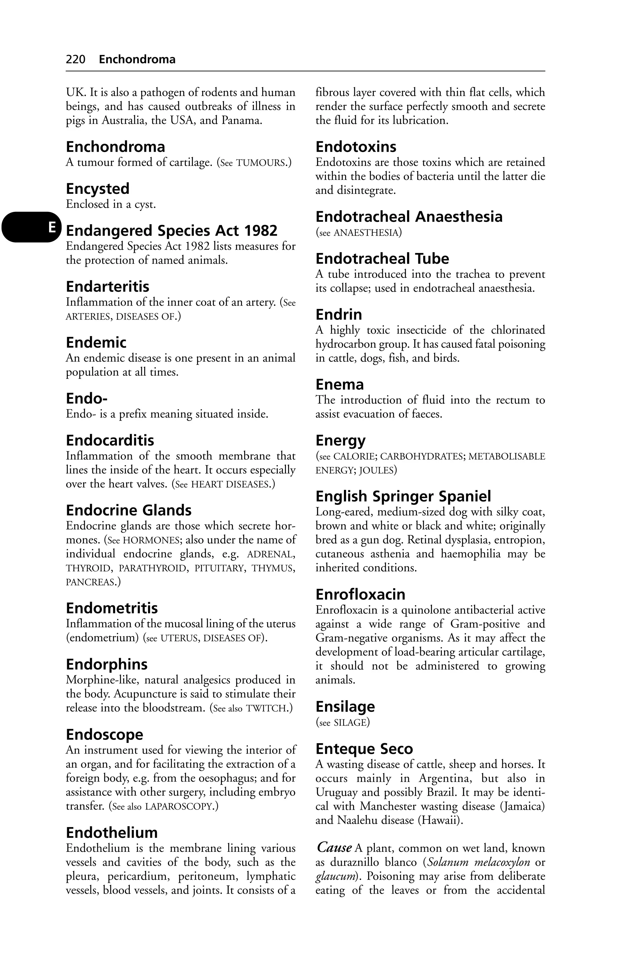 UK. It is also a pathogen of rodents and human 
beings, and has caused outbreaks of illness in 
pigs in Australia, the USA, and Panama. 
Enchondroma 
A tumour formed of cartilage. (See TUMOURS.) 
Encysted 
Enclosed in a cyst. 
Endangered Species Act 1982 
Endangered Species Act 1982 lists measures for 
the protection of named animals. 
Endarteritis 
Inflammation of the inner coat of an artery. (See 
ARTERIES, DISEASES OF.) 
Endemic 
An endemic disease is one present in an animal 
population at all times. 
Endo- 
Endo- is a prefix meaning situated inside. 
Endocarditis 
Inflammation of the smooth membrane that 
lines the inside of the heart. It occurs especially 
over the heart valves. (See HEART DISEASES.) 
Endocrine Glands 
Endocrine glands are those which secrete hor-mones. 
(See HORMONES; also under the name of 
individual endocrine glands, e.g. ADRENAL, 
THYROID, PARATHYROID, PITUITARY, THYMUS, 
PANCREAS.) 
Endometritis 
Inflammation of the mucosal lining of the uterus 
(endometrium) (see UTERUS, DISEASES OF). 
Endorphins 
Morphine-like, natural analgesics produced in 
the body. Acupuncture is said to stimulate their 
release into the bloodstream. (See also TWITCH.) 
Endoscope 
An instrument used for viewing the interior of 
an organ, and for facilitating the extraction of a 
foreign body, e.g. from the oesophagus; and for 
assistance with other surgery, including embryo 
transfer. (See also LAPAROSCOPY.) 
Endothelium 
Endothelium is the membrane lining various 
vessels and cavities of the body, such as the 
pleura, pericardium, peritoneum, lymphatic 
vessels, blood vessels, and joints. It consists of a 
fibrous layer covered with thin flat cells, which 
render the surface perfectly smooth and secrete 
the fluid for its lubrication. 
Endotoxins 
Endotoxins are those toxins which are retained 
within the bodies of bacteria until the latter die 
and disintegrate. 
Endotracheal Anaesthesia 
(see ANAESTHESIA) 
Endotracheal Tube 
A tube introduced into the trachea to prevent 
its collapse; used in endotracheal anaesthesia. 
Endrin 
A highly toxic insecticide of the chlorinated 
hydrocarbon group. It has caused fatal poisoning 
in cattle, dogs, fish, and birds. 
Enema 
The introduction of fluid into the rectum to 
assist evacuation of faeces. 
Energy 
(see CALORIE; CARBOHYDRATES; METABOLISABLE 
ENERGY; JOULES) 
English Springer Spaniel 
Long-eared, medium-sized dog with silky coat, 
brown and white or black and white; originally 
bred as a gun dog. Retinal dysplasia, entropion, 
cutaneous asthenia and haemophilia may be 
inherited conditions. 
Enrofloxacin 
Enrofloxacin is a quinolone antibacterial active 
against a wide range of Gram-positive and 
Gram-negative organisms. As it may affect the 
development of load-bearing articular cartilage, 
it should not be administered to growing 
animals. 
Ensilage 
(see SILAGE) 
Enteque Seco 
A wasting disease of cattle, sheep and horses. It 
occurs mainly in Argentina, but also in 
Uruguay and possibly Brazil. It may be identi-cal 
with Manchester wasting disease (Jamaica) 
and Naalehu disease (Hawaii). 
Cause A plant, common on wet land, known 
as duraznillo blanco (Solanum melacoxylon or 
glaucum). Poisoning may arise from deliberate 
eating of the leaves or from the accidental 
220 Enchondroma 
E 
 